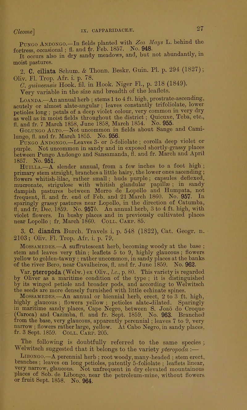 Pungo Andongo.—In fields planted with Zea Mays L. behind the fortress, occasional ; fl. and fr. Feb. 1857. No. 948. It occurs also in dry sandy meadows, and, but not abundantly, m moist pastures. 2. C. ciliata Sebum. & Thonn. Beskr. Guin. PI. p. 294 (182/); Oliv. FI. Trop. Afr. i. p. 78. C. guineensis Hook. fil. in Hook. Niger FI., p. 218 (1849). Yery variable in the size and breadth of the leaflets. Loan da.—An annual herb ; stems 1 to 4 ft. high, prostrate-ascending., acutely or almost alate-angular ; leaves constantly trifoliolate, lower petioles long ; petals of a deep violet colour, very common in very dry as well as in moist fields throughout the district ; Quicuxe, Teba, etc., fl. and fr. 7 March 1858, June 1858, March 1854. No. 955. Golungo Alto.—Not uncommon in fields about Sange and Cami- lungo, fl. and fr. March 1855. No. 956. Pungo Andongo.—Leaves 3- or 5-foliolate ; corolla deep violet or purple. Not uncommon in sandy and in exposed shortly-grassy places between Pungo Andongo and Sansamanda, fl. and fr. March and April 1857. No. 951. Huilla.—A slender annual, from a few inches to a foot high ; primary stem straight, branches a little hairy, the lower ones ascending; flowers whitish-lilac, rather small; buds purple; capsules deflexed, mucronate, strigulose with whitish glandular papillae ; in sandy dampish pastures between Morro de Lopollo and Humpata, not frequent, fl. and fr. end of Feb. and 21 March 1860. No. 957. In sparingly grassy pastures near Lopollo, in the direction of Catumba, fl. and fr. Dec. 1859. No. 9575. An annual herb, 3 to 4 ft. high, with violet flowers. In bushy places and in previously cultivated places near Lopollo ; fr. March 1860. Coll. Carp. 85. 3. C. diandra Burch. Travels i. p. 548 (1822), Cat. Geogr. n. 2103; Oliv. Fl. Trop. Afr. i. p. 79. Mossamedes.—A suffrutescent herb, becoming woody at the base ; stem and leaves very thin ; leaflets 5 to 9, highly glaucous; flowers yellow to golden-tawny ; rather uncommon, in sandy places at the banks of the river Bero, near Cavalheiros, fl. and fr. June 1859. No. 962. Yar. pteropoda (Welw.) ex Oliv., l.c., p. 80. This variety is regarded by Oliver as a maritime condition of the type ; it is distinguished by its winged petiole and broader pods, and according to Welwitsch the seeds are more densely furnished with little echinate spines. Mossamedes.—An annual or biennial herb, erect, 2 to 3 ft. high, highly glaucous ; flowers yellow ; petioles alate-dilated. Sparingly in maritime sandy places, Cape Negro, between S. Joao do Croque (Caroca) and Cazimba, fl. and fr. Sept. 1859. No. 963. Branched from the base, very glaucous, apparently perennial; leaves 7 to 9, very narrow ; flowers rather large, yellow. At Cabo Negro, in sandy places, fr. 3 Sept. 1859. Coll. Carp. 205. The following is doubtfully referred to the same species; Welwitsch suggested that it belongs to the variety jrteropoda :— Libongo.—A perennial herb ; root woody, many-headed ; stem erect,, branches ; leaves on long petioles, patently 5-foliolate ; leaflets linear, very narrow, glaucous. Not unfrequent in dry elevated mountainous places of Sob. de Libongo, near the petroleum-mine, without flowers or fruit Sept. 1858. No. 964.