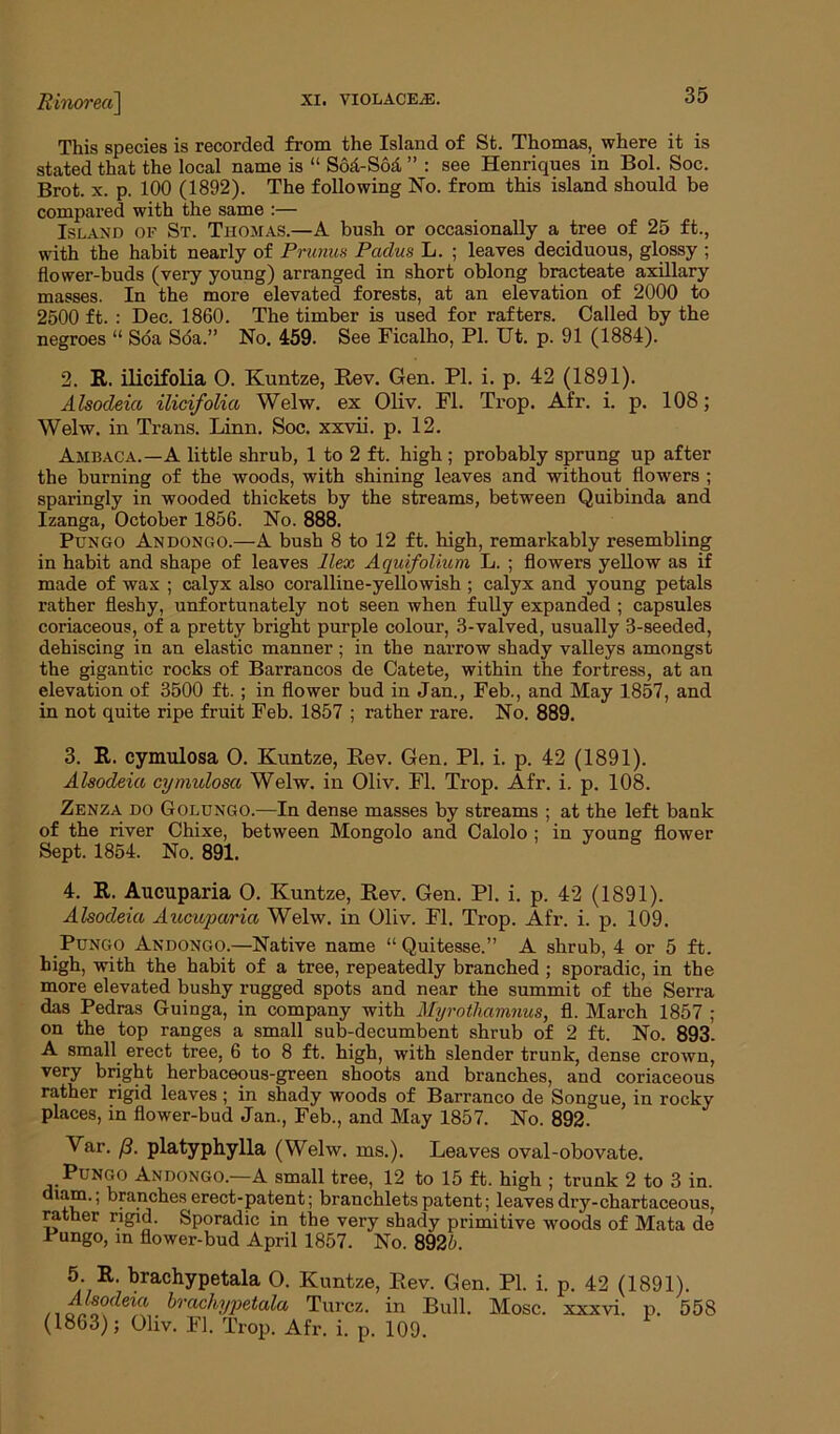 Rinorea\ This species is recorded from the Island of St. Thomas, where it is stated that the local name is “ Sod-Sod, ” : see Henriques in Bol. Soc. Brot. x. p. 100 (1892). The following No. from this island should be compared with the same :— Island of St. Thomas.—A bush or occasionally a tree of 25 ft., with the habit nearly of Primus Padua L. ; leaves deciduous, glossy ; flower-buds (very young) arranged in short oblong bracteate axillary masses. In the more elevated forests, at an elevation of 2000 to 2500 ft. : Dec. 1860. The timber is used for rafters. Called by the negroes “ Soa Sda.” No. 459. See Ficalho, PI. Ut. p. 91 (1884). 2. It. ilicifolia O. Kuntze, Rev. Gen. PI. i. p. 42 (1891). Alsodeia ilicifolia Welw. ex Oliv. FI. Trop. Afr. i. p. 108; Welw. in Trans. Linn. Soc. xxvii. p. 12. Ambaca.—A little shrub, 1 to 2 ft. high ; probably sprung up after the burning of the woods, with shining leaves and without flowers ; sparingly in wooded thickets by the streams, between Quibinda and Izanga, October 1856. No. 888. Pungo Andongo.—A bush 8 to 12 ft. high, remarkably resembling in habit and shape of leaves liex Aquifolium L. ; flowers yellow as if made of wax ; calyx also coralline-yellowish ; calyx and young petals rather fleshy, unfortunately not seen when fully expanded ; capsules coriaceous, of a pretty bright purple colour, 3-valved, usually 3-seeded, dehiscing in an elastic manner; in the narrow shady valleys amongst the gigantic rocks of Barrancos de Catete, within the fortress, at an elevation of 3500 ft. ; in flower bud in Jan., Feb., and May 1857, and in not quite ripe fruit Feb. 1857 ; rather rare. No. 889. 3. It. cymulosa O. Kuntze, Rev. Gen. PI. i. p. 42 (1891). Alsodeia cymulosa Welw. in Oliv. FI. Trop. Afr. i. p. 108. Zenza do Golungo.—In dense masses by streams ; at the left bank of the river Chixe, between Mongolo and Calolo ; in young flower Sept. 1854. No. 891. 4. It. Aucuparia O. Kuntze, Rev. Gen. PI. i. p. 42 (1891). Alsodeia Aucuparia Welw. in Oliv. FI. Trop. Afr. i. p. 109. Pungo Andongo.—Native name “Quitesse.” A shrub, 4 or 5 ft. high, with the habit of a tree, repeatedly branched ; sporadic, in the more elevated bushy rugged spots and near the summit of the Serra das Pedras Guinga, in company with Myrothamnus, fl. March 1857 ; on the top ranges a small sub-decumbent shrub of 2 ft. No. 893. A small erect tree, 6 to 8 ft. high, with slender trunk, dense crown, very bright herbaceous-green shoots and branches, and coriaceous rather rigid leaves; in shady woods of Barranco de Songue, in rocky places, in flower-bud Jan., Feb., and May 1857. No. 892. Var. f3. platyphylla (Welw. ms.). Leaves oval-obovate. Pungo Andongo.—A small tree, 12 to 15 ft. high ; trunk 2 to 3 in. diam., branches erect-patent; branchlets patent; leaves dry-chartaceous, rather rigid. Sporadic in the very shady primitive woods of Mata de Pungo, m flower-bud April 1857. No. 8926. 5 R. brachypetala O. Kuntze, Rev. Gen. PI. i. p. 42 (1891). , brachypetala Turcz. in Bull. Mosc. xxxvi. p. 558 (1863); Oliv. Fl. Trop. Afr. i. p. 109.