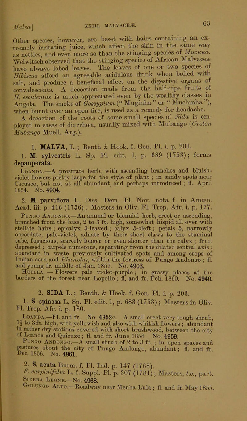 Malva\ Other species, however, are beset with hairs containing an ex- tremely irritating jnice, which affect the skin in the same way as nettles, and even more so than the stinging species of Mucuna. Welwitsch observed that the stinging species of African Malvaceae have always lobed leaves. The leaves of one or two species of Hibiscus afford an agreeable acidulous drink when boiled with salt, and produce a beneficial effect on the digestive organs of convalescents. A decoction made from the half-ripe fruits of H. esculentus is much appreciated even by the wealthy classes in Angola. The smoke of Gossypium (“ Muginha ” or “ Muckinha ”), when burnt over an open fire, is used as a remedy for headache. A decoction of the roots of some small species of Sidci is em- ployed in cases of diarrhoea, usually mixed with Mubango (Croton Mubango Muell. Arg.). 1. MALVA, L.; Benth & Hook. f. Gen. PI. i. p. 201. 1. M. sylvestris L. Sp. PL edit. 1, p. 689 (1753); forma depauperata. Loanda.—A prostrate herb, with ascending branches and bluish- violet flowers pretty large for the style of plant ; in sandy spots near Cacuaco, but not at all abundant, and perhaps introduced ; fl. April 1854. No. 4904. 2. M. parviflora L. Diss. Dem. PI. Nov. nota f. in Amoen. Acad. iii. p. 416 (1756); Masters in Oliv. Fl. Trop. Afr. i. p. 177. Pungo Andongo.—An annual or biennial herb, erect or ascending, branched from the base, 2 to 3 ft. high, somewhat hispid all over with stellate hairs ; epicalyx 3-leaved ; calyx 5-cleft; petals 5, narrowly obcordate, pale-violet, adnate by their short claws to the staminal tube, fugacious, scarcely longer or even shorter than the calyx ; fruit depressed ; carpels numerous, separating from the dilated central axis ; abundant in waste previously cultivated spots and among crops of Indian corn and Phaseolus, within the fortress of Pungo Andongo ; fl. and young fr. middle of Jan. 1857. No. 4903. Huilla. — Flowers pale violet-purple ; in grassy places at the borders of the forest near Lopollo; fl. and fr. Feb. 1860. No. 4940. 2. SIDA L.; Benth. & Hook. f. Gen. PI. i. p. 203. 1. S. spinosa L. Sp. PL edit. 1, p. 683 (1753); Masters in Oliv. Fl. Trop. Afr. i. p. 180. Loanda.—Fl. and fr. No. 4952. A small erect very tough shrub, }i to 3 ft. high, with yellowish and also with whitish flowers ; abundant in rather dry stations covered with short brushwood, between the city of Loanda and Quicuxe ; fl. and fr. June 1858. No. 4959. Pungo Andongo.—A small shrub of 2 to 3 ft. ; in open spaces and pastures about the city of Pungo Andongo, abundant; fl. and fr. Dec. 1856. No. 4961. 2. S. acuta Burm. f. FL Ind. p. 147 (1768). S. carpinifolia L. f. Suppl. Pl. p. 307 (1781); Masters, l.c., part. Sierra Leone.—No. 4968. Goi.ungo Alto.—Roadway near Menlia-Lula ; fl. and fr. May 1855.