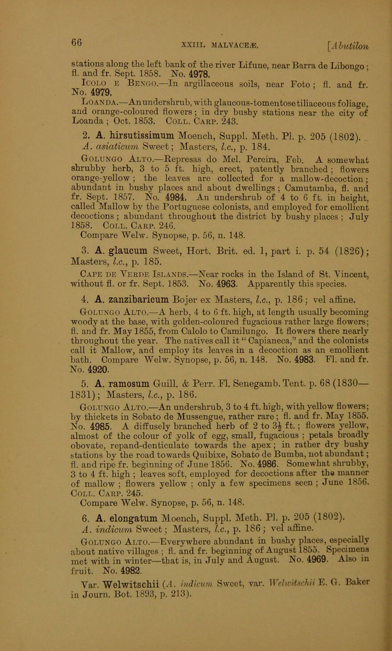 bb XXIII. MALVACEAE. [Abutilon stations along the left bank of the river Lifune, near Barra de Libongo • fl. and fr. Sept. 1858. No. 4978. Icolo e Bengo.—In argillaceous soils, near Foto ; fl. and fr. No. 4979. Loanda.—Anundershrub, with glaucous-tomentosetiliaceous foliage, and orange-coloured flowers; in dry bushy stations near the city of Loanda ; Oct. 1853. Coll. Carp. 243. 2. A. hirsutissimum Moenck, Suppl. Meth. PI. p. 205 (1802). A. asiaticwm Sweet; Masters, l.c., p. 184. Golungo Alto.—Represas do Mel. Pereira, Feb. A somewhat shrubby herb, 3 to 5 ft. high, erect, patently branched ; flowers orange-yellow; the leaves are collected for a mallow-decoction; abundant in bushy places and about dwellings ; Camutamba, fl. and fr. Sept. 1857. No. 4984. An undershrub of 4 to 6 ft. in height, called Mallow by the Portuguese colonists, and employed for emollient decoctions ; abundant throughout the district by bushy places ; July 1858. Coll. Carp. 246. Compare Welw. Synopse, p. 56, n. 148. 3. A. glaucum Sweet, Hort. Brit. ed. 1, part i. p. 54 (1826); Masters, l.c., p. 185. Cape de Yerde Islands.—Near rocks in the Island of St. Yincent, without fl. or fr. Sept. 1853. No. 4963. Apparently this species. 4. A. zanzibaricum Bojer ex Masters, l.c., p. 186; vel affine. Golungo Alto.—A herb, 4 to 6 ft. high, at length usually becoming woody at the base, with golden-coloured fugacious rather large flowers; fl. and fr. May 1855, from Calolo to Camilungo. It flowers there nearly throughout the year. The natives call it “ Capianeca,” and the colonists call it Mallow, and employ its leaves in a decoction as an emollient bath. Compare Welw. Synopse, p. 56, n. 148. No. 4983. Fl. and fr. No. 4920. 5. A. ramosum Guill. & Perr. Fl. Senegamb. Tent. p. 68 (1830— 1831); Masters, l.c., p. 186. Golungo Alto.—An undershrub, 3 to 4 ft. high, with yellow flowers; by thickets in Sobato de Mussengue, rather rare; fl. and fr. May 1855. No. 4985. A diffusely branched herb of 2 to 3£ ft.; flowers yellow, almost of the colour of yolk of egg, small, fugacious ; petals broadly obovate, repand-denticulate towards the apex; in rather dry bushy stations by the road towards Quibixe, Sobato de Bumba, not abundant; fl. and ripe fr. beginning of June 1856. No. 4986. Somewhat shrubby, 3 to 4 ft. high ; leaves soft, employed for decoctions after the manner of mallow ; flowTers yellow ; only a few specimens seen ; June 1856. Coll. Carp. 245. Compare Welw. Synopse, p. 56, n. 148. 6. A. elongatum Moench, Suppl. Meth. PI. p. 205 (1802). A. indicv/m Sweet; Masters, l.c., p. 186; vel affine. Golungo Alto.—Everywhere abundant in bushy places, especially about native villages ; fl. and fr. beginning of August 1855. Specimens met with in winter—that is, in July and August. No. 4969. Also in fruit. No. 4982. Yar. Welwitscliii (A. indicum Sweet, var. Welwitschii E. G. Baker in Journ. Bot. 1893, p. 213).