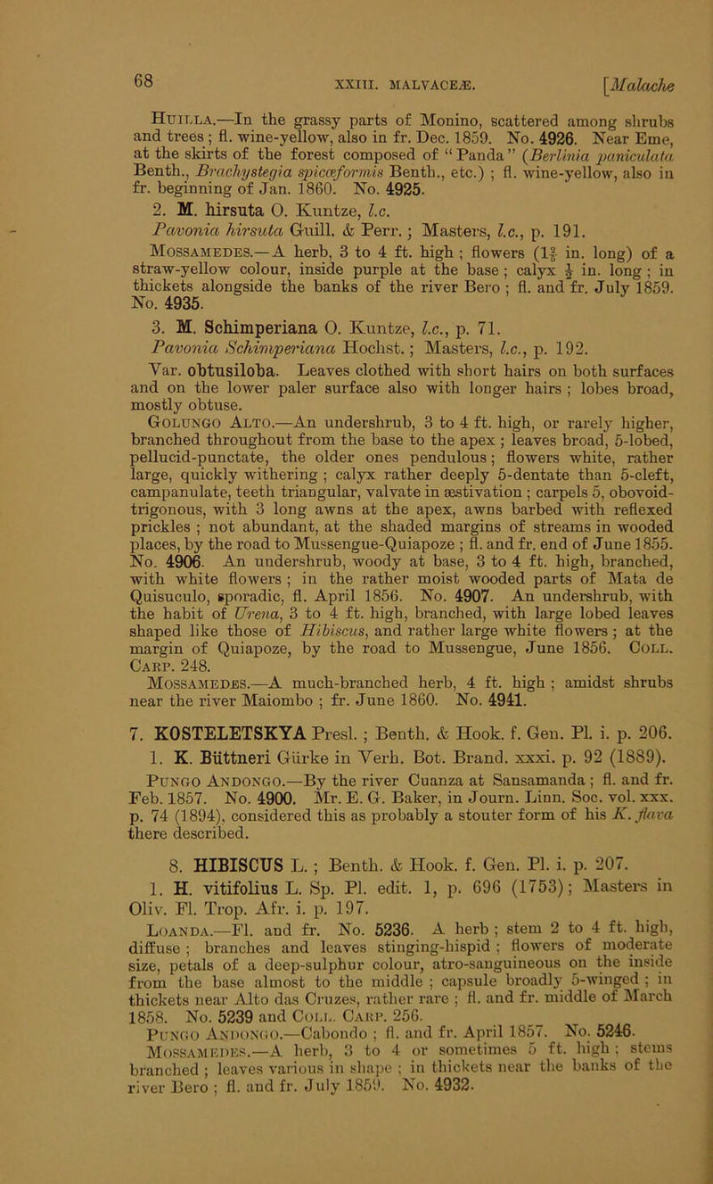 Huilla.—In the grassy parts of Monino, scattered among shrubs and trees ; fl. -wine-yellow, also in fr. Dec. 1859. No. 4926. Near Eme, at the skirts of the forest composed of “ Panda ” (Berlinia paniculata Benth., Brachystegia spicceformis Benth., etc.) ; fl. wine-yellow, also in fr. beginning of Jan. 1860. No. 4925. 2. M. hirsuta O. Kuntze, l.c. Pavonia hirsuta Guill. & Perr.; Masters, l.c., p. 191. Mossamedes.— A herb, 3 to 4 ft. high ; flowers (If in. long) of a straw-yellow colour, inside purple at the base ; calyx £ in. long ; iu thickets alongside the banks of the river Bero ; fl. and fr. July 1859. No. 4935. 3. M. Schimperiana O. Kuntze, l.c., p. 71. Pavonia Schimperiana Hochst.; Masters, l.c., p. 192. Var. obtusiloba. Leaves clothed with short hairs on both surfaces and on the lower paler surface also with longer hairs ; lobes broad, mostly obtuse. Golungo Alto.—An undershrub, 3 to 4 ft. high, or rarely higher, branched throughout from the base to the apex ; leaves broad, 5-lobed, pellucid-punctate, the older ones pendulous; flowers white, rather large, quickly withering ; calyx rather deeply 5-dentate than 5-cleft, campanulate, teeth triangular, valvate in aestivation ; carpels 5, obovoid- trigonous, with 3 long awns at the apex, awns barbed with reflexed prickles ; not abundant, at the shaded margins of streams in wooded places, by the road to Mussengue-Quiapoze ; fl. and fr. end of June 1855. No. 4906. An undershrub, woody at base, 3 to 4 ft. high, branched, with white flowers ; in the rather moist wooded parts of Mata de Quisuculo, sporadic, fl. April 1856. No. 4907. An undershrub, with the habit of Urena, 3 to 4 ft. high, branched, with large lobed leaves shaped like those of Hibiscus, and rather large white flowers ; at the margin of Quiapoze, by the road to Mussengue, June 1856. Coll. Carp. 248. Mossamedes.—A much-branched herb, 4 ft. high ; amidst shrubs near the river Maiombo ; fr. June 1860. No. 4941. 7. KOSTELETSKYA Presl. ; Benth. & Hook. f. Gen. PI. i. p. 206. 1. K. Biittneri Giirke in Verb. Bot. Brand, xxxi. p. 92 (1889). Pungo Andongo.—By the river Cuanza at Sansamanda ; fl. and fr. Feb. 1857. No. 4900. Mr. E. G. Baker, in Journ. Linn. Soc. vol. xxx. p. 74 (1894), considered this as probably a stouter form of his K.flava there described. 8. HIBISCUS L. ; Benth. & Hook. f. Gen. PI. i. p. 207. 1. H. vitifolius L. Sp. PI. edit. 1, p. 696 (1753); Masters in Oliv. Fl. Trop. Afr. i. p. 197. Loan da.—-Fl. and fr. No. 5236. A herb ; stem 2 to 4 ft. high, diffuse ; branches and leaves stinging-hispid ; flowers of moderate size, petals of a deep-sulphur colour, atro-sauguineous on the inside from the base almost to the middle ; capsule broadly n-winged ; in thickets near Alto das Cruzes, rather rare ; fl. and fr. middle of March 1858. No. 5239 and Coll. Carp. 256. Pungo Andongo.—Cabondo ; fl. and fr. April 1857. No. 5246. Mossamedes.—A herb, 3 to 4 or sometimes 5 ft. high; stems branched ; leaves various in shape ; in thickets near the banks of the river Bero ; fl. and fr. July 1851b No. 4932.