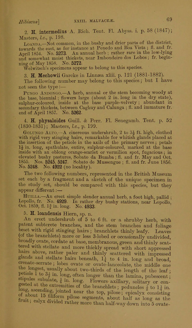 2. H. intermedius A. Rich. Tent. FI. Abyss, i. p. 58 (1847); Masters, l.c., p. 198. Loanda.—Not common, in the bushy and drier parts of the district, towards the east, as for instance at Penedo and Boa Yista ; fl. and.fr. April 1854. No. 5273. An annual herb ; rather rare in the low-lying and somewhat moist thickets, near Imbondeiro dos Lobos; fr. begin- ning of May 1858. No. 5272- Welwitsch’s specimens appear to belong to this species. 3. H. Mechowii Garcke in Linnsea xliii. p. 121 (1881-1882). The following number may belong to this species; but I have not seen the type:— Pungo Andongo.—A herb, annual or the stem becoming woody at the base, biennial; flowers large (about 2 in. long in the dry state), sulphur-coloured, inside at the base purple-velvety; abundant in secondary thickets, between Caghuy and Calunga ; fl. and immature fr. end of April 1857. No. 5262. 4. H. physaloides Guill. & Perr. Fl. Senegamb. Tent. p. 52 (1830-1831); Masters, l.c., p. 199. Golungo Alto.—A cinereous undershrub, 2 to 3J ft. high, clothed with rigid very stinging hairs, remarkable for whitish glands placed at the insertion of the petiole in the axils of the primary nerves ; petals 1£ in. long, spathulate, entire, sulphur-coloured, marked at the base inside with an oblong orange-scarlet or vermilion spot, fugacious; in elevated bushy pastures, Sobato da Bumba ; fl. and fr. May and Oct. 1855. Nos. 5245, 5247. Sobato de Mussengue ; fl. and fr. June 1856. No. 5248. No. 4922 (no locality). The two following numbers, represented in the British Museum set each by a fragment and a sketch of the unique specimen in the study set, should be compared with this species, but they appear different:— Huilla.—An erect simple slender annual herb, a foot high, pallid ; Lopollo, fr. No. 4929. In rather dry bushy stations, near Lopollo, Oct. 1859, fl. If in. long. No. 4933. 5. H. loandensis Hiern, sp. n. An erect undershrub of 5 to 6 ft. or a shrubby herb, with patent subterete branches, and the stem branches and foliage beset with rigid stinging hairs; branchlets thinly leafy. Leaves (of the branchlets) more or less 3-lobed or occasionally undivided, broadly ovate, cordate at base, membranous, green and thinly scat- tered with stellate and more thickly spread with short appressed lan-.s above, rather paler and thinly scattered with impressed glands and stellate hairs beneath, 1| to 4 in. long and broad, crenate-serrate; lobes ovate or ovate-lanceolate, the middle one the longest, usually about two-thirds of the length of the leaf; pe io e to 3| in. long, often longer than the lamina, pubescent; f® ^bulate, | in. long. Flowers axillary, solitary or con- gested at the extremities of the branchlets; peduncles ± to U in. of fhnnt61! katLi01nted near the top, pilose; epicalyx consisting fruit - . r 1°1I1n P^ose segments, about half as long as the > ‘ yx mded rather more than half-way down into 5 ovate-