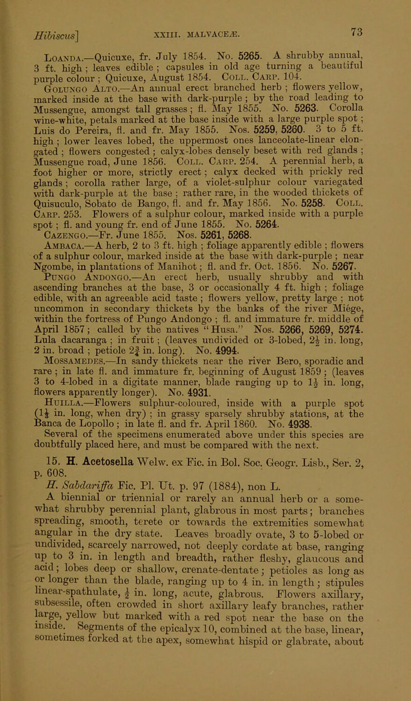 Loanda.—Quicuxe, fr. July 1854. No. 5265. A shrubby annual, 3 ft. high ; leaves edible ; capsules in old age turning a beautiful purple colour ; Quicuxe, August 1854. Coll. Carp. 104. Golungo Alto.—An aunual erect branched herb ; flowers yellow, marked inside at the base with dark-purple ; by the road leading to Mussengue, amongst tall grasses ; fl. May 1855. No. 5263. Corolla wine-white, petals marked at the base inside with a large purple spot ; Luis do Pereira, fl. and fr. May 1855. Nos. 5259, 5260. 3 to 5 ft. high ; lower leaves lobed, the uppermost ones lanceolate-linear elon- gated ; flowers congested ; calyx-lobes densely beset with red glands ; Mussengue road, June 1856. Coll. Carp. 254. A perennial herb, a foot higher or more, strictly erect; calyx decked with prickly red glands; corolla rather large, of a violet-sulphur colour variegated with dark-purple at the base ; rather rare, in the wooded thickets of Quisuculo, Sobato de Bango, fl. and fr. May 1856. No. 5258. Coll. Carp. 253. Flowers of a sulphur colour, marked inside with a purple spot; fl. and young fr. end of June 1855. No. 5264. Cazengo.—Fr. June 1855. Nos. 5261, 5268. Ambaca.—A herb, 2 to 3 ft. high ; foliage apparently edible ; flowers of a sulphur colour, marked inside at the base with dark-purple ; near Ngombe, in plantations of Manihot; fl. and fr. Oct. 1856. No. 5267. Pungo Andongo.—An erect herb, usually shrubby and with ascending branches at the base, 3 or occasionally 4 ft. high ; foliage edible, with an agreeable acid taste ; flowers yellow, pretty large ; not uncommon in secondary thickets by the banks of the river Miege, within the fortress of Pungo Andongo ; fl. and immature fr. middle of April 1857; called by the natives “ Husa.” Nos. 5266, 5269, 5274. Lula dacaranga ; in fruit; (leaves undivided or 3-lobed, 2\ in. long, 2 in. broad ; petiole 2J in. long). No. 4994. Mossamedes.—In sandy thickets near the river Bero, sporadic and rare ; in late fl. and immature fr. beginning of August 1859 ; (leaves 3 to 4-lobed in a digitate manner, blade ranging up to 14 in. long, flowers apparently longer). No. 4931. Huilla.—Flowers sulphur-coloured, inside with a purple spot (1 & in. long, when dry) ; in grassy sparsely shrubby stations, at the Banca de Lopollo ; in late fl. and fr. April 1860. No. 4938. Several of the specimens enumerated above under this species are doubtfully placed here, and must be compared with the next. 15. H. Acetosella Welw. ex Fic. in Bol. Soc. Geogr. Lisb., Ser. 2, p. 608. H. Sabdariffa Fic. PI. Ut. p. 97 (1884), non L. A biennial or triennial or rarely an annual herb or a some- what shrubby perennial plant, glabrous in most parts; branches spreading, smooth, terete or towards the extremities somewhat angular in the dry state. Leaves broadly ovate, 3 to 5-lobed or undivided, scarcely narrowed, not deeply cordate at base, ranging up to 3 in. in length and breadth, rather fleshy, glaucous and acid; lobes deep or shallow, crenate-dentate; petioles as long as or longer than the blade, ranging up to 4 in. in length; stipules linear-spathulate, \ in. long, acute, glabrous. Flowers axillary, subsessile, often crowded in short axillary leafy branches, rather large, yellow but marked with a red spot near the base on the inside. Segments of the epicalyx 10, combined at the base, linear, sometimes forked at the apex, somewhat hispid or glabrate, about
