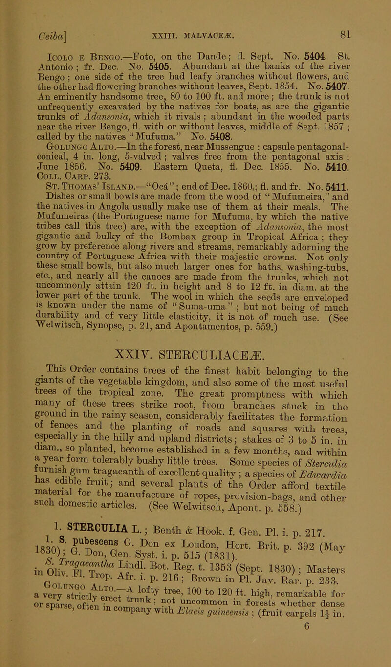 Ceiba] Icolo E Bengo.—Foto, on the Dande; fl. Sept. No. 5404. St. Antonio ; fr. Dec. No. 5405. Abundant at the banks of the river Bengo ; one side of the tree had leafy branches without flowers, and the other had flowering branches without leaves, Sept. 1854. No. 5407. An eminently handsome tree, 80 to 100 ft. and more ; the trunk is not unfrequently excavated by the natives for boats, as are the gigantic trunks of Adansonia, which it rivals ; abundant in the wooded parts near the river Bengo, fl. with or without leaves, middle of Sept. 1857 ; called by the natives “Mufuma.” No. 5408. Golungo Alto.—In the forest, near Mussengue ; capsule pentagonal- conical, 4 in. long, 5-valved ; valves free from the pentagonal axis ; June 1856. No. 5409. Eastern Queta, fl. Dec. 1855. No. 5410. Coll. Carp. 273. St. Thomas’ Island.—“Oc4”; end of Dec. I860,; fl. and fr. No. 5411. Dishes or small bowls ai’e made from the wood of “Mufumeira,” and the natives in Angola usually make use of them at their meals. The Mufumeiras (the Portuguese name for Mufuma, by which the native tribes call this tree) are, with the exception of Adansonia, the most gigantic and bulky of the Bombax group in Tropical Africa ; they grow by preference along rivers and streams, remarkably adorning the country of Portuguese Africa with their majestic crowns. Not only these small bowls, but also much larger ones for baths, washing-tubs, etc., and nearly all the canoes are made from the trunks, which not uncommonly attain 120 ft. in height and 8 to 12 ft. in diam. at the lower part of the trunk. The wool in which the seeds are enveloped is known under the name of “ Suma-uma ” ; but not being of much durability and of very little elasticity, it is not of much use. (See Welwitsch, Synopse, p. 21, and Apontamentos, p. 559.) XXIY. STERCULIACE2E. . This Order contains trees of the finest habit belonging to the giants of the vegetable kingdom, and also some of the most useful trees of the tropical zone. The great promptness with which many of these trees strike root, from branches stuck in the ground in the rainy season, considerably facilitates the formation of fences and the planting of roads and squares with trees especially in the hilly and upland districts; stakes of 3 to 5 in. in diam., so planted, become established in a few months, and within a year form tolerably bushy little trees. Some species of Sterculia lurmsh gum tragacanth of excellent quality ; a species of Edwardia has edible fruit; and several plants of the Order afford textile material for the manufacture of ropes, provision-bags, and other such domestic articles. (See Welwitsch, Apont. p. 558.) 1. STERCULIA L.; Benth & Hook. f. Gen. PI. i. p. 217. 1830V f^SCe^ G-cPon ex Loudon, Hort. Brit. p. 392 (May 1«30) G. Don, Gen. Syst. i. p. 515 (1831). V J inOhV pTCS?a Hndh Bot' ReS- 1353 (Sept, 1830); Masters m Ohv. PI. Trop. Afr. i. p. 216; Brown in PI. Jav. Bar. p. 233. a very Strictly erecT'h-un k^ not ^ 10° t0 120 ft.hiSh’ remarkable for or sparse offpn uncommon in forests whether dense sparse, often m company with Elaeis guineensis ; (fruit carpels 1£ in. 6