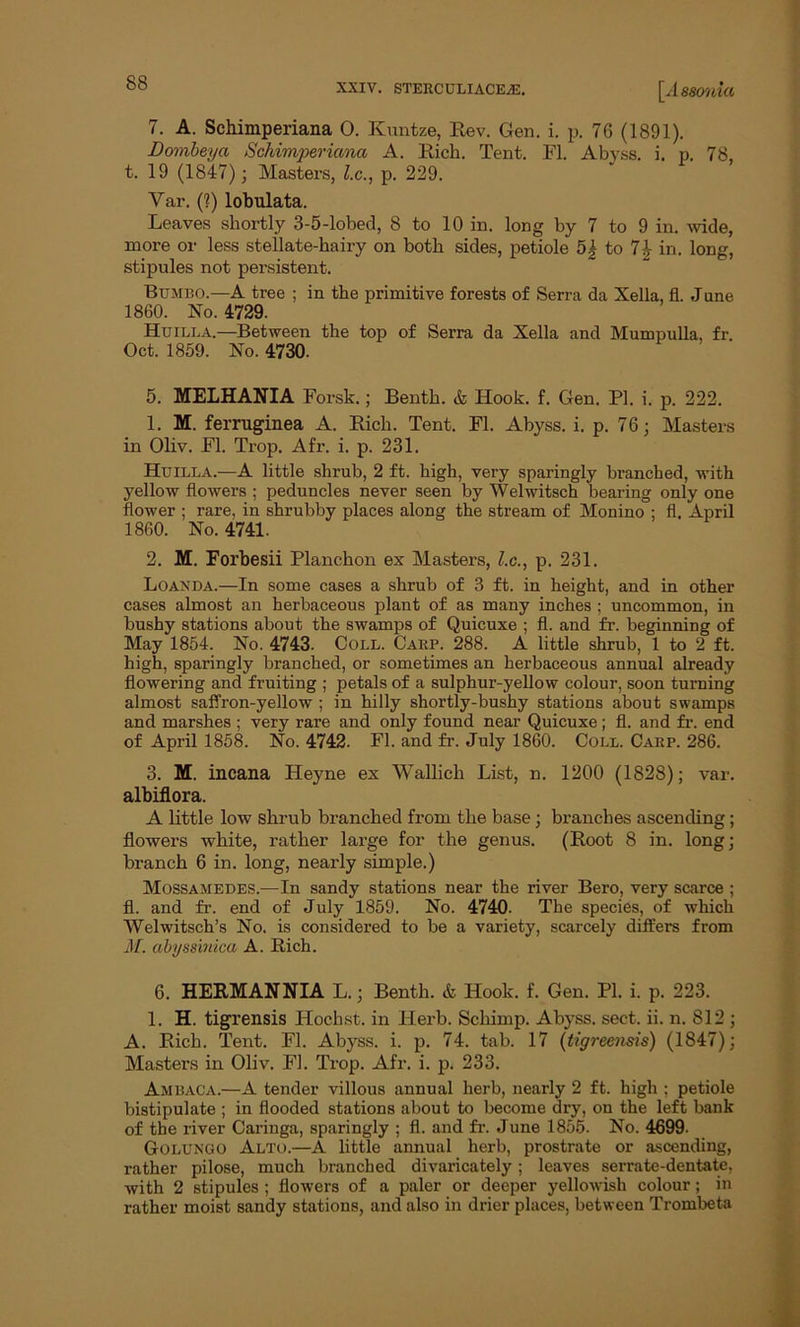 7. A. Schimperiana 0. Kuntze, Rev. Gen. i. p. 76 (1891). Dombeya Schimperiana A. Rich. Tent. FI. Abyss, i. p. 78, t. 19 (1847); Masters, l.c., p. 229. Var. (?) lobulata. Leaves shortly 3-5-lobed, 8 to 10 in. long by 7 to 9 in. wide, more or less stellate-hairy on both sides, petiole 5| to 7£ in. long, stipules not persistent. Bumbo.—A tree ; in the primitive forests of Serra da Xella, fL June 1860. No. 4729. Huilla.—Between the top of Serra da Xella and Mumpulla, fr Oct. 1859. No. 4730. 5. MELHANIA Forsk.; Benth. & Hook. f. Gen. PI. i. p. 222. 1. M. ferruginea A. Rich. Tent. FI. Abyss, i. p. 76; Masters in Oliv. FI. Trop. Afr. i. p. 231. Huilla.—A little shrub, 2 ft. high, very sparingly branched, with yellow flowers ; peduncles never seen by Welwitsch bearing only one flower ; rare, in shrubby places along the stream of Monino : fl. April 1860. No. 4741. 2. M. Forbesii Planchon ex Masters, l.c., p. 231. Loan da.—In some cases a shrub of 3 ft. in height, and in other cases almost an herbaceous plant of as many inches ; uncommon, in bushy stations about the swamps of Quicuxe ; fl. and fr. beginning of May 1854. No. 4743. Coll. Carp. 288. A little shrub, 1 to 2 ft. high, sparingly branched, or sometimes an herbaceous annual already flowering and fruiting ; petals of a sulphur-yellow colour, soon turning almost saffron-yellow ; in hilly shortly-bushy stations about swamps and marshes ; very rare and only found near Quicuxe; fl. and fr. end of April 1858. No. 4742. Fl. and fr. July 1860. Coll. Carp. 286. 3. M. incana Heyne ex Wallich List, n. 1200 (1828); var. albiflora. A little low shrub branched from the base; branches ascending; flowers white, rather large for the genus. (Root 8 in. long; branch 6 in. long, nearly simple.) Mossamedes.—In sandy stations near the river Bero, very scarce ; fl. and fr. end of July 1859. No. 4740. The species, of which Welwitsch’s No. is considered to be a variety, scarcely differs from M. abyssinica A. Rich. 6. HERMANNIA L.; Benth. & Hook. f. Gen. PI. i. p. 223. 1. H. tigrensis Hochst. in Herb. Schimp. Abyss, sect. ii. n. 812 ; A. Rich. Tent. Fl. Abyss, i. p. 74. tab. 17 (tigreensis) (1847); Masters in Oliv. Fl. Trop. Afr. i. p. 233. Ambaca.—A tender villous annual herb, nearly 2 ft. high ; petiole bistipulate ; in flooded stations about to become dry, on the left bank of the river Caringa, sparingly ; fl. and fr. June 1855. No. 4699- Golungo Alto.—A little annual herb, prostrate or ascending, rather pilose, much branched divaricately; leaves serrate-dentate, with 2 stipules ; flowers of a paler or deeper yellowish colour; in rather moist sandy stations, and also in drier places, between Trombeta