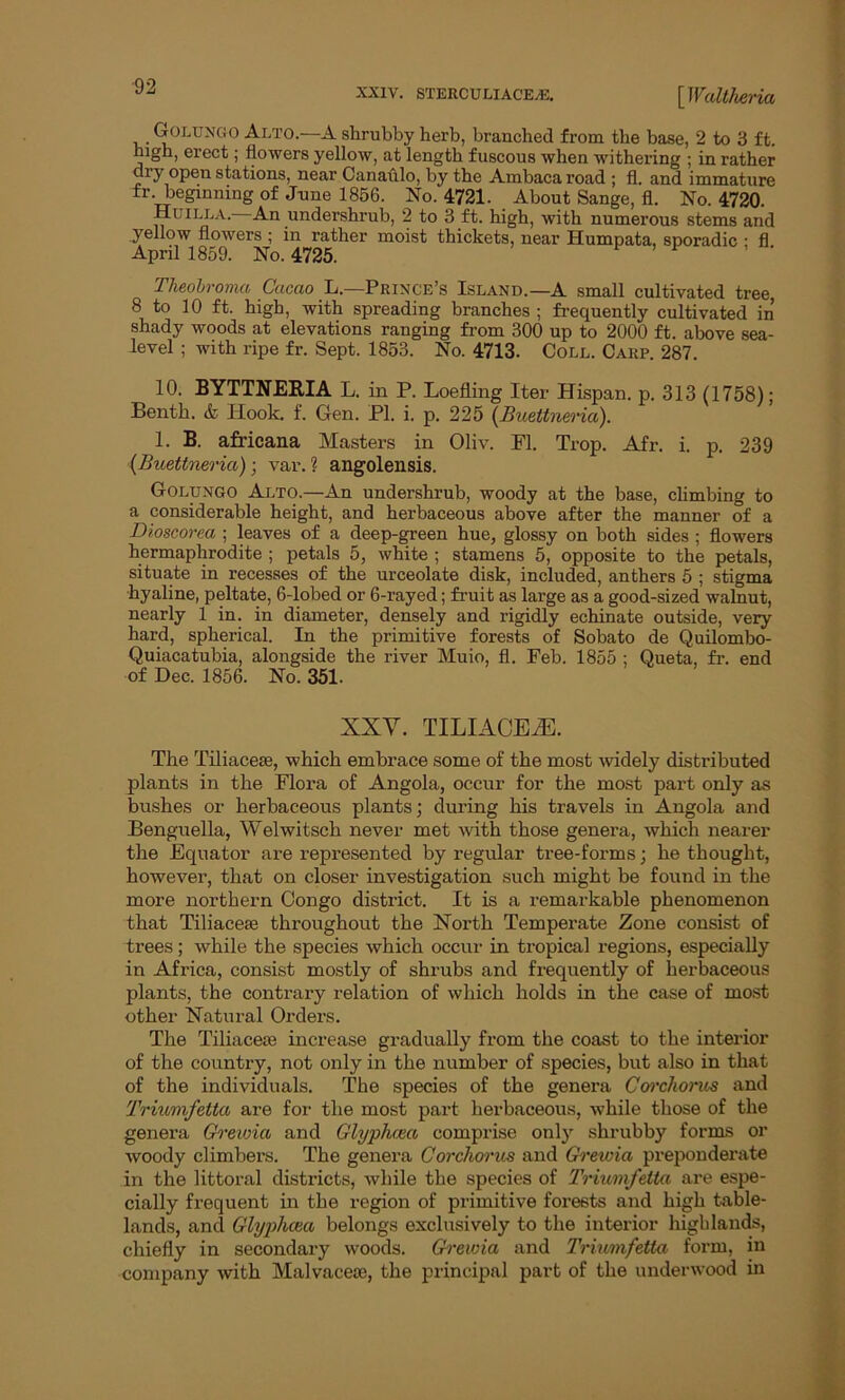 Golungo Alto.—A shrubby herb, branched from the base, 2 to 3 ft. high, erect; flowers yellow, at length fuscous when withering ; in rather dry open stations, near Canavilo, by the Ambacaroad ; fl. and immature rr. beginning of June 1856. No. 4721. About Sange, fl. No. 4720. Huilla.- An undershrub, 2 to 3 ft. high, with numerous stems and yellow flowers ; in rather moist thickets, near Humpata, sporadic : fl April 1859. No. 4725. ’ 1 Theobroma Cacao L.—Prince’s Island.—A small cultivated tree, 8 to 10 ft. high, with spreading branches ; frequently cultivated in shady woods at elevations ranging from 300 up to 2000 ft. above sea- level ; with ripe fr. Sept. 1853. No. 4713. Coll. Carp. 287. 10. BYTTNEBIA L. in P. Loefling Iter Hispan. p. 313 (1758); Benth. & Hook. f. Gen. PI. i. p. 225 (Buettneria). 1. B. africana Masters in Oliv. Fl. Trop. Afr. i. p. 239 {Buettneria)-, var.? angolensis. Golungo Alto.—An undershrub, woody at the base, climbing to a considerable height, and herbaceous above after the manner of a Dioscorea ; leaves of a deep-green hue, glossy on both sides ; flowers hermaphrodite ; petals 5, white ; stamens 5, opposite to the petals, situate in recesses of the urceolate disk, included, anthers 5 ; stigma hyaline, peltate, 6-lobed or 6-rayed; fruit as large as a good-sized walnut, nearly 1 in. in diameter, densely and rigidly echinate outside, very hard, spherical. In the primitive forests of Sobato de Quilombo- Quiacatubia, alongside the river Muio, fl. Feb. 1855 ; Queta, fr. end of Dec. 1856. No. 351. XXY. TILLAGES. The Tiliacese, which embrace some of the most widely distributed plants in the Flora of Angola, occur for the most part only as bushes or herbaceous plants; during his travels in Angola and Benguella, Welwitsch never met with those genera, which nearer the Equator are represented by regular tree-forms; he thought, however, that on closer investigation such might be found in the more northern Congo district. It is a remarkable phenomenon that Tiliacem throughout the North Temperate Zone consist of trees; while the species which occur in tropical regions, especially in Africa, consist mostly of shrubs and frequently of herbaceous plants, the contrary relation of which holds in the case of most other Natural Orders. The Tiliacese increase gradually from the coast to the interior of the country, not only in the number of species, but also in that of the individuals. The species of the genera Corclwrm and Triumfetta are for the most part herbaceous, while those of the genera Grewia and Glyphcea comprise only shrubby forms or woody climbers. The genera Corchorus and Grewia preponderate in the littoral districts, while the species of Triumfetta are espe- cially frequent in the region of primitive forests and high table- lands, and Glypluea belongs exclusively to the interior highlands, chiefly in secondary woods. Grewia and Triumfetta form, in company with Malvacecc, the principal part of the underwood in