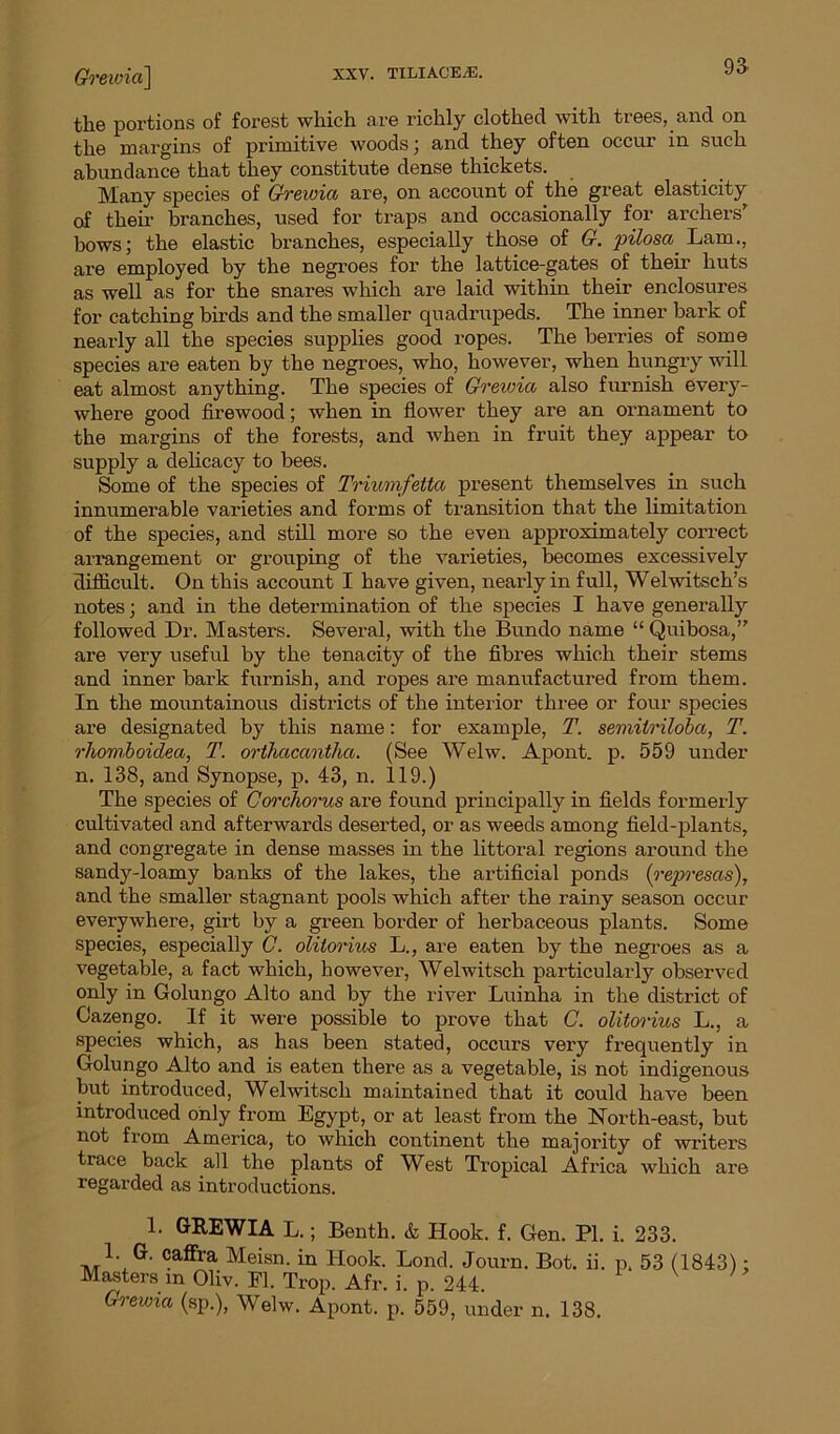 9a Greivia] the portions of forest which are richly clothed with trees, and on the margins of primitive woods; and they often occur in such abundance that they constitute dense thickets. Many species of Grewia are, on account of the great elasticity of their branches, used for traps and occasionally for archers’ bows; the elastic branches, especially those of G. pilosa Lam., are employed by the negroes for the lattice-gates of their huts as well as for the snares which are laid within their enclosures for catching birds and the smaller quadrupeds. The inner bark of nearly all the species supplies good ropes. The berries of some species are eaten by the negroes, who, however, when hungry will eat almost anything. The species of Grewia also furnish every- where good firewood; when in flower they are an ornament to the margins of the forests, and when in fruit they appear to supply a delicacy to bees. Some of the species of Triumfetta present themselves in such innumerable varieties and forms of transition that the limitation of the species, and still more so the even approximately correct arrangement or grouping of the varieties, becomes excessively difficult. On this account I have given, nearly in full, Welwitsch’s notes; and in the determination of the species I have generally followed Dr. Masters. Several, with the Bundo name “ Quibosa,” are very useful by the tenacity of the fibres which their stems and inner bark furnish, and ropes are manufactured from them. In the mountainous districts of the interior three or four species are designated by this name: for example, T. semitriloba, T. rhomboidea, T. orthacantha. (See Welw. Apont. p. 559 under n. 138, and Synopse, p. 43, n. 119.) The species of Corchorus are found principally in fields formerly cultivated and afterwards deserted, or as weeds among field-plants, and congregate in dense masses in the littoral regions around the sandy-loamy banks of the lakes, the artificial ponds (represas), and the smaller stagnant pools which after the rainy season occur everywhere, girt by a green border of herbaceous plants. Some species, especially C. olitorius L., are eaten by the negroes as a vegetable, a fact which, however, Welwitsch particularly observed only in Golungo Alto and by the river Luinha in the district of Cazengo. If it were possible to prove that C. olitorius L., a species which, as has been stated, occurs very frequently in Golungo Alto and is eaten there as a vegetable, is not indigenous but introduced, Welwitsch maintained that it could have been introduced only from Egypt, or at least from the North-east, but not from America, to which continent the majority of writers trace back all the plants of West Tropical Africa which are regarded as introductions. 1. GREWIA L.; Benth. & Hook. f. Gen. PL i. 233. L G. caffra Meisn. in Hook. Bond. Journ. Bot. ii. p, 53 (1843); Masters m Oliv. El. Trop. Afr. i. p. 244. Grevna (sp.), Welw. Apont. p. 559, under n. 138.
