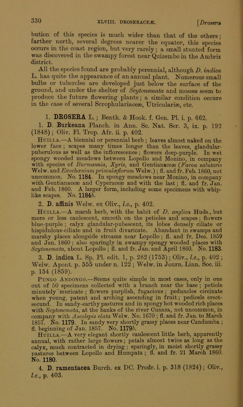 bution of this species is much wider than that of the others; farther north, several degrees nearer the equator, this species occurs in the coast region, but very rarely; a small stunted form was discovered in the swampy forest near Quizembo in the Ambriz district. All the species found are probably perennial, although D. indica L. has quite the appearance of an annual plant. Numerous small bulbs or tubercles are developed just below the surface of the ground, and under the shelter of Scytonemata and mosses seem to produce the future flowering plants; a similar condition occurs in the case of several Scrophulariaceae, Utricularise, etc. 1. DROSERA L.; Benth. & Hook. f. Gen. PI. i. p. 662. 1. D. Burkeana Planch, in Ann. Sc. Nat. Ser. 3, ix. p. 192 (1848); Oliv. PI. Trop. Afr. ii. p. 402. Hu ill a.—A biennial or perennial herb ; leaves almost naked on the lower face ; scapes many times longer than the leaves, glandular- puberulous as well as the inflorescence ; flowers deep-purple. In wet spongy wooded meadows between Lopollo and Monino, in company with species of Burmannia, Xyris, and Gentianacese (Faroa salutaris Welw. and Exochoenium primulceflorum Welw.) ; fl. and fr. Feb. 1860, not uncommon. No. 1184. In spongy meadows near Monino, in company with Gentianacese and Cyperacese and with the last; fl. and fr. Jan. and Feb. 1860. A larger form, including some specimens with whip- like scapes. No. 11846. 2. D. affinis Welw. ex Oliv., l.c., p. 402. Huilla.—A marsh herb, with the habit of D. anglica Huds., but more or less caulescent, smooth on the petioles and scapes; flowers blue-purple ; calyx glandular-pubescent, its lobes densely ciliate or hispidulous-ciliate and in fruit divaricate. Abundant in swamps and marshy places alongside streams near Lopollo; fl. and fr. Dec. 1859 and Jan. 1860 ; also sparingly in swampy spongy wooded places with Scytonemata, about Lopollo ; fl. and fr. Jan. and April 1860. No. 1183. 3. D. indica L. Sp. PL edit. 1, p. 282 (1753); Oliv., l.c., p. 402 ; Welw. Apont. p. 555 under n. 122 ; Welw. in Journ. Linn. Soc. iii. p. 154 (1859). Pungo Andongo.—Stems quite simple in most cases, only in one out of 50 specimens collected with a branch near the base ; petiole minutely' muricate ; flowers purplish, fugacious ; peduncles circinate when young, patent and arching ascending in fruit; pedicels erect- secund. In sandy-earthy pastures and in spongy hot wooded rich places with Scytonemata, at the banks of the river Cuanza, not uncommon, in company with Ascolepis elata Welw. No. 1670 ; fl. and fr. Jan. to March 1857. No. 1179. In sandy very shortly grassy places near Candumba ; fl. beginning of Jan. 1857. No. 11796. Huilla.—A very elegant shortly caulescent little herb, apparently annual, with rather large flowers; petals almost twice as long as the calyx, much contracted in drying ; sparingly, in moist shortly grassy pastures between Lopollo and Humpata ; fl. and fr. 21 March 1860. No. 1180. 4. D. ramentacea Burch, ex DC. Prodr. i. p. 318 (1824); Oliv., l.c., p. 403.