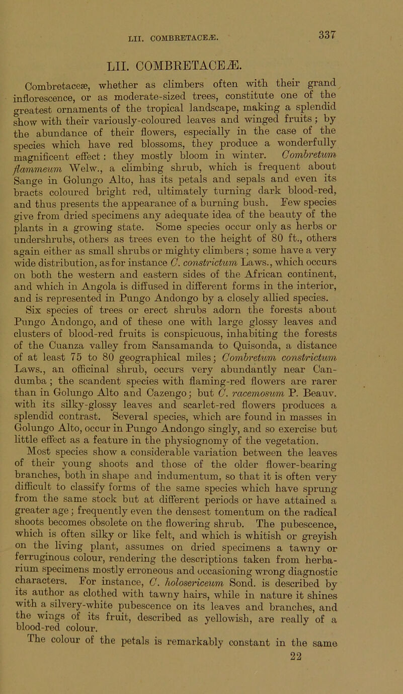 LII. COMBRETACE^. Combretacese, whether as climbers often with their grand inflorescence, or as moderate-sized trees, constitute one of the crreatest ornaments of the tropical landscape, making a splendid show with their variously-coloured leaves and winged fruits ; by the abundance of their flowers, especially in the case of the species which have red blossoms, they produce a wonderfully magniflcent effect: they mostly bloom in winter. Gomhretwm, flcvmmeuvi Welw., a climbing shrub, which is frequent about Sange in Golungo Alto, has its petals and sepals and even its bracts coloured bright red, ultimately turning dark blood-red, and thus presents the appearance of a burning bush. Eew species give from dried specimens any adequate idea of the beauty of the plants in a growing state. Some species occur only as herbs or undershrubs, others as trees even to the height of 80 ft., others again either as small shrubs or mighty climbers ; some have a very wide distribution, as for instance G. constrictum Laws., which occurs on both the western and eastern sides of the African continent, and which in Angola is diffused in different forms in the interior, and is represented in Pungo Andongo by a closely allied species. Six species of trees or erect shrubs adorn the forests about Pungo Andongo, and of these one with large glossy leaves and clusters of blood-red fruits is conspicuous, inhabiting the forests of the Cuanza valley from Sansamanda to Quisonda, a distance of at least 75 to 80 geographical miles; Gombretum const/i'ictum Laws., an officinal shrub, occurs very abundantly near Oan- dumba; the scandent species with flaming-red flowers are rarer than in Golungo Alto and Cazengo; but G. racemosum P. Beauv. with its silky-glossy leaves and scarlet-red flowers produces a splendid contrast. Several species, which are found in masses in Golungo Alto, occur in Pungo Andongo singly, and so exercise but httle effect as a feature in the physiognomy of the vegetation. Most species show a considerable variation between the leaves of their young shoots and those of the older flower-bearing branches, both in shape and indumentum, so that it is often very difficult to classify forms of the same species which have sprung from the same stock but at different periods or have attained a greater age; frequently even the densest tomentum on the radical shoots becomes obsolete on the flowering shrub. The pubescence, which is often silky or like felt, and which is whitish or greyish on the living plant, assumes on dried specimens a tawny or ferruginous colour, rendering the descriptions taken from herba- rium specimens mostly erroneous and occasioning wrong diagnostic characters. For instance, G. holosericeum Sond. is described by its author as clothed with tawny hairs, while in nature it shines with a^ silvery-white pubescence on its leaves and branches, and the wings of its fruit, described as yellowish, are really of a blood-red colour. The colour of the petals is remarkably constant in the same 22