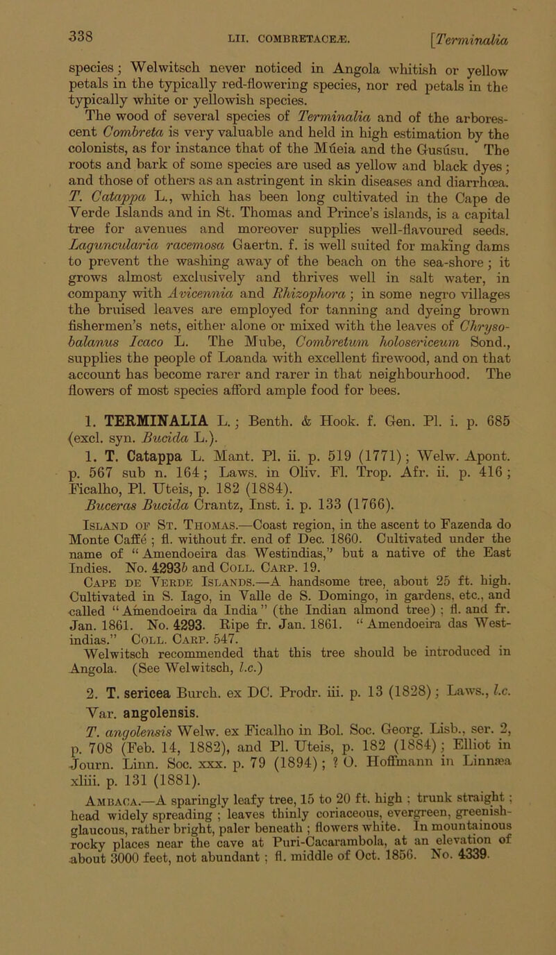 species; Welwitsch never noticed in Angola whitish or yellow petals in the typically red-flowering species, nor red petals in the typically white or yellowish species. The wood of several species of Terminalia and of the arbores- cent Combreta is very valuable and held in high estimation by the colonists, as for instance that of the Mueia and the Gususu. The roots and bark of some species are used as yellow and black dyes; and those of others as an astringent in skin diseases and diarrhoea. T. Catappa L., which has been long cultivated in the Cape de Verde Islands and in St. Thomas and Prince’s islands, is a capital tree for avenues and moreover supplies well-flavoured seeds. Laguncularia racemosa Gaertn. f. is well suited for making dams to prevent the washing away of the beach on the sea-shore; it grows almost exclusively and thrives well in salt water, in company with Avicennia and RhizopJiora; in some negro villages the bruised leaves are employed for tanning and dyeing brown fishermen’s nets, either alone or mixed with the leaves of Chryso- balanus Icaco L. The Mube, Combretunn holosericeum Send., supplies the people of Loanda with excellent firewood, and on that account has become rarer and rarer in that neighbourhood. The flowers of most species afford ample food for bees. 1. TERMINALIA L.; Benth. & Hook. f. Gen. PI. i. p. 685 (excl. syn. Bucida L.). 1. T. Catappa L. Mant. PI. ii. p. 519 (1771); Welw. Apont. p. 567 sub n. 164; Laws, in Oliv. FI. 'Prop. Afr. ii. p. 416 ; Ficalho, PI. Uteis, p. 182 (1884). Buceras Bucida Orantz, Inst. i. p. 133 (1766). Island op St. Thomas.—Coast region, in the ascent to Fazenda do Monte Caffe ; fl. without fr. end of Dec. 1860. Cultivated under the name of “ Amendoeira das Westindias,” but a native of the East Indies. No. 4293i and Coll. Carp. 19. Cape de Verde Islands.—A handsome tree, about 25 ft. high. Cultivated in S. lago, in Valle de S. Domingo, in gardens, etc., and called “ Amendoeira da India ” (the Indian almond tree) ; fl. and fr. Jan. 1861. No. 4293. Ripe fr. Jan. 1861. “ Amendoeira das West- indias.” Coll. Carp. 547. Welwitsch recommended that this tree should be introduced in Angola. (See Welwitsch, Z.c.) 2. T. sericea Burch, ex DC. Prodr. iii. p. 13 (1828); Laws., l.c. Var. angolensis. T. angolensis Welw. ex Ficalho in Bol. Soc. Georg. Lisb., ser. 2, p. 708 (Feb. 14, 1882), and PI. IJteis, p. 182 (1884); Elliot in Journ. Linn. Soc. xxx. p. 79 (1894); 1 0. Hoffmann in Linn«a xliii. p. 131 (1881). Ambaca.—A sparingly leafy tree, 15 to 20 ft. high ; trunk straight ; head widely spreading ; leaves thinly coriaceous,^ evergreen, greenish- glaucous, rather bright, paler beneath ; flowers white. In mountainous rocky places near the cave at Puri-Cacarambola, at an elevation of about 3000 feet, not abundant ; fl. middle of Oct. 1856. No. 4339.