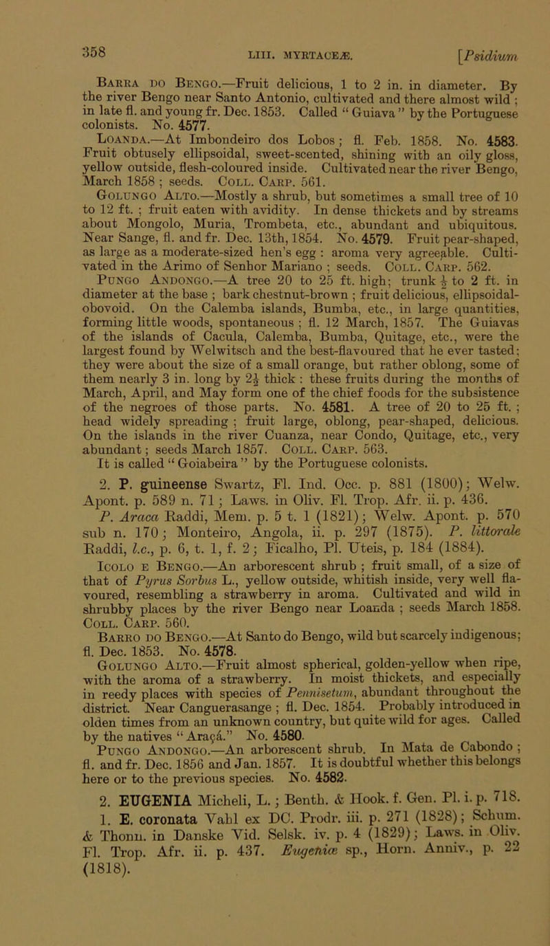 Barra do Bengo.—Fruit delicious, 1 to 2 in. in diameter. By the river Bengo near Santo Antonio, cultivated and there almost wild ; in late fl. and young fr. Dec. 1853. Called “ Guiava ” by the Portuguese colonists. No. 4577. Loanda.—At Imbondeiro dos Lobos ; fl. Feb. 1858. No. 4583. Fruit obtusely ellipsoidal, sweet-scented, shining with an oily gloss, yellow outside, flesh-coloured inside. Cultivated near the river Bengo, March 1858 ; seeds. Coll. Carp. 561. Golungo Alto.—Mostly a shrub, but sometimes a small tree of 10 to 12 ft. ; fruit eaten with avidity. In dense thickets and by streams about Mongolo, Muria, Trombeta, etc., abundant and ubiquitous. Near Sange, fl. and fr. Dec. 13th, 1854. No. 4579. Fruit pear-shaped, as large as a moderate-sized hen’s egg : aroma very agree^,ble. Culti- vated in the Arimo of Senhor Mariano ; seeds. Coll. Carp. 562. PuNGo Andongo.—A tree 20 to 25 ft. high; trunk to 2 ft. in diameter at the base ; bark chestnut-brown ; fruit delicious, ellipsoidal- obovoid. On the Calemba islands, Bumba, etc., in large quantities, forming little woods, spontaneous ; fl. 12 March, 1857. The Guiavas of the islands of Cacula, Calemba, Bumba, Quitage, etc., were the largest found by Welwitsch and the best-flavoured that he ever tasted; they were about the size of a small orange, but rather oblong, some of them nearly 3 in. long by 2J thick : these fruits during the months of March, April, and May form one of the chief foods for the subsistence of the negroes of those parts. No. 4581. A tree of 20 to 25 ft. ; head widely spreading ; fruit large, oblong, pear-shaped, delicious. On the islands in the river Cuanza, near Condo, Quitage, etc., very abundant; seeds March 1857. Coll. Carp. 563. It is called “ Goiabeira ” by the Portuguese colonists. 2. P. guineense Swartz, Fl. Ind. Occ. p. 881 (1800); Welw. Apont. p. 589 n. 71; Laws, in Oliv. Fl. Trop. Afr. ii. p. 436. P. Araca Raddi, Mem. p. 5 t. 1 (1821); Welw. Apont. p. 570 sub n. 170; Monteiro, Angola, ii. p. 297 (1875). P. littorale Eaddi, l.c., p. 6, t. 1, f. 2; Ficalho, PI. IJteis, p. 184 (1884). IcoLO E Bengo.—An arborescent shrub ; fruit small, of a size of that of Pyrus Sorbus L., yellow outside, whitish inside, very well fla- voured, resembling a strawberry in aroma. Cultivated and wild in shrubby places by the river Bengo near Loanda ; seeds March 1858. Coll. Carp. 560. Barro do Bengo.—At Santo do Bengo, wild but scarcely indigenous; fl. Dec. 1853. No. 4578. Golungo Alto.—Fruit almost spherical, golden-yellow when ripe, with the aroma of a strawberry. In moist thickets, and especially in reedy places with species of Pennisetum, abundant throughout the district. Near Canguerasange ; fl. Dec. 1854. Probably introduced in olden times from an unknown country, but quite wild for ages. Called by the natives “ Ara9d.” No. 4580. PuNGO Andongo.—An arborescent shrub. In Mata de Cabondo ; fl. and fr. Dec. 1856 and Jan. 1857. It is doubtful whether this belongs here or to the previous species. No. 4582. 2. EUGENIA Micheli, L.; Benth. & Hook. f. Gen. PI. i. p. 718. 1. E. coronata Vahl ex DC. Prodr. iii. p. 271 (1828); Sebum. Thonn. in Danske Vid. Selsk. iv. p. 4 (1829); Laws, in Oliv. Fl. Trop. Afr. ii. p. 437. Eitgenim sp., Horn. Anniv., p. 22 (1818).