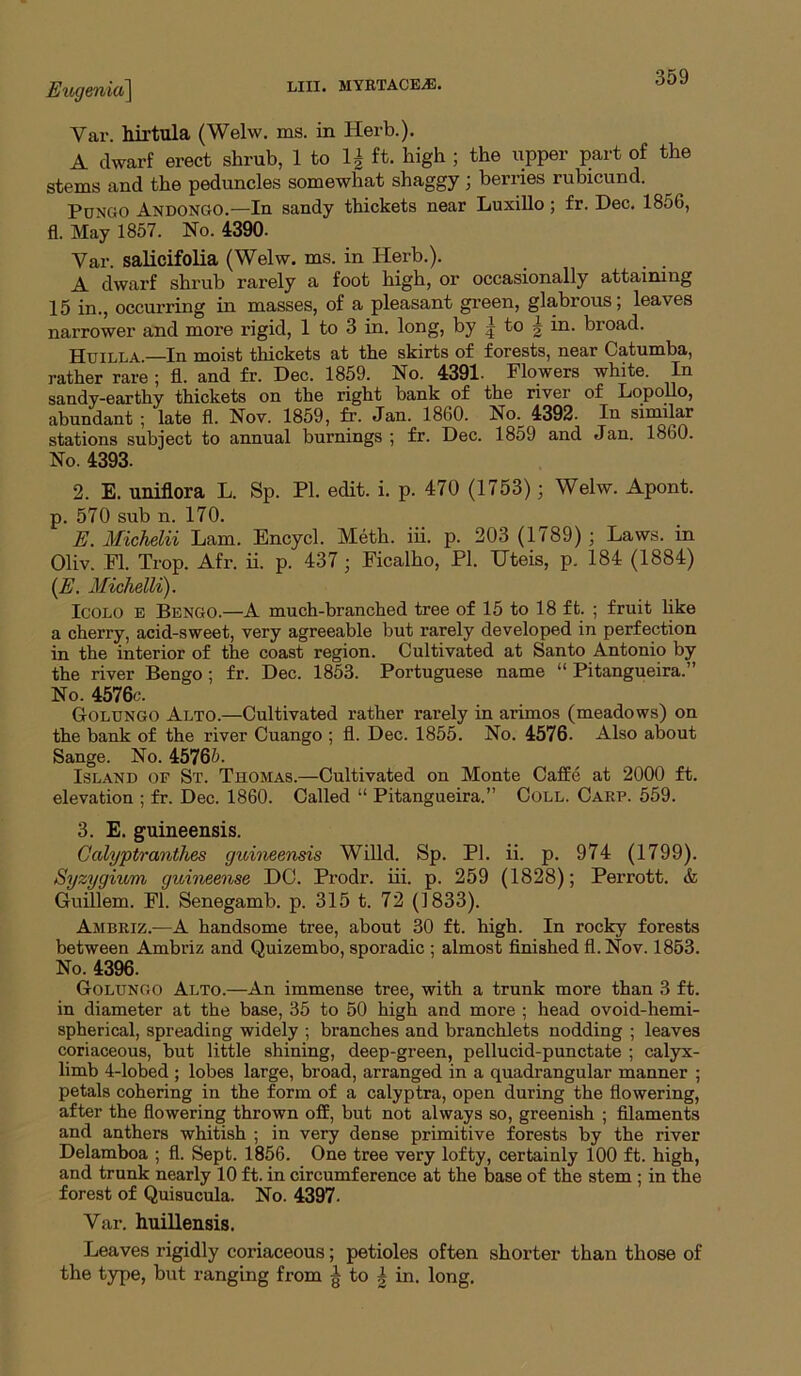 Ex^gmia\ liii. myrtace^. Var. hirtula (Welw, ms. in Herb.). A dwarf erect shrub, 1 to 1| ft. high ; the upper part of the stems and the peduncles somewhat shaggy ; berries rubicund. PuNGO Andongo.—In sandy thickets near Luxillo; fr. Dec. 1856, fl. May 1857. No. 4390. Var. salicifolia (Welw. ms. in Herb.). A dwarf shrub rarely a foot high, or occasionally attaining 15 in., occurring in masses, of a pleasant green, glabrous; leaves narrower and more rigid, 1 to 3 in. long, by | to | in. broad. Huilla —In moist thickets at the skirts of forests, near Catumba, rather rare ; fl. and fr. Dec. 1859. No. 4391. Flowers white. In sandy-earthy thickets on the right bank of the river of LopoUo, abundant ; late fl. Nov. 1859, fr. Jan. 1860. No.^ 4392. In similar stations subject to annual burnings ; fr. Dec. 1859 and Jan. 1860. No. 4393. 2. E. uniflora L. Sp. PI. edit. i. p. 470 (1753); Welw. Apont. p. 570 sub n. 170. E. Michelii Lam. Encycl. Meth. iii. p. 203 (1789) ; Laws, in Oliv. Fl. Trop. Afr. ii. p. 437; Ficalho, PI. Uteis, p. 184 (1884) (E. Michelii). ICOLO E Bengo.—A much-branched tree of 15 to 18 ft. ; fruit like a cherry, acid-sweet, very agreeable but rarely developed in perfection in the interior of the coast region. Cultivated at Santo Antonio by the river Bengo; fr. Dec. 1853. Portuguese name “ Pitangueira.” No. 4576c. Golungo Alto.—Cultivated rather rarely in arimos (meadows) on the bank of the river Cuango ; fl. Dec. 1855. No. 4576. Also about Sange. No. 45765. Island of St. Thomas.—Cultivated on Monte Caffe at 2000 ft. elevation ; fr. Dec. 1860. Called “ Pitangueira.” Coll. Carp. 559. 3. E. guineensis. Galyptranthes gidneensis Willd. Sp. PI. ii. p. 974 (1799). Syzygimn guineense DO. Prodr. iii. p. 259 (1828); Perrott. & Guillem. Fl. Senegamb. p. 315 t. 72 (1833). Ambriz.—A handsome tree, about 30 ft. high. In rocky forests between Ambriz and Quizembo, sporadic ; almost finished fl.Nov. 1853. No. 4396. Golungo Alto.—An immense tree, with a trunk more than 3 ft. in diameter at the base, 35 to 50 high and more ; head ovoid-hemi- spherical, spreading widely ; branches and branchlets nodding ; leaves coriaceous, but little shining, deep-green, pellucid-punctate ; calyx- limb 4-lobed ; lobes large, broad, arranged in a quadrangular manner ; petals cohering in the form of a calyptra, open during the flowering, after the flowering thrown off, but not always so, greenish ; filaments and anthers whitish ; in very dense primitive forests by the river Delamboa ; fl. Sept. 1856. One tree very lofty, certainly 100 ft. high, and trunk nearly 10 ft. in circumference at the base of the stem ; in the forest of Quisucula. No. 4397- Var. huillensis. Leaves rigidly coriaceous; petioles often shorter than those of the type, but ranging from ^ to | in. long.