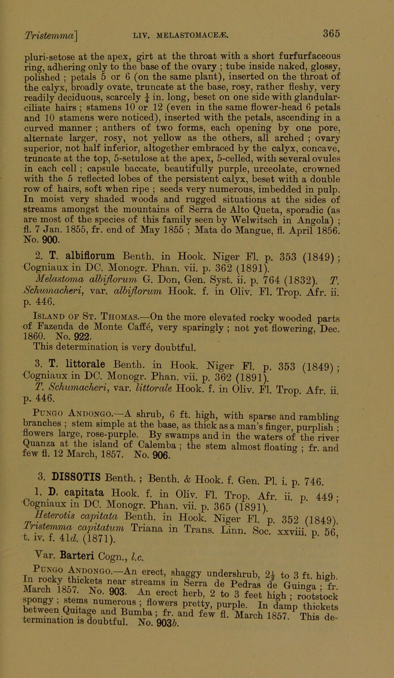 pluri-setose at the apex, girt at the throat with a short furfurfaceous ring, adhering only to the base of the ovary ; tube inside naked, glossy, polished ; petals 5 or 6 (on the same plant), inserted on the throat of the calyx, broadly ovate, truncate at the base, rosy, rather fleshy, very readily deciduous, scarcely in. long, beset on one side with glandular- ciliate hairs ; stamens 10 or 12 (even in the same flower-head 6 petals and 10 stamens were noticed), inserted with the petals, ascending in a curved manner ; anthers of two forms, each opening by one pore, alternate larger, rosy, not yellow as the others, all arched ; ovary superior, not half inferior, altogether embraced by the calyx, concave, truncate at the top, 6-setulose at the apex, 5-celled, with several ovules in each cell ; capsule baccate, beautifully purple, urceolate, crowned with the 5 reflected lobes of the persistent calyx, beset with a double row of hairs, soft when ripe ; seeds very numerous, imbedded in pulp. In moist very shaded woods and rugged situations at the sides of streams amongst the mountains of Serra de Alto Queta, sporadic (as are most of the species of this family seen by Welwitsch in Angola) ; fl. 7 Jan. 1855, fr. end of May 1855 ; Mata do Mangue, fl. April 1856. No. 900. 2. T. albiflorum Bentb. in Hook. Niger Fl. p. 353 (1849); Oogniaux in DO. Monogr. Phan. vii. p. 362 (1891). Melastoma alhijlorum G. Don, Gen. Syst. ii. p. 764 (1832). T. Schumacheri, var. alhijlorum Hook. f. in Oliv. Fl. Trop. Afr. ii. p. 446. Island of St. Thomas.—On the more elevated rocky wooded parts of Fazenda de Monte CafE4, very sparingly ; not yet flowerincr, Dec 1860. No. 922. • This determination is very doubtful. 3. T. littorale Benth. in Hook. Niger Fl. p. 353 (1849); Oogniaux in DO. Monogr. Phan. vii. p. 362 (1891). T. Schumacheri, var. littorale Hook. f. in Oliv Fl Trop Afr ii p. 446. ■ ■ PuNGO Andongo. a shrub, 6 ft. high, with sparse and rambling branches ; stem simple at the base, as thick as a man’s finger, purplish • flowers large, rose-purple. By swamps and in the waters of the river Quanza at the island of Calemba ; the stem almost floating ; fr. and few fl. 12 March, 1857. No. 906. 3. DISSOTIS Benth.; Benth. & Hook. f. Gen. PI. i. p. 746. 1. D. capitata Hook. f. in Oliv. Fl. Trop. Afr ii. p. 449 . Oogniaux in DO. Monogr. Phan. vii. p. 365 (1891). ’ Heterotis capitata Benth. in Hook. Niger Fl.'^p. 352 (1849). Tristemma capitatum Triana in Trans. Linn. Soc. xxviii p 56 t. IV. t. 41cZ. (1871). ' ’ Var. Barter! Oogn., l.c. Tn^rnctv undershrub, 2^ to 3 ft. high. March 1857 m Guinga ; fi-. marcn 1«P7. No. 903. An erect herb, 2 to 3 feet high • rootstock spongy ; stems numerous ; flowers pretty purple In Inrr’r. between Quitage and Bumba; fr. and few fl. March 1857 tK? termination IS doubtful. No. 9035. xoo/. inis ae-