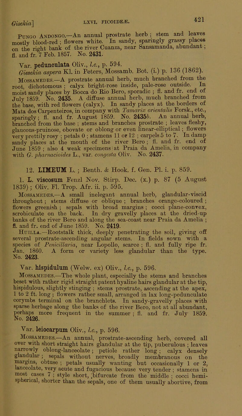 Gisekia'\ PuNGO Andongo.—An annual prostrate herb ; stem and leaves mostly blood-red ; flowers white. In sandy, sparingly grassy places on the right bank of the river Cuanza, near Sansamanda, abundant; fl. and fr. 7 Feb. 1857. No. 2431. Var. pedunoulata Oliv., l.c., p. 594. GieseUa aspera Kl. in Peters, Mossamb. Bot. (i.) p. 136 (1862), Mossamedes.—A prostrate annual herb, much branched from the root, dichotomous ; calyx bright-rose inside, pale-rose outside. In moist sandy places by Bocca do Rio Bero, sporadic ; fl. and fr. end of July 1859. No. 2435. A diffuse annual herb, much branched from the base, with red flowers (calyx). In sandy places at the borders of Mata dos Carpenteiros, in company with Tamarix orientalis Forsk., etc., sparingly; fl. and fr. August 1859. No. 24355. An annual herb, branched from the base ; stems and branches prostrate ; leaves fleshy, glaucous-pruinose, obovate or oblong or even linear-elliptical; flowers very prettily rosy ; petals 0 ; stamens 11 or 12 ; carpels 5 to 7. In damp sandy places at the mouth of the river Bero ; fl. and fr. end of June 1859 ; also 4 weak specimens at Praia da Amelia, in company with G. pharnacioides L., var. eongesta Oliv. No. 2437• 12. LIMEUM L. ; Benth. & Hook. f. Gen. PI. i. p. 859. 1. L. viscosum Fenzl Nov. Stirp. Dec, (x.) p. 87 (5 August 1839); Oliv. Fl. Prop. Afr. ii. p. 595. Mossamedes.—A small inelegant annual herb, glandular-viscid throughout; stems diffuse or oblique ; branches orange-coloured ; flowers greenish ; sepals with broad margins ; cocci plane-convex, scrobiculate on the back. In dry gravelly places at the dried-up banks of the river Bero and along the sea-coast near Praia da Amelia ; fl. and fr. end of June 1859. No. 2419. Huilla.—Rootstalk thick, deeply penetrating the soil, giving off several prostrate-ascending angular stems. In fields sown with a species of PenicUlaria, near Lopollo, scarce ; fl. and fully ripe fr. Jan. 1860. A form or variety less glandular than the type. No. 2423. Var. hispidulum (Welw. ex) Oliv., l.c,, p. 596. Mossamedes.—The whole plant, especially the stems and branches beset with rather rigid straight patent hyaline hairs glandular at the tip, hispidulous, slightly stinging ; stems prostrate, ascending at the apex, 1 to 2 ft. long ; flowers rather small, arranged in lax long-pedunculate corymbs terminal on the branchlets. In sandy-gravelly places with sparse herbage along the banks of the river Bero, not at all abundant, perhaps more frequent in the summer ; fl. and fr. July 1859. No. 2426. Var. leiocarpum Oliv., l.c., p. 596. Mossamedes.—An annual, prostrate-ascending herb, covered all over with short straight hairs glandular at the tip, puberulous ; leaves narrowly oblong-lanceolate; petiole rather long ; calyx densely glandular; sepals without nerves, broadly membranous on the margins, obtuse ; petals usually wanting but occasionally 1 or 2, lanceolate, very acute and fugacious because very tender ; stamens in most cases 7 ; style short, [bifurcate from the middle ; cocci hemi- spherical, shorter than the sepals, one of them usually abortive, from