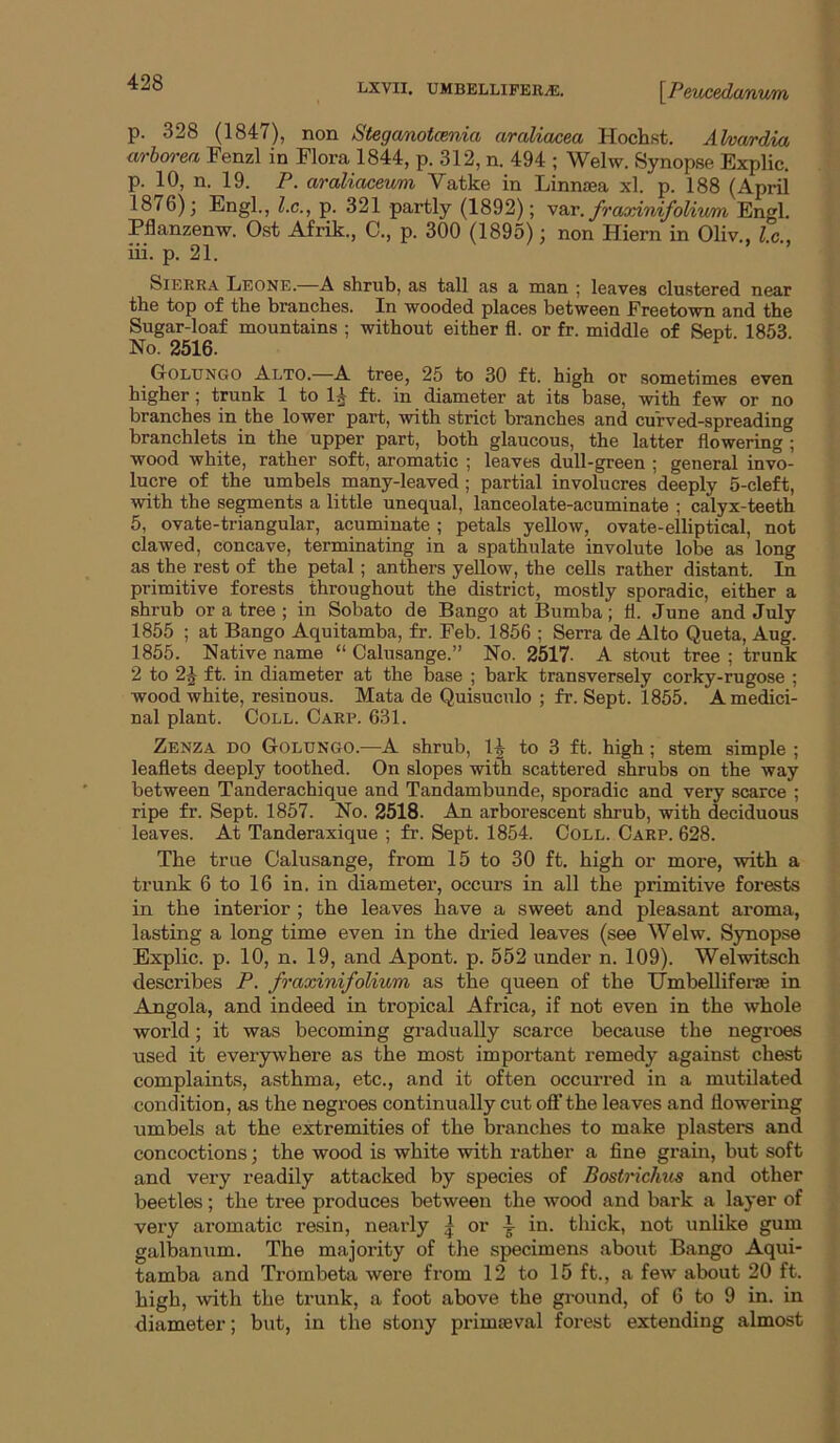p. 328 (1847), non Stegamotcenia araliacea Hoclist. Ahcvrdia arborea Fenzl in Flora 1844, p. 312, n. 494 ; Welw. Synopse Explic. p. 10, n. 19. P. araliaceum Vatke in Linnjea xl. p. 188 (April 1876); Engl., l.c., p. 321 partly (1892); vax. fraxinifolivm Engl. Pflanzenw. Ost Afrik., C., p. 300 (1895); non Hiern in Oliv., l.c., iii. p. 21. Sierra Leone.—A shrub, as tall as a man ; leaves clustered near the top of the branches. In wooded places between Freetown and the Sugar-loaf mountains ; without either fl. or fr. middle of Sent 1853 No. 2516. ■ Golungo Alto.—A tree, 25 to 30 ft. high or sometimes even higher; trunk 1 to I5 ft. in diameter at its base, with few or no branches in the lower part, with strict branches and curved-spreading branchlets in the upper part, both glaucous, the latter flowering ; wood white, rather soft, aromatic ; leaves dull-green ; general invo- lucre of the umbels many-leaved ; partial involucres deeply 5-cleft, with the segments a little unequal, lanceolate-acuminate ; calyx-teeth 5, ovate-triangular, acuminate ; petals yellow, ovate-elliptical, not clawed, concave, terminating in a spathulate involute lobe as long as the rest of the petal; anthers yellow, the ceUs rather distant. In primitive forests throughout the district, mostly sporadic, either a shrub or a tree ; in Sobato de Bango at Bumba ; fl. June and July 1855 ; at Bango Aquitamba, fr. Feb. 1856 ; Serra de Alto Queta, Aug. 1855. Native name “ Calusange.” No. 2517. A stout tree ; trunk 2 to 2^ ft. in diameter at the base ; bark transversely corky-rugose ; wood white, resinous. Mata de Quisuculo ; fr. Sept. 1855. A medici- nal plant. Coll. Carr. 631. Zenza do Golungo.—A shrub, 1^ to 3 ft. high; stem simple ; leaflets deeply toothed. On slopes with scattered shrubs on the way between Tanderachique and Tandambunde, sporadic and very scarce ; ripe fr. Sept. 1857. No. 2518. An arborescent shrub, with deciduous leaves. At Tanderaxique ; fr. Sept. 1854. Coll. Carp. 628. The true Calusange, from 15 to 30 ft. high or more, with a trunk 6 to 16 in. in diameter, occurs in all the primitive forests in the interior; the leaves have a sweet and pleasant aroma, lasting a long time even in the dried leaves (see Welw. Synopse Explic. p. 10, n. 19, and Apont. p. 552 under n. 109). Welwitsch describes P. fraodnifolium as the queen of the Umbelliferse in Angola, and indeed in tropical Africa, if not even in the whole world; it was becoming gradually scarce because the negroes used it everywhere as the most important remedy against chest complaints, asthma, etc., and it often occurred in a mutilated condition, as the negroes continually cut off the leaves and flowering umbels at the extremities of the branches to make plasters and concoctions; the wood is white with rather a fine grain, but soft and very readily attacked by species of Bostriclms and other beetles; the tree produces between the wood and bark a layer of very aromatic resin, nearly | or ^ in. thick, not unlike gum galbanum. The majority of the specimens about Bango Aqui- tamba and Trombeta were from 12 to 15 ft., a few about 20 ft. high, with the trunk, a foot above the ground, of 6 to 9 in. in diameter; but, in the stony primieval forest extending almost