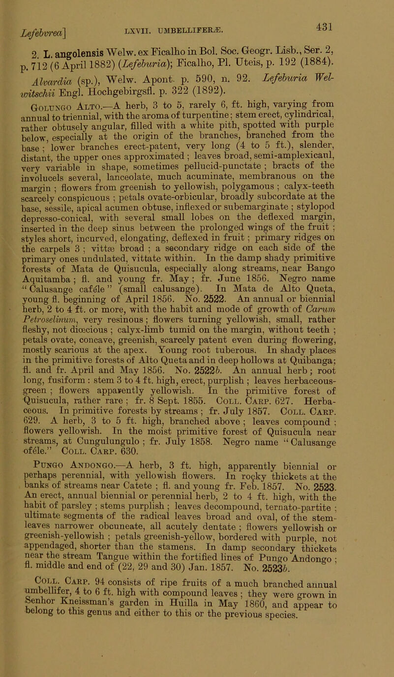 Lefebvrea] 2 L. anffolensis Welw. ex Ficalho in Bol. Soc. Geogr. Lisb., Ser. 2, p. 712 (6 April 1882) {Lefeburia)\ Ficalho, PI. Uteis, p. 192 (1884). Ahardin (sp.), Welw. Apont. p. 590, n. 92. Lefehuria Wei loitschii Engl. Hochgebirgsfl. p. 322 (1892). Goluxgo Alto.—a herb, 3 to 5, rarely 6, ft. high, varying from annual to triennial, with the aroma of turpentine; stem erect, cylindrical, rather obtusely angular, filled with a white pith, spotted with purple below especially at the origin of the branches, branched from the base;’lower branches erect-patent, very long (4 to 5 ft.), slender, distant, the upper ones approximated ; leaves broad, semi-amplexicaul, very variable in shape, sometimes pellucid-punctate ; bracts of the involucels several, lanceolate, much acuminate, membranous on the margin ; flowers from greenish to yellowish, polygamous ; calyx-teeth scarcely conspicuous ; petals ovate-orbicular, broadly subcordate at the base, sessile, apical acumen obtuse, indexed or subemarginate ; stylopod depresso-conical, with several small lobes on the deflexed margin, inserted in the deep sinus between the prolonged wings of the fruit ; styles short, incurved, elongating, deflexed in fruit; primary ridges on the carpels 3 ; vittse broad ; a secondary ridge on each side of the primary ones undulated, vittate within. In the damp shady primitive forests of Mata de Quisucula, especially along streams, near Bango Aquitamba; fl. and young fr. May; fr. June 1856. Negro name “ Oalusange caf^le ” (small calusange). In Mata de Alto Quota, young fl. beginning of April 1856. No. 2522. An annual or biennial herb, 2 to 4 ft. or more, with the habit and mode of growth' of Carum Petroselinum, very resinous; flowers turning yellowish, small, rather fleshy, not dioecious ; calyx-limb tumid on the margin, without teeth ; petals ovate, concave, greenish, scarcely patent even during flowering, mostly scarious at the apex. Young root tuberous. In shady places in the primitive forests of Alto Quetaandin deep hollows at Quibanga; fl. and fr. April and May 1856. No. 2522b. An annual herb; root long, fusiform : stem 3 to 4 ft. high, erect, purplish ; leaves herbaceous- green ; flowers apparently yellowish. In the primitive forest of Quisucula, rather rare ; fr. 8 Sept. 1855. Coll. Carp. 627. Herba- ceous. In primitive forests by streams ; fr. July 1867. Coll. Carp. 629. A herb, 3 to 5 ft. high, branched above ; leaves compound ; flowers yellowish. In the moist primitive forest of Quisucula near streams, at Cungulungulo ; fr. July 1858. Negro name “ Calusange of41e.” Coll. Carp. 630. PuNGO Andongo.—A herb, 3 ft. high, apparently biennial or perhaps perennial, with yellowish flowers. In roqky thickets at the hanks of streams near Catete ; fl. and yovmg fr. Feb. 1857. No. 2523. An erect, annual biennial or perennial herb, 2 to 4 ft. high, with the habit of parsley ; stems purplish ; leaves decompound, ternato-partite ; ultimate segments of the radical leaves broad and oval, of the stem- leaves narrower obcuneate, all acutely dentate ; flowers yellowish or greenish-yellowish ; petals greenish-yellow, bordered with purple, not appendaged, shorter than the stamens. In damp secondary thickets near the stream Tangue within the fortified lines of Pungo Andongo • fl. middle and end of (22, 29 and 30) Jan. 1857. No. 25235. ’ Coll Carp. 94 consists of ripe fruits of a much branched annual V 6 ff• high with compound leaves ; they were gro'wn in benhor Kneissman’s garden in Huilla in May 1860, and appear to belong to this genus and either to this or the previous species.