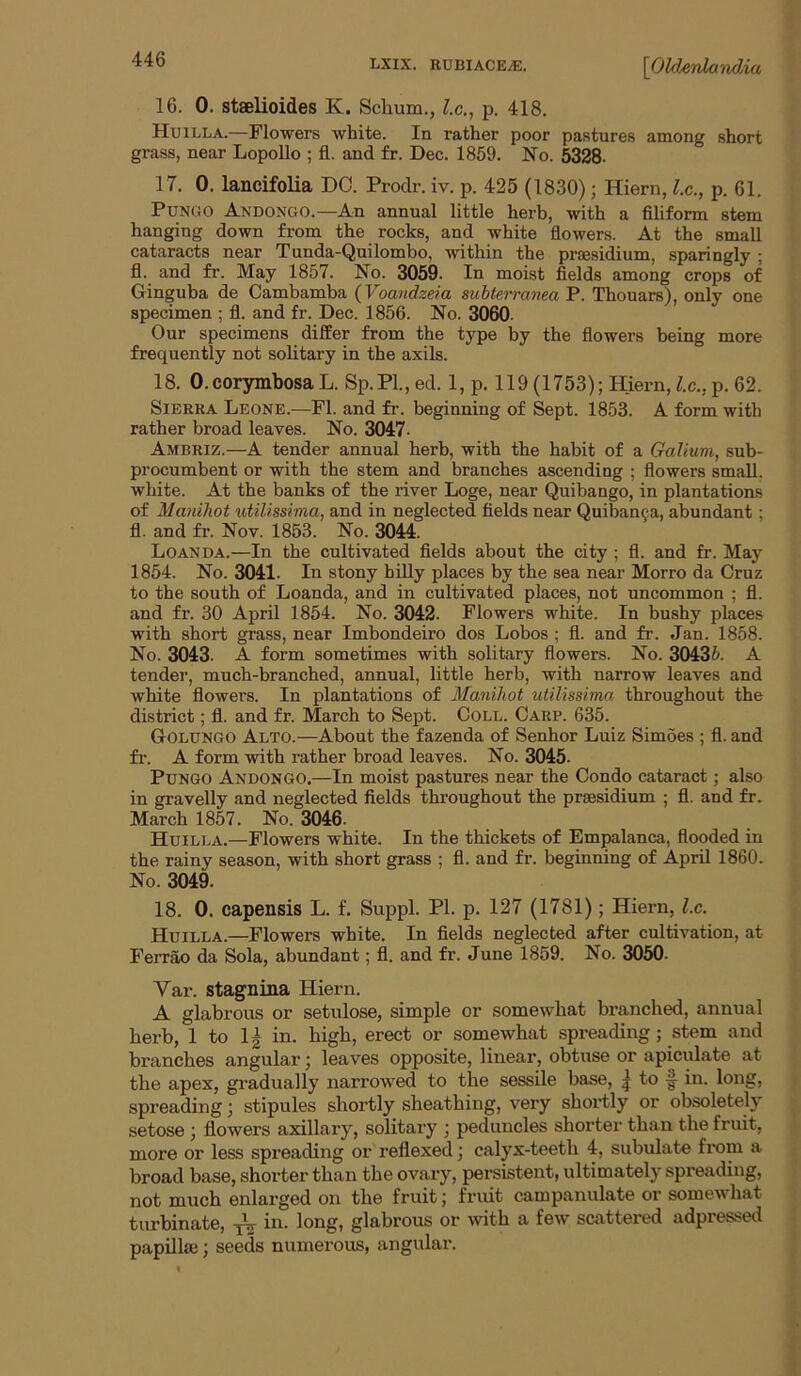 16. 0. staelioides K. Schum., l.c., p. 418. Huilla.—Flowers white. In rather poor pastures among short grass, near Lopollo ; fl. and fr. Dec. 1859. No. 5328. 17. 0. lancifolia DC. Prodr. iv. p. 425 (1830); Hiern, l.c., p. 61. PuNGO Andongo.—An annual little herb, with a filiform stem hanging down from the rocks, and white flowers. At the small cataracts near Tunda-Quilombo, within the praesidium, sparingly ; fl. and fr. May 1857. No. 3059. In moist fields among crops of Ginguba de Cambamba {Voandzeia subterranea P. Thouars), only one specimen ; fl. and fr. Dec. 1856. No. 3060. Our specimens differ from the type by the flowers being more frequently not solitary in the axils. 18. O.corymbosaL. Sp.Pl.,ed. 1, p. 119 (1753); Hiern, 7c., p. 62. Sierra Leone.—Fl. and fr. beginning of Sept. 1853. A form with rather broad leaves. No. 3047- Ambriz.—A tender annual herb, with the habit of a Galium, sub- procumbent or with the stem and branches ascending ; flowers small, white. At the banks of the river Loge, near Quibango, in plantations of Manihot utilissima, and in neglected fields near Quiban^a, abundant; fl. and fr. Nov. 1853. No. 3044. Loan DA.—In the cultivated flelds about the city ; fl. and fr. May 1854. No. 3041. In stony hiUy places by the sea near Morro da Cruz to the south of Loanda, and in cultivated places, not uncommon ; fl. and fr. 30 April 1854. No. 3042. Flowers white. In bushy places with short grass, near Imbondeiro dos Lobos ; fl. and fr. Jan. 1858. No. 3043. A form sometimes with solitary flowers. No. 3043^. A tender, much-branched, annual, little herb, with narrow leaves and white flowers. In plantations of Manihot utilissima throughout the district; fl. and fr. March to Sept. Coll. Carp. 635. Golungo Alto.—About the fazenda of Senhor Luiz Simoes ; fl. and fr. A form with rather broad leaves. No. 3045. PuNGO Andongo.—In moist pastures near the Condo cataract; also in gravelly and neglected fields throughout the praesidium ; fl. and fr. March 1857. No. 3046. Huilla.—Flowers white. In the thickets of Empalanca, flooded in the rainy season, with short grass ; fl. and fr. beginning of April 1860. No. 3049. 18. 0. eapensis L. f. Suppl. PI. p. 127 (1781); Hiern, l.c. Huilla.—Flowers white. In fields neglected after cultivation, at Ferrao da Sola, abundant; fl. and fr. June 1859. No. 3050. Var. stagnina Hiern. A glabrous or setulose, simple or somewhat branched, annual herb, 1 to 1| in. high, erect or somewhat spreading; stem and branches angular; leaves opposite, linear, obtuse or apiculate at the apex, gradually narrowed to the sessile base, | to in. long, spreading; stipules shortly sheathing, very shortly or obsoletely setose; flowers axillary, solitary j peduncles shorter than the fruit, more or less spreading or reflexed; calyx-teeth 4, subulate from a broad base, shoi’ter than the ovary, persistent, ultimately spreading, not much enlarged on the fruit; fruit campanulate or somewhat tirrbinate, in. long, glabrous or with a few scattered adpressed papillse; seeds numerous, angular.