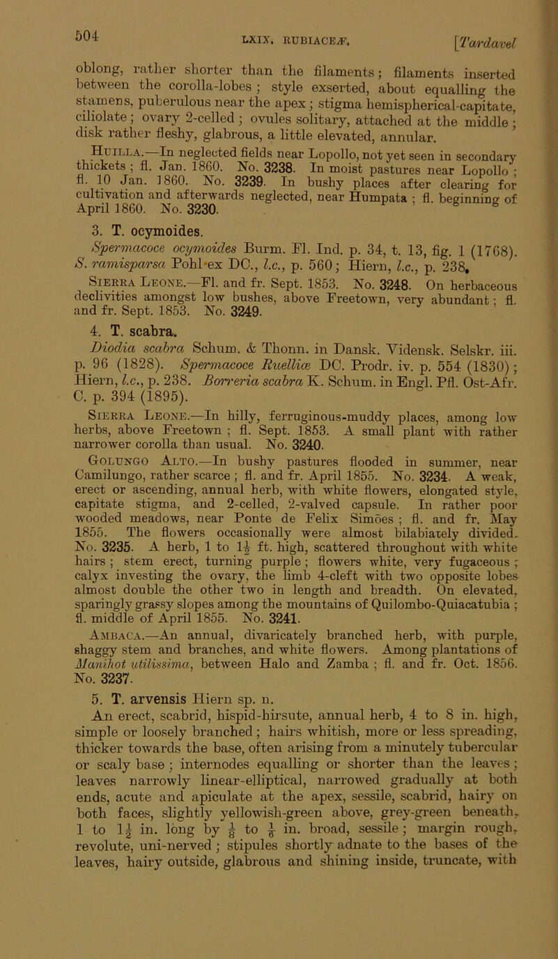 LXIX. RUBIACEyF. Yt-'curdavd oblong, rather shorter than the filaments; filaments inserted between the corolla-lobes ; style exserted, about equalling the stamens, puberulous near the apex; stigma hemispherical-capitate, ciliolate; ovary 2-celled ; ovules solitary, attached at the middle • disk rather fleshy, glabrous, a little elevated, annular. Htjilla. In neglected fields near Lopollo, not yet seen in secondary thickets ; fl. Jan. 1860. No. 3238. In moist pastures near Lopollo ; n. 10 Jan. I860. No. 3239. In bushy places after clearing for cultivation and afterwards neglected, near Sumpata ; fl. beginninsr of April 1860. No. 3230. r , e s 3. T. ocymoides. Spermacoce ocymoides Burm. PI. Ind. p. 34, t. 13, fig. 1 (17G8). S. ramisparsa Pohl-ex DC., l.c., p. 560; Hiern, l.c., p. 238, Sierra Leone.—Fl. and fr. Sept. 1853. No. 3248. On herbaceous declivities amongst low bushes, above Freetown, very abundant • fl and fr. Sept. 1853. No. 3249. 4. T. scabra. Diodia scabra Schum. & Thonn. in Dansk. Vidensk. Selskr. iii. p. 96 (1828). Spermacoce Ruellice DC. Prodr. iv. p. 554 (1830); Hiern, l.c., p. 238. Bo^'i'eria scabra K. Schum. in Engl. Pfl. Ost-Afr. C. p. 394 (1895). Sierra Leone.—In hilly, ferruginous-muddy places, among low herbs, above Freetown ; fl. Sept. 1853. A small plant with rather narrower corolla than usual. No. 3240. Golungo Alto.—In bushy pastures flooded in summer, near Camilungo, rather scarce ; fl. and fr. April 1855. No. 3234. A weak, erect or ascending, annual herb, with white flowers, elongated style, capitate stigma, and 2-celled, 2-valved capsule. In rather poor wooded meadows, near Ponte de Felix Simoes ; fl. and fr. May 1855. The flowers occasionally were almost bilabiarely divided. No. 3235. A herb, 1 to 1^ ft. high, scattered throughout with white hairs ; stem erect, turning purple ; flowers white, very fugaceous ; calyx investing the ovary, the limb 4-cleft with two opposite lobes almost double the other two in length and breadth. On elevated, sparingly grassy slopes among the mountains of Quilombo-Quiacatubia ; fl. middle of April 1855. No. 3241. Ambaca.—An annual, divaricately branched herb, with purple, shaggy stem and branches, and white flowers. Among plantations of Manihot utilissima, between Halo and Zamba ; fl. and fr. Oct. 1856. No. 3237. 5. T. arvensis Hiern sp. n. An erect, scabricl, hispid-hirsute, annual herb, 4 to 8 in. high, simple or loosely branched; hairs whitish, more or less spreading, thicker towards the base, often arising from a minutely tubercular or scaly base; internodes equalling or shorter than the leaves; leaves narrowly linear-elliptical, narrowed gradually at both ends, acute and apiculate at the apex, sessile, scabrid, hairy on both faces, slightly yellowish-green above, grey-green beneath, 1 to 1| in. long by § to ^ in. broad, sessile; margin rough, revolute, uni-nerved ; stipules shortly adnate to the bases of the leaves, hairy outside, glabrous and shining inside, truncate, with