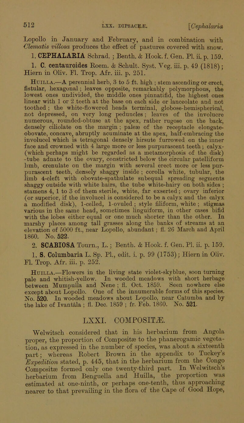 LXX. DIPSACEA5. [Cephalaria Lopollo in January and February, and in combination with Clematis villosa produces the effect of pastures covered with snow. 1. CEPHALARIA Schrad. ; Benth. & Hook. f. Gen. PI. ii. p. 159. 1. C. centauroides Roem. & Schult. Syst. Veg. iii. p. 49 (1818) ; Hiern in Oliv. FI. Trop. Afr. iii. p. 251. Huilla.—A perennial herb, 3 to 5 ft. high ; stem ascending or erect, fistular, hexagonal; leaves opposite, remarkably polymorphous, the lowest ones undivided, the middle ones pinnatifid, the highest ones linear with 1 or 2 teeth at the base on each side or lanceolate and not toothed ; the white-flowered heads terminal, globose-hemispherical, not depressed, on very long peduncles; leaves of the involucre numerous, rounded-obtuse at the apex, rather rugose on the back, densely ciliolate on the margin ; paleae of the receptacle elongate- obovate, concave, abruptly acuminate at the apex, half-embracing the involucel which is tetragonal densely hirsute furrowed on the inner face and crowned with 4 large more or less purpurascent teeth; calyx- (which perhaps might be regarded as a metamorphosis of the disk) -tube adnate to the ovary, constricted below the circular patelliform limb, crenulate on the margin with several erect more or less pur- purascent teeth, densely shaggy inside ; corolla white, tubular, the limb 4-cleft with obovate-spathulate subequal spreading segments shaggy outside with white hairs, the tube white-hairy on both sides ; stamens 4, 1 to 3 of them sterile, white, far exserted; ovary inferior (or superior, if the involucel is considered to be a calyx and the calyx a modified disk), 1-celled, 1-ovuled ; style filiform, white ; stigmas various in the same head, sometimes linguiform, in other cases bifid with the lobes either equal or one much shorter than the other. In marshy places among tall grasses along the banks of streams at an elevation of 5000 ft., near Lopollo, abundant ; fl. 26 March and April 1860. No. 522. 2. SCABIOSA Tourn., L.; Benth. & Hook. f. Gen. PI. ii. p. 159. 1. S. Columbaria L. Sp. PI., edit. i. p. 99 (1753); Hiern in Oliv. Fl. Trop. Afr. iii. p. 252. Huilla.—Flowers in the living state violet-slryblue, soon turning pale and whitish-yellow. In wooded meadows with short herbage between Mumpulla and Nene ; fl. Oct. 1859. Seen nowhere else except about Lopollo. One of the innumerable forms of this species. No. 520. In wooded meadows about Lopollo, near Catumba and by the lake of Ivantala ; fl. Dec. 1859 ; fr. Feb. 1860. No. 521. LXXI. COMPOSITE. Welwitsch considered that in his herbarium from Angola proper, the proportion of Composite to the phanerogamic vegeta- tion, as expressed in the number of species, was about a sixteenth part; whereas Robert Brown in the appendix to Tuckey’s Expedition stated, p. 445, that in the herbarium from the Congo Composite formed only one twenty-third part. In Welwitsch’s herbarium from Benguella and Huilla, the proportion was estimated at one-ninth, or perhaps one-tenth, thus approaching nearer to that prevailing in the flora of the Cape of Good Hope,