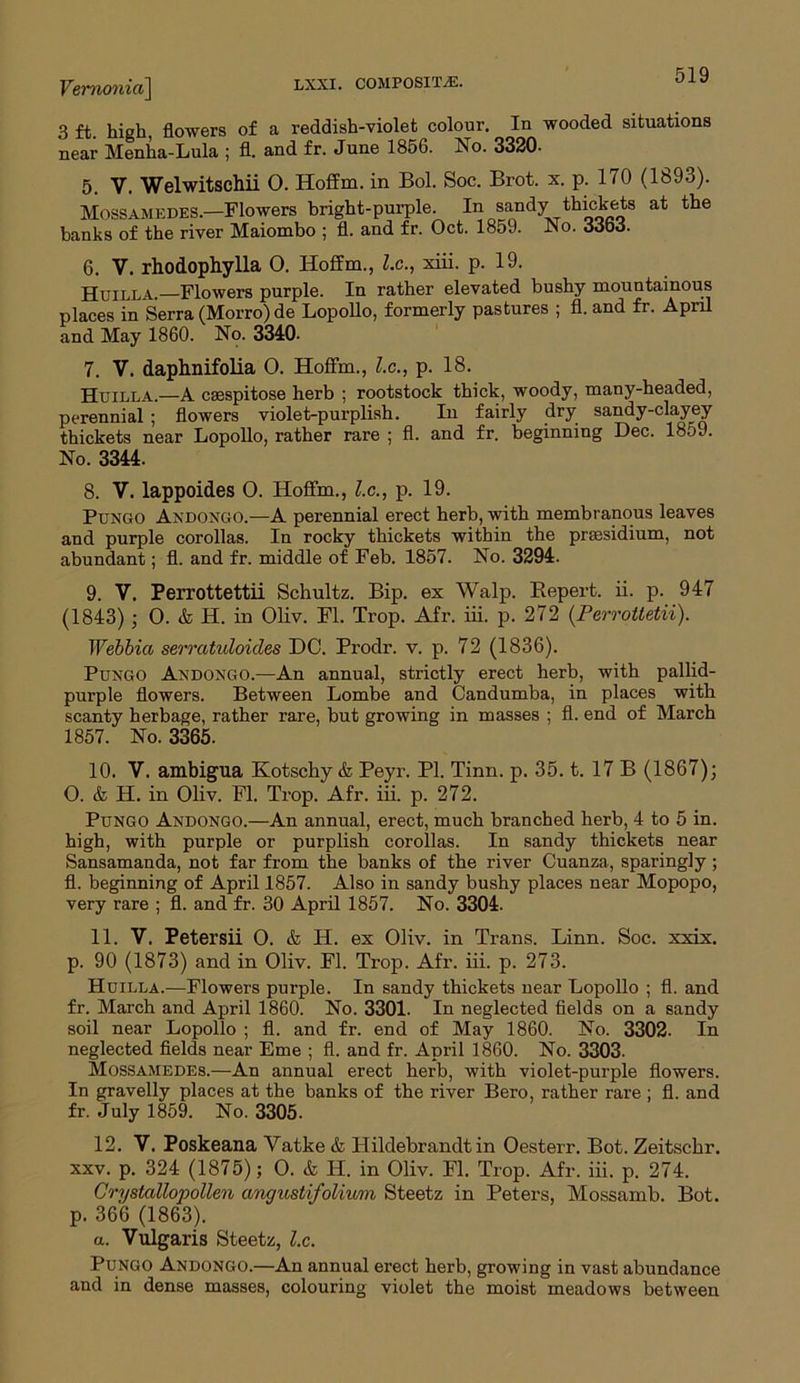 3 ft. high, flowers of a reddish-violet colour. In wooded situations near Menha-Lula ; fl. and fr. June 1856. No. 3320. 5. V. Welwitschii O. Hoffm. in Bol. Soc. Brot. x. p. 170 (1893). Mossamedes.—Flowers bright-purple. In sandythickets at the banks of the river Maiombo ; fl. and fr. Oct. 1859. No. 33b3. 6. V. rhodophylla 0. Hoffm., l.c., xiii. p. 19. Huilla.—Flowers purple. In rather elevated bushy mountainous places in Serra (Morro) de Lopollo, formerly pastures ; fl. and fr. April and May 1860. No. 3310. 7. V. daphnifolia O. Hoffm., l.c., p. 18. Huilla.—A caespitose herb ; rootstock thick, woody, many-headed, perennial ; flowers violet-purplish. In fairly dry sandy-clayey thickets near Lopollo, rather rare ; fl. and fr. beginning Dec. 1859. No. 3311. 8. V. lappoides O. Hoffm., l.c., p. 19. Pungo Andongo.—A perennial erect herb, with membranous leaves and purple corollas. In rocky thickets within the praesidium, not abundant; fl. and fr. middle of Feb. 1857. No. 3291. 9. V. Perrottettii Schultz. Bip. ex Walp. Repert. ii. p. 917 (1813); 0. & H. in Oliv. Fl. Trop. Afr. iii. p. 272 (Perrotletii). Webbia serratuloides DC. Prodr. v. p. 72 (1836). Puxgo Andongo.—An annual, strictly erect herb, with pallid- purple flowers. Between Lombe and Candumba, in places with scanty herbage, rather rare, but growing in masses ; fl. end of March 1857. No. 3365. 10. V. ambigua Kotschy & Peyr. PI. Tinn. p. 35. t. 17 B (1867); O. & H. in Oliv. Fl. Trop. Afr. iii. p. 272. Pungo Andongo.—An annual, erect, much branched herb, 4 to 5 in. high, with purple or purplish corollas. In sandy thickets near Sansamanda, not far from the banks of the river Cuanza, sparingly ; fl. beginning of April 1857. Also in sandy bushy places near Mopopo, very rare ; fl. and fr. 30 April 1857. No. 3304. 11. V. Petersii O. & H. ex Oliv. in Trans. Linn. Soc. xxix. p. 90 (1873) and in Oliv. Fl. Trop. Afr. iii. p. 273. Huilla.—Flowers purple. In sandy thickets near Lopollo ; fl. and fr. March and April 1860. No. 3301. In neglected fields on a sandy soil near Lopollo ; fl. and fr. end of May 1860. No. 3302. In neglected fields near Eme ; fl. and fr. April 1860. No. 3303. Mossamedes.—An annual erect herb, with violet-purple flowers. In gravelly places at the banks of the river Bero, rather rare ; fl. and fr. July 1859. No. 3305. 12. V. Poskeana Vatke & Hildebrandt in Oesterr. Bot. Zeitsckr. xxv. p. 324 (1875); O. & H. in Oliv. Fl. Trop. Afr. iii. p. 274. Crystallopollen angustifolium Steetz in Peters, Mossamb. Bot. p. 366 (1863). a. Vulgaris Steetz, l.c. Pungo Andongo.—An annual erect herb, growing in vast abundance and in dense masses, colouring violet the moist meadows between