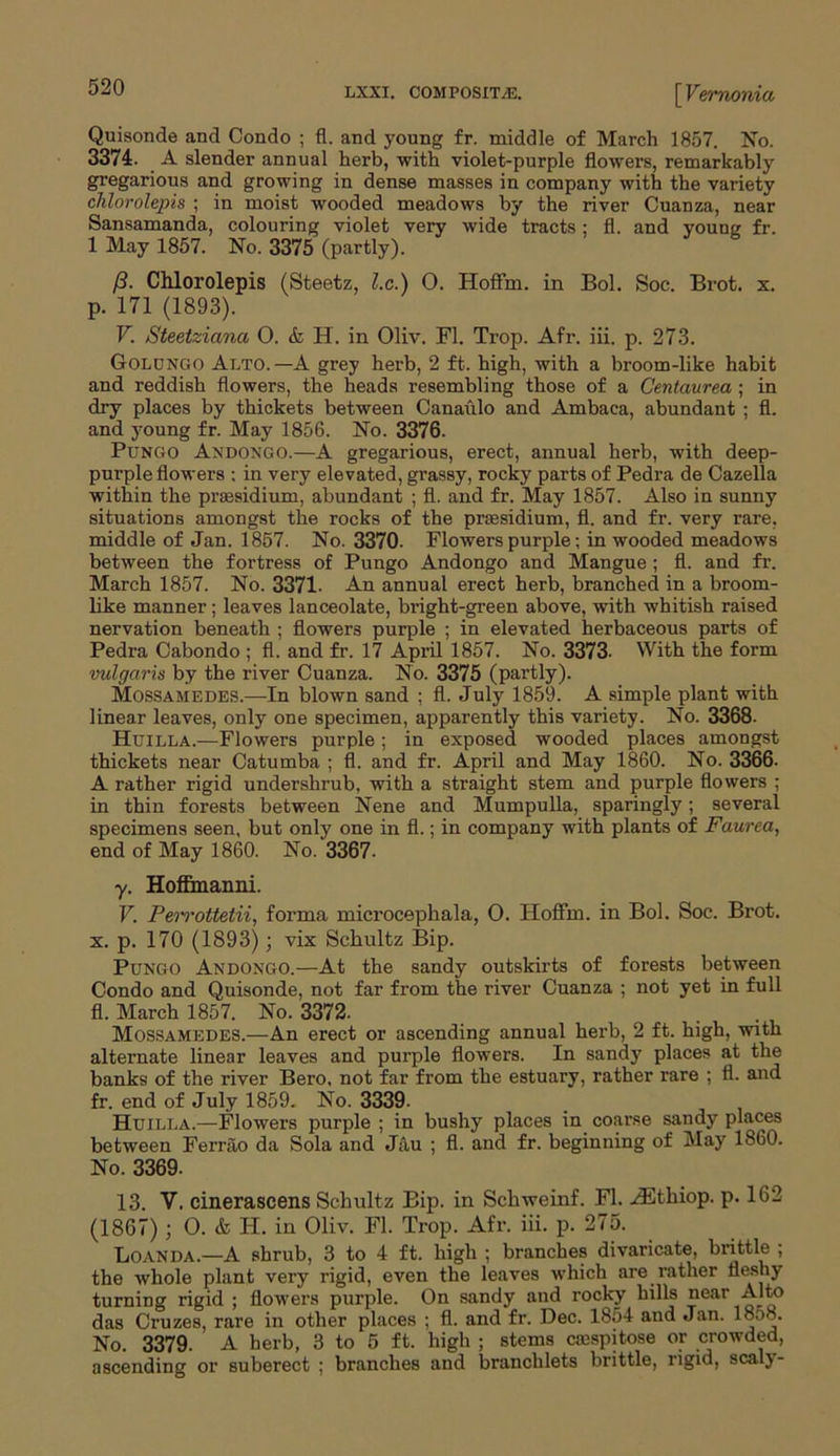 Quisonde and Condo ; fl. and young fr. middle of March 1857. No. 3374. A slender annual herb, with violet-purple flowers, remarkably gregarious and growing in dense masses in company with the variety chlorolepis ; in moist wooded meadows by the river Cuanza, near Sansamanda, colouring violet very wide tracts; fl. and young fr. 1 May 1857. No. 3375 (partly). /3. Chlorolepis (Steetz, £.c.) O. Hoffm. in Bol. Soc. Brot. x. p. 171 (1893). V. Steetziana 0. & H. in Oliv. Fl. Trop. Afr. iii. p. 273. Golongo Alto.—A grey herb, 2 ft. high, with a broom-like habit and reddish flowers, the heads resembling those of a Centaurea; in dry places by thickets between Canaulo and Ambaca, abundant ; fl. and young fr. May 1856. No. 3376. Pungo ANDONGO.—A gregarious, erect, annual herb, with deep- purple flowers : in very elevated, grassy, rocky parts of Pedra de Cazella within the presidium, abundant ; fl. and fr. May 1857. Also in sunny situations amongst the rocks of the prsesidium, fl. and fr. very rare, middle of Jan. 1857. No. 3370- Flowers purple; in wooded meadows between the fortress of Pungo Andongo and Mangue ; fl. and fr. March 1857. No. 3371- An annual erect herb, branched in a broom- like manner; leaves lanceolate, bright-green above, with whitish raised nervation beneath ; flowers purple ; in elevated herbaceous parts of Pedra Cabondo ; fl. and fr. 17 April 1857. No. 3373. With the form vulgaris by the river Cuanza. No. 3375 (partly). Mossamedes.—In blown sand ; fl. July 1859. A simple plant with linear leaves, only one specimen, apparently this variety. No. 3368- Huilla.—Flowers purple; in exposed wooded places amongst thickets near Catumba ; fl. and fr. April and May 1860. No. 3366. A rather rigid undershrub, with a straight stem and purple flowers ; in thin forests between Nene and Mumpulla, sparingly; several specimens seen, but only one in fl.; in company with plants of Faurea, end of May 1860. No. 3367. y. Hoffinanni. V. Perrottetii, forma microcephala, O. IiofFrn. in Bol. Soc. Brot. x. p. 170 (1893); vix Schultz Bip. Pungo Andongo.—At the sandy outskirts of forests between Condo and Quisonde, not far from the river Cuanza ; not yet in full fl. March 1857. No. 3372. . Mossamedes.—An erect or ascending annual herb, 2 ft. high, with alternate linear leaves and purple flowers. In sandy places at the banks of the river Bero, not far from the estuary, rather rare ; fl. and fr. end of July 1859. No. 3339- Huilla.—Flowers purple ; in bushy places in coarse sandy places between Ferrao da Sola and Jfiu ; fl. and fr. beginning of May 1860. No. 3369. 13. V. cinerascens Schultz Bip. in Schweinf. Fl. HSthiop. p. 162 (1867); O. & H. in Oliv. Fl. Trop. Afr. iii. p. 275. Loanda.—A shrub, 3 to 4 ft. high ; branches divaricate, brittle ; the whole plant very rigid, even the leaves which are rather fleshy turning rigid ; flowers purple. On sandy and rocky hills near Alto das Cruzes, rare in other places ; fl. and fr. Dec. 1854 and Jan. 1858. No. 3379. A herb, 3 to 5 ft. high ; stems ca:spitose or crowded, ascending or suberect ; branches and branchlets brittle, rigid, scaly-