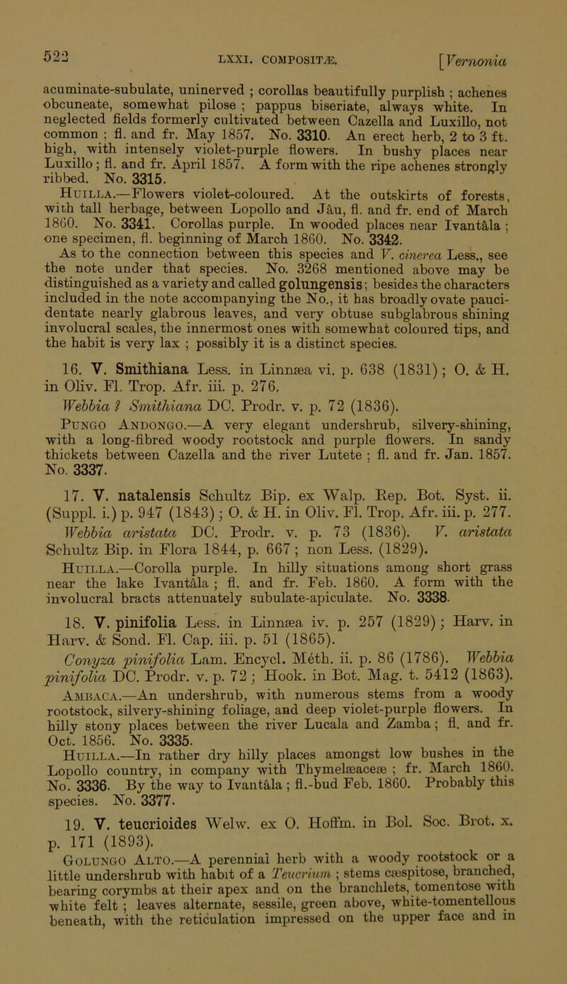 ernonia acuminate-subulate, uninerved ; corollas beautifully purplish ; achenes obcuneate, somewhat pilose ; pappus biseriate, always white. In neglected fields formerly cultivated between Cazella and Luxillo, not common ; fl. and fr. May 1857. No. 3310- An erect herb, 2 to 3 ft. high, with intensely violet-purple flowers. In bushy places near Luxillo; fl. and fr. April 1857. A form with the ripe achenes strongly ribbed. No. 3315. Huilla.—Flowers violet-coloured. At the outskirts of forests, with tall herbage, between Lopollo and Jau, fl. and fr. end of March 18G0. No. 3341. Corollas purple. In wooded places near Ivant&la ; one specimen, fl. beginning of March I860. No. 3342. As to the connection between this species and V. cinerea Less., see the note under that species. No. 3268 mentioned above may be distinguished as a variety and called golungensis; besides the characters included in the note accompanying the No., it has broadly ovate pauci- dentate nearly glabrous leaves, and very obtuse subglabrous shining involucral scales, the innermost ones with somewhat coloured tips, and the habit is very lax ; possibly it is a distinct species. 16. V. Smithiana Less, in Linnrea vi. p. 638 (1831); 0. & H. in Oliv. Fl. Trop. Afr. iii. p. 276. Webbia 1 Smithiana DC. Prodr. v. p. 72 (1836). PuNGO Andongo.—A very elegant undershrub, silvery-shining, with a long-fibred woody rootstock and purple flowers. In sandy thickets between Cazella and the river Lutete ; fl. and fr. Jan. 1857. No. 3337. 17. V. natalensis Schultz Bip. ex Walp. Rep. Bot. Syst. ii. (Suppl. i.) p. 947 (1843); O. & H. in Oliv. Fl. Trop. Afr. iii. p. 277. Webbia aristata DC. Prodr. v. p. 73 (1836). V. aristata Schultz Bip. in Flora 1844, p. 667 ; non Less. (1829). Huilla.—Corolla purple. In hilly situations among short grass near the lake Ivautala ; fl. and fr. Feb. 1860. A form with the involucral bracts attenuately subulate-apiculate. No. 3338. 18. V. pinifolia Less, in Linnsea iv. p. 257 (1829); Harv. in Harv. & Sond. Fl. Cap. iii. p. 51 (1865). Conyza pinifolia Lam. Encycl. Meth. ii. p. 86 (1786). Webbia pinifolia DC. Prodr. v. p. 72; Hook, in Bot. Mag. t. 5412 (1863). Ambaca.—An undershrub, with numerous stems from a woody rootstock, silvery-shining foliage, and deep violet-purple flowers. In hilly stony places between the river Lucala and Zamba; fl. and fr. Oct. 1856. No. 3335. Huilla.—In rather dry hilly places amongst low bushes in the Lopollo country, in company with Thymelasaceae ; fr. March 1860. No. 3336. By the way to Ivantala; fl.-bud Feb. 1860. Probably this species. No. 3377. 19. V. teucrioides Welw. ex O. Hofiin. in Bol. Soc. Brot. x. p. 171 (1893). Golungo Alto.—A perennial herb with a woody rootstock or a little undershrub with habit of a Teucrium ; stems cmspitose, branched, bearing corymbs at their apex and on the branclilets, tomentose with white felt ; leaves alternate, sessile, green above, white-tomentellous beneath, with the reticulation impressed on the upper face and in