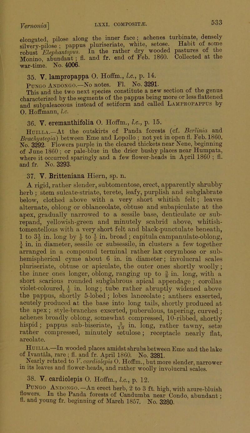 elongated, pilose along the inner face ; achenes turbinate, densely silvery-pilose ; pappus pluriseriate, white, setose. Habit of some robust Elephantopvs. In the rather dry wooded pastures of the Monino, abundant ; fl. and fr. end of Feb. 1860. Collected at the war-time. No. 4006. 35. V. lampropappa 0. Hoffm., l.c., p. 14. Pungo Andongo.—No notes. Fl. No. 3291. This and the two next species constitute a new section of the genus characterized by the segments of the pappus being more or less flattened and subpaleaceous instead of setiform and called Lampropappus by 0. Hoffmann, l.c. 36. V. eremanthifolia O. Hoffm., l.c., p. 15. Huilla.—At the outskirts of Panda forests (cf. Berlinia and Brachystegia) between Erne and Lopollo ; not yet in open fl. Feb. 1860. No. 3292. Flowers purple in the cleared thickets near Nene, beginning of June 1860 ; or pale-blue in the drier bushy places near Humpata, where it occurred sparingly and a few flower-heads in April 1860 ; fl. and fr. No. 3293. 37. V. Britteniana Hiern, sp. n. A rigid, rather slender, subtomentose, erect, apparently shrubby herb ; stem sulcate-striate, terete, leafy, purplish and subglabrate below, clothed above with a very short whitish felt; leaves alternate, oblong or oblanceolate, obtuse and subapiculate at the apex, gradually narrowed to a sessile base, denticulate or sub- repand, yellowish-green and minutely scabrid above, whitish- tomentellous with a very short felt and black-punctulate beneath, 1 to 3|- in. long by ^ to in. broad; capitula campanulate-oblong, i in. in diameter, sessile or subsessile, in clusters a few together arranged in a compound terminal rather lax corymbose or sub- hemispherical cyme about 6 in. in diameter; involucral scales pluriseriate, obtuse or apiculate, the outer ones shortly woolly; the inner ones longer, oblong, ranging up to f- in. long, with a short scarious rounded subglabrous apical appendage; corollas violet-coloured, in. long; tube rather abruptly widened above the pappus, shortly 5-lobed; lobes lanceolate ; anthers exserted, acutely produced at the base into long tails, shortly produced at the apex; style-branches exserted, puberulous, tapering, curved; achenes broadly oblong, somewhat compressed, 10-ribbed, shortly hispid; pappus sub-biseriate, ^ in. long, rather tawny, setse rather compressed, minutely setulose; receptacle nearly fiat, areolate. Huilla.—In wooded places amidst shrubs between Erne and the lake of Ivantala, rare ; fl. and fr. April 1860. No. 3281. Nearly related to V. cardiolepis O. Hoffm., but more slender, narrower in its leaves and flower-heads, and rather woolly involucral scales. 38. V. cardiolepis O. Hoffm., l.c., p. 12. Pungo Andongo.—An erect herb, 2 to 3 ft. high, with azure-bluish flowers. In the Panda forests of Candumba near Condo, abundant; fl. and young fr. beginning of March 1857. No. 3280-