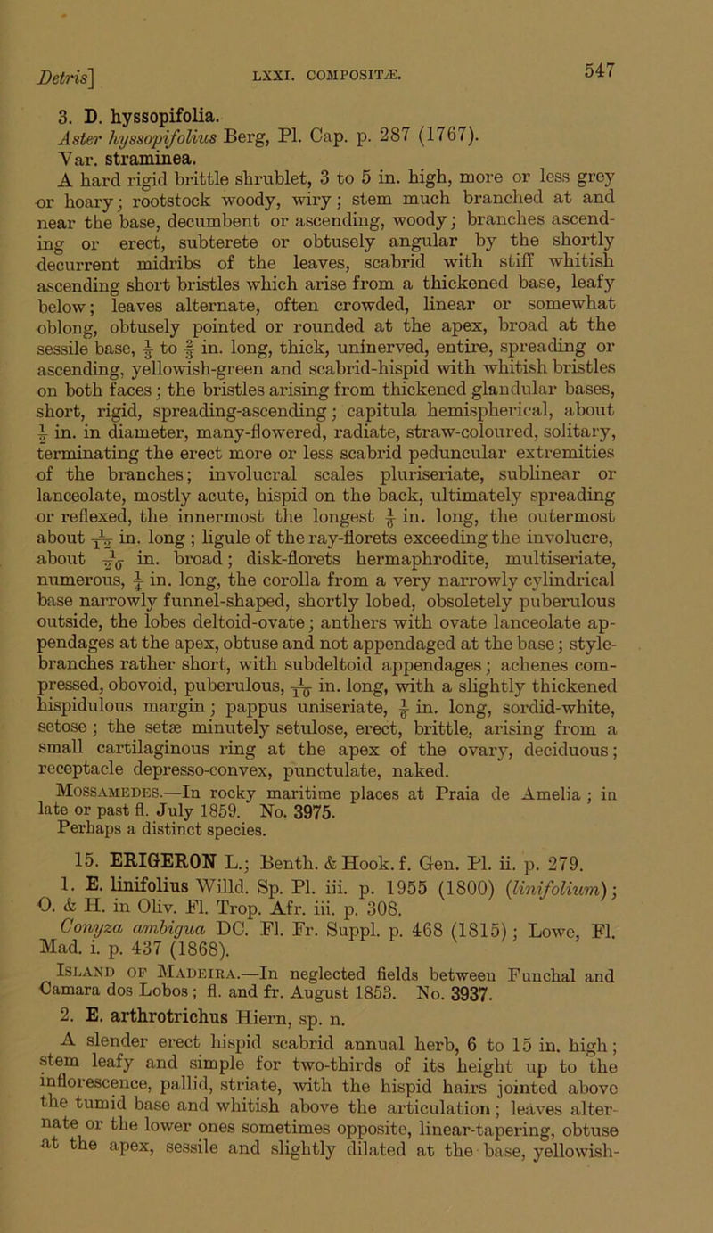 3. D. hyssopifolia. Aster hyssopifolius Berg, PL Cap. p. 287 (1767). ~Var. straminea. A hard rigid brittle shrublet, 3 to 5 in. high, more or less grey or hoary; rootstock woody, wiry; stem much branched at and near the base, decumbent or ascending, woody; branches ascend- ing or erect, subterete or obtusely angular by the shortly decurrent midribs of the leaves, scabrid with stiff whitish ascending short bristles which arise from a thickened base, leafy below; leaves alternate, often crowded, linear or somewhat oblong, obtusely pointed or rounded at the apex, broad at the sessile base, ^ to § in. long, thick, uninerved, entire, spreading or ascending, yellowish-green and scabrid-hispid with whitish bristles on both faces; the bristles arising from thickened glandular bases, short, rigid, spreading-ascending; capitula hemispherical, about L in. in diametei’, many-flowered, radiate, straw-coloured, solitary, terminating the erect more or less scabrid peduncular extremities of the branches; involucral scales pluriseriate, sublinear or lanceolate, mostly acute, hispid on the back, ultimately spreading or reflexed, the innermost the longest J in. long, the outermost about jtf in. long ; ligule of the ray-florets exceeding the involucre, about A(y in. broad; disk-florets hermaphrodite, multiseriate, numerous, J in. long, the corolla from a very narrowly cylindrical base narrowly funnel-shaped, shortly lobed, obsoletely puberulous outside, the lobes deltoid-ovate; anthers with ovate lanceolate ap- pendages at the apex, obtuse and not appendaged at the base; style- branches rather short, with subdeltoid appendages; achenes com- pressed, obovoid, puberulous, yC- in. long, with a slightly thickened hispidulous margin; pappus uniseriate, i in. long, sordid-white, setose; the setae minutely setulose, erect, brittle, arising from a small cartilaginous ring at the apex of the ovary, deciduous; receptacle depresso-convex, punctulate, naked. Mossamedes.—In rocky maritime places at Praia de Amelia ; in late or past fl. July 1859. No. 3975. Perhaps a distinct species. 15. ERIGERON L.; Benth. & Hook, f. Gen. PL ii. p. 279. 1. E. linifolius Willd. Sp. Pl. iii. p. 1955 (1800) (linifolium) : O. & H. in Oliv. Fl. Trop. Afr. iii. p. 308. Conyza cimbigua DC. FL Fr. Suppl. p. 468 (1815); Lowe, FL Mad. i. p. 437 (1868). Island of Madeira.—In neglected fields between Funchal and Camara dos Lobos ; fl. and fr. August 1853. No. 3937. 2. E. arthrotrichus Hiern, sp. n. A slender erect hispid scabrid annual herb, 6 to 15 in. high; stem leafy and simple for two-thirds of its height up to the inflorescence, pallid, striate, with the hispid hairs jointed above the tumid base and whitish above the articulation; leaves alter- nate or the lower ones sometimes opposite, linear-tapering, obtuse at the apex, sessile and slightly dilated at the base, yellowish-