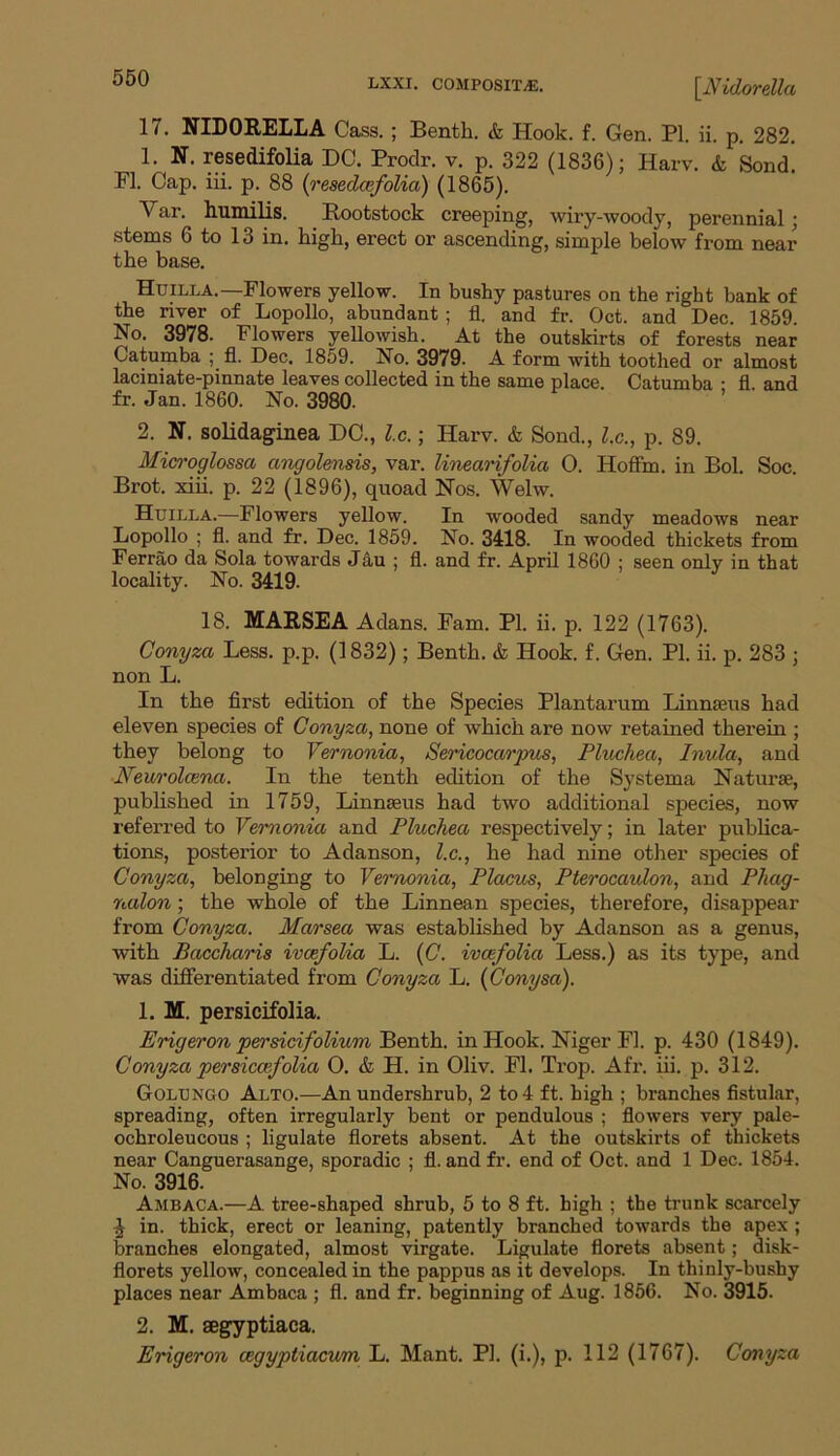 you lxxi. composite. [Nidorella 17. NIDORELLA Cass. ; Benth. & Hook, f. Gen. PI. ii. p. 282. 1. N. resedifolia DC. Prodr. v. p. 322 (1836); Harv. & Sond. PI. Cap. iii. p. 88 (resedcefolia) (1865). Var. humilis. Rootstock creeping, wiry-woody, perennial; stems 6 to 13 in. high, erect or ascending, simple below from near the base. Huilla.—Flowers yellow. In bushy pastures on the right bank of the river of Lopollo, abundant ; fl. and fr. Oct. and Dec. 1859. No. 3978. Flowers yellowish. At the outskirts of forests near Catumba ; fl. Dec. 1859. No. 3979. A form with toothed or almost laciniate-pinnate leaves collected in the same place. Catumba • fl and fr. Jan. 1860. No. 3980. 2. N. solidaginea DC., l.c.; Harv. & Sond., l.c., p. 89. Microglossa angolensis, var. linearifoUa 0. Hoffm. in Bol. Soc. Brot. xiii. p. 22 (1896), quoad Nos. Welw. Huilla.—Flowers yellow. In wooded sandy meadows near Lopollo ; fl. and fr. Dec. 1859. No. 3418. In wooded thickets from Ferrao da Sola towards Jau ; fl. and fr. April 1860 ; seen only in that locality. No. 3419. 18. MARSEA Adans. Fam. PI. ii. p. 122 (1763). Conyza Less. p.p. (1832); Benth. & Hook. f. Gen. PI. ii. p. 283 ; non L. In the first edition of the Species Plantarum Linmeus had eleven species of Conyza, none of which are now retained therein ; they belong to Vernonia, Sericocarpus, Pluchea, Inula, and Neurolcena. In the tenth edition of the Systema Naturae, published in 1759, Linnaeus had two additional species, now referred to Vernonia and Pluchea respectively; in later publica- tions, posterior to Adanson, l.c., he had nine other species of Conyza, belonging to Vernonia, Placus, Pterocaulon, and Pliag- nalon; the whole of the Linnean species, therefore, disappear from Conyza. Marsea was established by Adanson as a genus, with Baccharis ivcefolia L. (C. ivcefolia Less.) as its type, and was differentiated from Conyza L. (Conysa). 1. M. persicifolia. Erigeron persicifolium Benth. in Hook. Niger PI. p. 430 (1849). Conyza persiccefolia O. & H. in Oliv. Fl. Trop. Afr. iii. p. 312. Golungo Alto.—An undershrub, 2 to 4 ft. high ; branches fistular, spreading, often irregularly bent or pendulous ; flowers very pale- ochroleucous ; ligulate florets absent. At the outskirts of thickets near Canguerasange, sporadic ; fl. and fr. end of Oct. and 1 Dec. 1854. No. 3916. Ambaca.—A tree-shaped shrub, 5 to 8 ft. high ; the trunk scarcely £ in. thick, erect or leaning, patently branched towards the apex ; branches elongated, almost virgate. Ligulate florets absent; disk- florets yellow, concealed in the pappus as it develops. In thinly-busby places near Amhaca ; fl. and fr. beginning of Aug. 1856. No. 3915. 2. M. segyptiaca. Erigeron cegyptiacum L. Mant. PI. (i.), p. 112 (1767). Conyza