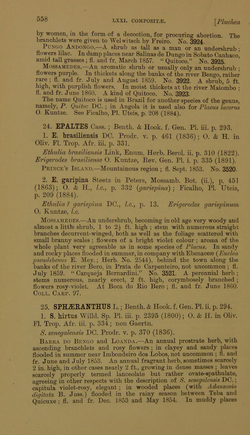 \Pluchea by women, in the form of a decoction, for procuring abortion. The branchlets were given to Welwitsch by Freiro. No. 3924. Pungo Andongo.—A shrub as tall as a man or an undershrub ; flowers lilac. In damp places near Salinas de Dungo in Sobato Canhaco amid tall grasses ; fl. and fr. March 1857. “ Quitoco.” No. 3925. Mossamedes.—An aromatic shrub or usually only an undershrub ; flowers purple. In thickets along the banks of the river Bengo, rather rare; fl. and fr. July and August 1859. No. 3922. A shrub, 5 ft. high, with purplish flowers. In moist thickets at the river Maiombo ; fl. and fr. June 1860. A kind of Quitoco. No. 3923. The name Quitoco is used in Brazil for another species of the genus, namely, P. Quitoc DC. ; in Angola it is used also for Placus lacerus 0. Kuntze. See Ficalho, PI. Uteis, p. 208 (1884). 24. EPALTES Cass. ; Benth. & Hook. f. Gen. PI. iii. p. 293. 1. E. brasiliensis DC. Prodr. v. p. 461 (1836); 0. & H. in Oliv. Fl. Trop. Afr. iii. p. 331. Ethulia brasiliensis Link, Enum. Herb. Berol. ii. p. 310 (1822). Erigerocles brasiliense 0. Kuntze, Rev. Gen. PI. i. p. 335 (1891). Prince’s IsLxVND.—Mountainous region ; fl. Sept. 1853. No. 3520. 2. E. garipina Steetz in Peters, Mossamb. Bot. (ii.), p. 451 (1863); O. & H., l.c., p. 332 (gariepina); Ficalho, PI. Uteis, p. 209 (1884). Ethulia ? gariepina DC., l.c., p. 13. Erigerodes gariepinum O. Kuntze, l.c. Mossamedes.—An undershrub, becoming mold age very woody and almost a little shrub, 1 to 2£ ft. high ; stem with numerous straight branches decurrent-winged, both as well as the foliage scattered with small branny scales ; flowers of a bright violet colour ; aroma of the whole plant very agreeable as in some species of Placus. In sand}' and rocky places flooded in summer, in company with Ebenaceae (Euclea pseudebenus E. Mey.; Herb. No. 2544), behind the town along the banks of the river Bero, in Prata de Carpenteiro, not uncommon ; fl. July 1859. “ Carqueja Bernardini.” No. 3521. A perennial herb; stems numerous, nearly erect, 2 ft. high, corymbosely branched ; flowers rosy-violet. At Boca do Rio Bero ; fl. and fr. June 1860. Coll. Carp. 97. 25. SPHiERANTHUS L.; Benth. & Hook. f. Gen. PL ii. p. 294. 1. S. hirtus WiUd. Sp. PL iii. p. 2395 (1800); O. & H. in Oliv. Fl. Trop. Afr. iii. p. 334; non Gaertn. S. senegalensis DC. Prodr. v. p. 370 (1836). Barra do Bengo and Loanda.—An annual prostrate herb, with ascending branchlets and rosy flowers ; in clayey and sandy places flooded in summer near Imbondeiro dos Lobos, not uncommon ; fl. and fr. June and July 1853. An annual fragrant herb, sometimes scarcely 2 in. high, in other cases nearly 2 ft., growing in dense masses ; leaves scarcely properly termed lanceolate but rather ovate-spathulate, agreeing in other respects with the description of S. senegalensis DC.; capitula violet-rosy, elegant ; in wooded places (with Adansonia digitata B. Juss.) flooded in the rainy season between Teba and Quicuxe ; fl. and fr. Dec. 1853 and May 1854. In muddy places