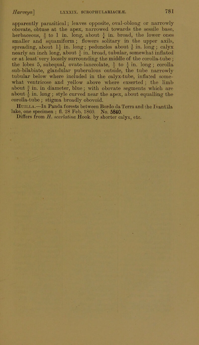 apparently parasitical; leaves opposite, oval-oblong or narrowly obovate, obtuse at the apex, narrowed towards the sessile base, herbaceous, f to 1 in. long, about \ in. broad, the lower ones smaller and squamiform ; flowers solitary in the upper axils, spreading, about I t in. long; peduncles about in. long; calyx nearly an inch long, about -t in. broad, tubular, somewhat inflated or at least’very loosely surrounding the middle of the corolla-tube; the lobes 5, subequal, ovate-lanceolate, i to in. long ; corolla sub-bilabiate, glandular puberulous outside, the tube narrowly tubular below where included in the calyx-tube, inflated some- what ventricose and yellow above where exserted ; the limb about in. in diameter, blue; with obovate segments which are about i in. long; style curved near the apex, about equalling the corolla-tube; stigma broadly obovoid. Huilla.—In Panda forests between Bordo da Terra and the Ivant'da lake, one specimen ; fl. 28 Feb. 1860. No. 5840. Differs from H. scarlatina Hook, by shorter calyx, etc.