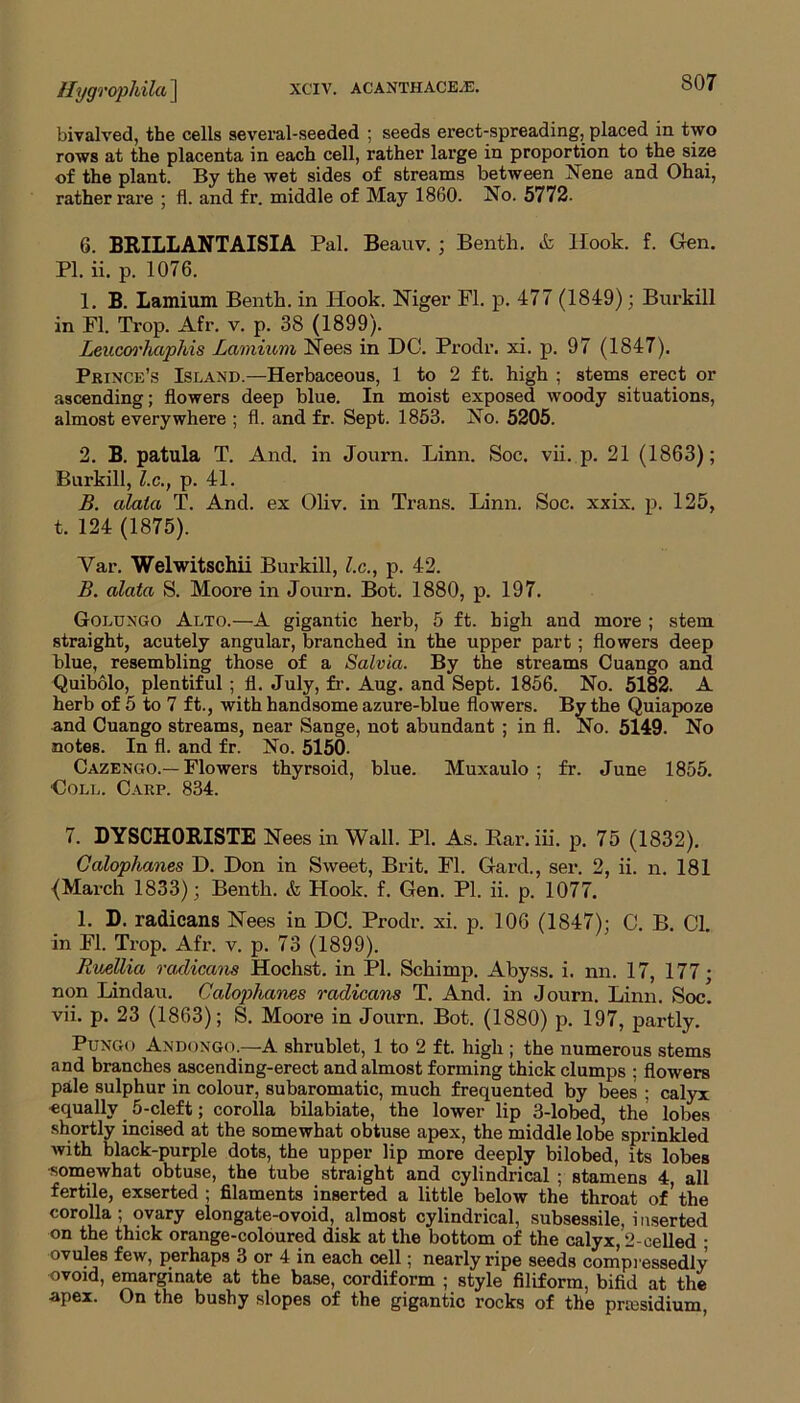 S07 biyalved, the cells several-seeded ; seeds erect-spreading, placed in two rows at the placenta in each cell, rather large in proportion to the size of the plant. By the wet sides of streams between Nene and Ohai, rather rare ; fl. and fr. middle of May 1860. No. 5772. 6. BRILLANTAISIA Pal. Beauv. ; Benth. & Hook. f. Gen. PI. ii. p. 1076. 1. B. Lamium Benth. in Hook. Niger Fl. p. 477 (1849); Burkill in Fl. Trop. Afr. v. p. 38 (1899). Leucoo'haphis Lamium Nees in DC. Prodr. xi. p. 97 (1847). Prince’s Island.—Herbaceous, 1 to 2 ft. high ; stems erect or ascending; flowers deep blue. In moist exposed woody situations, almost everywhere ; fl. and fr. Sept. 1853. No. 5205. 2. B. patula T. And. in Journ. Linn. Soc. vii. p. 21 (1863); Burkill, l.c., p. 41. B. alala T. And. ex Oliv. in Trans. Linn. Soc. xxix. p. 125, t. 124 (1875). Var. Welwitschii Burkill, lx., p. 42. B. alata S. Moore in Journ. Bot. 1880, p. 197. Golungo Alto.—A gigantic herb, 5 ft. high and more ; stem straight, acutely angular, branched in the upper part ; flowers deep blue, resembling those of a Salvia. By the streams Cuango and Quibolo, plentiful ; fl. July, fr. Aug. and Sept. 1856. No. 5182. A herb of 5 to 7 ft., with handsome azure-blue flowers. By the Quiapoze and Cuango streams, near Sange, not abundant ; in fl. No. 5149. No notes. In fl. and fr. No. 5150. Cazengo.—Flowers thyrsoid, blue. Muxaulo ; fr. June 1855. Doll. Carp. 834. 7. DYSCHORISTE Nees in Wall. PI. As. Bar. iii. p. 75 (1832). Calophanes D. Don in Sweet, Brit. Fl. Gard., ser. 2, ii. n. 181 {March 1833); Benth. & Hook. f. Gen. PI. ii. p. 1077. 1. D. radicans Nees in DC. Prodr. xi. p. 106 (1847); C. B. Cl. in Fl. Trop. Afr. v. p. 73 (1899). Ruellia radicans Hochst. in PI. Schimp. Abyss, i. nn. 17, 177; non Lindau. Calophanes radicans T. And. in Journ. Linn. Soc. vii. p. 23 (1863); S. Moore in Journ. Bot. (1880) p. 197, partly. Pungo Andongo.—A shrublet, 1 to 2 ft. high ; the numerous stems and branches ascending-erect and almost forming thick clumps ; flowers pale sulphur in colour, subaromatic, much frequented by bees ; calyx equally 5-cleft; corolla bilabiate, the lower lip 3-lobed, the lobes shortly incised at the somewhat obtuse apex, the middle lobe sprinkled with black-purple dots, the upper lip more deeply bilobed, its lobes somewhat obtuse, the tube straight and cylindrical ; stamens 4, all fertile, exserted ; filaments inserted a little below the throat of’ the corolla; ovary elongate-ovoid, almost cylindrical, subsessile, inserted on the thick orange-coloured disk at the bottom of the calyx, 2-celled ; ovules few, perhaps 3 or 4 in each cell; nearly ripe seeds compi essedly ovoid, emarginate at the base, cordiform ; style filiform, bifid at the apex. On the bushy slopes of the gigantic rocks of the presidium,