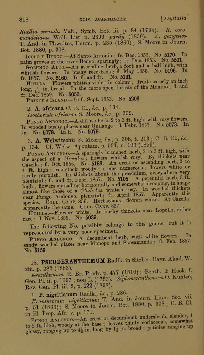 Ruellia secuncla Yahl, Symb. Bot. iii. p. 84 (1(94). R. coro- mandeliana Wall. List n. 2399 partly (1830). A. gcmgetica T. And. in Thwaites, Enum. p. 235 (1860) j S. Moore in Journ. Bot. 1880, p. 308. Icolo E Bengo.—At Santo Antonio ; fr. Dec. 1853. No. 5170. IQ palm groves at the river Bengo, sparingly; fr. Dec. 1853. No. 5201. Golungo Alto.—An ascending herb, a foot and a half high, with whitish flowers. In bushy reed-beds ; fl. May 1856. No. 5196. In fr. 1857. No. 5160. In fl. and fr. No. 5131. , , . , Huilla.—Flowers whitish violet in colour ; fruit scarcely an inch long, -V in. broad. In the more open forests of the Monino ; fl. and fr. Dec. 1859. No. 5050- Prince’s Island.—In fl. Sept. 1853. No. 5206. 2. A. africana C. B. Cl., l.c., p. 134. Isochoriste africana S. Moore, l.c., p. 309. Pungo Andongo.—A diffuse herb, 2 to 3 ft. bigh,_ with rosy^flowers. In wooded bushy places near Quilange ; fl. Febr. 18o7. No. 5073. In fr. No. 5078. In fl. No. 5079. 3. A. Welwitschii S. Moore, l.c., p. 308, t. 213 ; C. B. Cl., l.c. p. 134. Cf. Welw. Apontam. p. 591, n. 103 (1859). Pungo Andongo.—A sparingly branched herb, 2 to 3 ft. high, with the aspect of a Mimulus ; flowers whitish rosy. By thickets near Cazella ; fl. Oct. 1856. No. 5188. An erect or ascending herb, 2 to 4 ft high ; rootstock woody ; stems numerous ; flowers white o rarely purplish. In thickets about the presidium, everywhere very plentiful • fl. and fr. Febr. 1857. No. 5105- A perennial herb, 3 ft. high ; flowers spreading horizontally and somewhat drooping, Wshape almost like those of a Gladiolus, whitish rosy In wooded thickets near Pungo Andongo, plentiful; fr. April 185/’ ,^PpaTfCazella species Coll. Carp. 836. Herbaceous ; flowers white. At Cazella. AE“J-rlorrJ wSr' picket, near Lopollo, rather rare ; fl. Nov. 1859. No. 5039- The following No. possibly belongs to this genus, but it is represented by a very poor specimen. . . , PUNGO Andongo.-A decumbent herb, with ^ite flowers ln sandy wooded places near Mopopo and Sansamanda , fl. Feb. 1857. No. 5159- 18. PSEUDERANTHEMUM Radik, in Sitzber. Bayr. Akad. W. B, Prodr. p. (1810,; Benth* MU. Gen. PL ii. p. 1097 j non L. (1753). Siphoneranthcmum O. Kuntze, Rev. Gen. PI. iii. 2, p. 122 (1898). 1. P. nigritianum Radik., l.c., p. 286. . „ •• Eranthemum nigritianum T. And. m Journ. Lin . ^ ^ p. 51 (1863) ; S. Moore in Journ. Bot. 1880, p. o0 , 'poNOoTrJTONOO-A^ereot or decumbent undershrub, sle'ld'tAj,