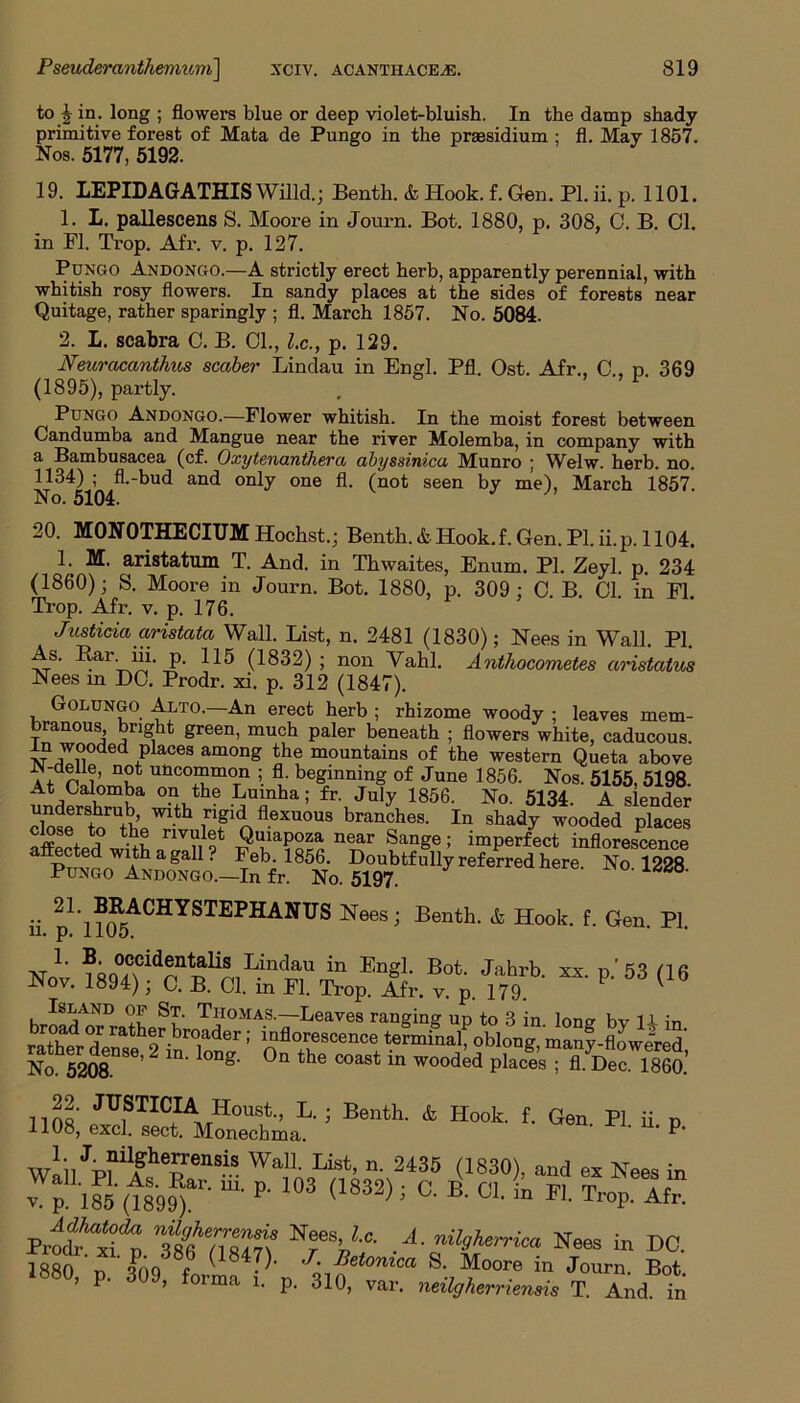 to £ in. long ; flowers blue or deep violet-bluish. In the damp shady primitive forest of Mata de Pungo in the prsesidium ; fl. May 1857. Nos. 5177, 5192. 19. LEPIDAGATHIS Willd.; Benth. & Hook. f. Gen. PI. ii. p. 1101. 1. L. pallescens S. Moore in Journ. Bot. 1880, p. 308, C. B. Cl. in PI. Trop. Afr. v. p. 127. Pdngo Andongo.—A strictly erect herb, apparently perennial, with whitish rosy flowers. In sandy places at the sides of forests near Quitage, rather sparingly ; fl. March 1857. No. 5084. 2. L. scabra C. B. Cl., l.c., p. 129. Neuraeanthus scaber Lindau in Engl. Pfl. Ost. Afr., C., p. 369 (1895), partly. Pungo Andongo.—Flower whitish. In the moist forest between Candumba and Mangue near the river Molemba, in company with a Bambusacea (cf. Oxytenanthera abyssinica Munro ; Welw. herb. no. 1134) ; fl.-bud and only one fl. (not seen by me), March 1857. fxl /X ^ I fin 20. M0N0THECIUM Hochst.; Benth. & Hook. f. Gen. PI. ii.p. 1104. !• ^ aristatum T. And. in Thwaites, Enum. PI. Zeyl. p. 234 (1860); S. Moore in Journ. Bot. 1880, p. 309 ; O. B. Cl. in Fl. Trop. Afr. v. p. 176. Justicia aristata Wall. List, n. 2481 (1830); Nees in Wall. PI. As. Rar. iii. p. 115 (1832) ; non Vahl. Anthocometes aristatus Nees m DO. Prodr. xi. p. 312 (1847). Golungo Alto.—An erect herb ; rhizome woody ; leaves mem- ranous, light green, much paler beneath ; flowers white, caducous In wooded places among the mountains of the western Queta above JN-defle, not uncommon ; fl. beginning of June 1856. Nos. 5155, 5198 At Calomba on the Luinha; fr. July 1856. No. 5134. A slender undershrub with rigid flexuous branches. In shady wooded places c^se to th® nvulet Quiapoza near Sange; imperfect inflorescence PrxroWSagall? ?ebi 1856- Doubtfully ref ^redherT^m Pungo Andongo.—In fr. No. 5197. ii 21'li?5ACHYSTEPHANTJS NeeS; Benth‘ & Hook‘ f‘ Gen- *L - p 'B3 (16 No 5208 2 1 g' °Q the COast in wooded Places ; fl. Dec. 1860. 11 n« JII1STICIA; Houst., L.; Benth. & Hook. f. Gen. PI. ii. p 1108, excl. sect. Monechma. ' Wan'JpIXllAghe5:en^.S Wal1’ List> n- 2435 (1830), and ex Nees in V P lM 0899Pr “■ p- 103 <1832> > B' «. & n. Trop. If Pro* xtt lutnwf A■ nil9**rrica Nees in DC. ISSo/p.'sM forme P'„ 3l0e<°”Ca S-.,“°ore in Bot. ’ 1 ’ 101 ma u P- dl°) var. neilgherriensis T. And. in