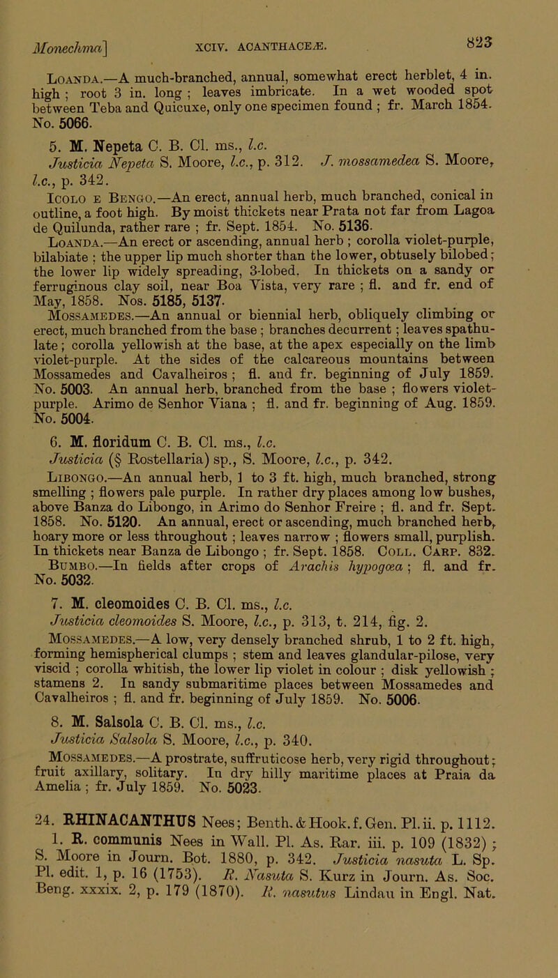 Loanda.—A much-branched, annual, somewhat erect herblet, 4 in. high ; root 3 in. long ; leaves imbricate. In a wet wooded spot between Teba and Quicuxe, only one specimen found ; fr. March 1854. No. 5066. 5. M. Nepeta C. B. 01. ms., l.c. Justicia Nepeta S. Moore, l.c., p. 312. J. mossamedea S. Moore, l.c., p. 342. Icolo E Bengo.—An erect, annual herb, much branched, conical in outline, a foot high. By moist thickets near Prata not far from Lagoa de Quilunda, rather rare ; fr. Sept. 1854. No. 5136. Loanda.—An erect or ascending, annual herb ; corolla violet-purple, bilabiate ; the upper lip much shorter than the lower, obtusely bilobed; the lower lip widely spreading, 3-lobed. In thickets on a sandy or ferruginous clay soil, near Boa Yista, very rare ; fl. and fr. end of May, 1858. Nos. 5185, 5137. Mossamedes.—An annual or biennial herb, obliquely climbing or erect, much branched from the base; branches decurrent; leaves spathu- late; corolla yellowish at the base, at the apex especially on the limb violet-purple. At the sides of the calcareous mountains between Mossamedes and Cavalheiros ; fl. and fr. beginning of July 1859. No. 5003. An annual herb, branched from the base ; flowers violet- purple. Arimo de Senhor Yiana : fl. and fr. beginning of Aug. 1859. No. 5004. 6. M. floridum C. B. Cl. ms., l.c. Justicia (§ Rostellaria) sp., S. Mooi'e, l.c., p. 342. Libongo.—An annual herb, 1 to 3 ft. high, much branched, strong smelling ; flowers pale purple. In rather dry places among low bushes, above Banza do Libongo, in Arimo do Senhor Freire ; fl. and fr. Sept. 1858. No. 5120. An annual, erect or ascending, much branched herb, hoary more or less throughout ; leaves narrow ; flowers small, purplish. In thickets near Banza de Libongo ; fr. Sept. 1858. Coll. Carp. 832. Bumbo.—In fields after crops of Arachis hypoqoea ; fl. and fr. No. 5032. 7. M. cleomoides C. B. Cl. ms., l.c. Justicia cleomoides S. Moore, l.c., p. 313, t. 214, fig. 2. Mossamedes.—A low, very densely branched shrub, 1 to 2 ft. high, forming hemispherical clumps ; stem and leaves glandular-pilose, very viscid ; corolla whitish, the lower lip violet in colour ; disk yellowish ; stamens 2. In sandy submaritime places between Mossamedes and Cavalheiros ; fl. and fr. beginning of July 1859. No. 5006. 8. M. Salsola C. B. Cl. ms., l.c. Justicia Salsola S. Moore, l.c., p. 340. Mossamedes.—A prostrate, suffruticose herb, very rigid throughout; fruit axillary, solitary. In dry hilly maritime places at Praia da Amelia ; fr. July 1859. No. 5023. 24. RHINACANTHTJS Nees; Benth. & Hook. f. Gen. Pl.ii. p. 1112. 1. R. communis Nees in Wall. PL As. Bar. iii. p. 109 (1832) ; S. Moore in Journ. Bot. 1880, p. 342. Justicia nasuta L. Sp. PI. edit. 1, p. 16 (1753). B. Nasuta S. Kurz in Journ. As. Soc. Beng. xxxix. 2, p. 179 (1870). R. nasutus Lindau in Engl. Nat.