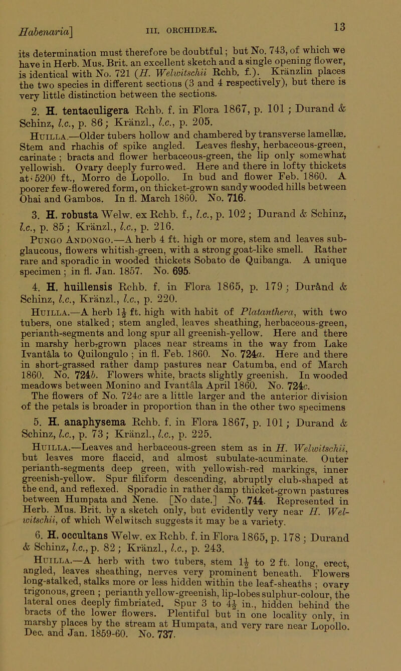 its determination must therefore be doubtful; but No. 743, of which we have in Herb. Mus. Brit, an excellent sketch and a single opening flower, is identical with No. 721 (H. Welwitschii Rchb. f.). Kranzlin places the two species in different sections (3 and 4 respectively), but there is very little distinction between the sections. 2. H. tentaculigera Rchb. f. in Flora 1867, p. 101 ; Durand & Schinz, l.c., p. 86; Kranzl., l.c., p. 205. Huilla—Older tubers hollow and chambered by transverse lamellae. Stem and rhachis of spike angled. Leaves fleshy, herbaceous-green, carinate; bracts and flower herbaceous-green, the lip only somewhat yellowish. Ovary deeply furrowed. Here and there in lofty thickets at'5200 ft., Morro de Lopollo. In bud and flower Feb. 1860. A poorer few-flowered form, on thicket-grown sandy wooded hills between Ohai and Gambos. In fl. March 1860. No. 716. 3. H. robusta Welw. ex Rchb. f., l.c., p. 102 ; Durand & Schinz, l.c., p. 85 ; Kranzl., l.c., p. 216. Pungo Andongo.—A herb 4 ft. high or more, stem and leaves sub- glaucous, flowers whitish-green, with a strong goat-like smell. Rather rare and sporadic in wooded thickets Sobato de Quibanga. A unique specimen ; in fl. Jan. 1857. No. 695- 4. H. huillensis Rchb. f. in Flora 1865, p. 179; Dur&nd & Schinz, l.c., Kranzl., l.c., p. 220. Huilla.—A herb 1-1 ft. high with habit of Platanthera, with two tubers, one stalked; stem angled, leaves sheathing, herbaceous-green, perianth-segments and long spur all greenish-yellow. Here and there in marshy herbrgrown places near streams in the way from Lake Ivantala to Quilongulo ; in fl. Feb. 1860. No. 724a. Here and there in short-grassed rather damp pastures near Catumba, end of March 1860. No. 724b. Flowers white, bracts slightly greenish. In wooded meadows between Monino and Ivantala April 1860. No. 724c. The flowers of No. 724c are a little larger and the anterior division of the petals is broader in proportion than in the other two specimens 5. H. anaphysema Rchb. f. in Flora 1867, p. 101; Durand & Schinz, l.c., p. 73 ; Kriinzl., l.c., p. 225. Huilla.—Leaves and herbaceous-green stem as in H. Welwitschii, but leaves more flaccid, and almost subulate-acuminate. Outer perianth-segments deep green, with yellowish-red markings, inner greenish-yellow. Spur filiform descending, abruptly club-shaped at the end, and reflexed. Sporadic in rather damp thicket-grown pastures between Humpata and Nene. [No date.] No. 744. Represented in Herb. Mus. Brit, by a sketch only, but evidently very near H. Wel- witschii, of which Welwitsch suggests it may be a variety. 6. H. occultans Welw. ex Rchb. f. in Flora 1865, p. 178 ; Durand & Schinz, l.c., p. 82 ; Kranzl., l.c., p. 243. Huilla.—A herb with two tubers, stem 1£ to 2 ft. long, erect, angled, leaves sheathing, nerves very prominent beneath. Flowers long-stalked, stalks more or less hidden within the leaf-sheaths ; ovary trigonous, green ; perianth yellow-greenish, lip-lobes sulphur-colour, the lateral ones deeply fimbriated. Spur 3 to 44 in., hidden behind the bracts of the lower flowers. Plentiful but in one locality only, in marshy places by the stream at Humpata, and very rare near Lopollo Dec. and Jan. 1859-60. No. 737.