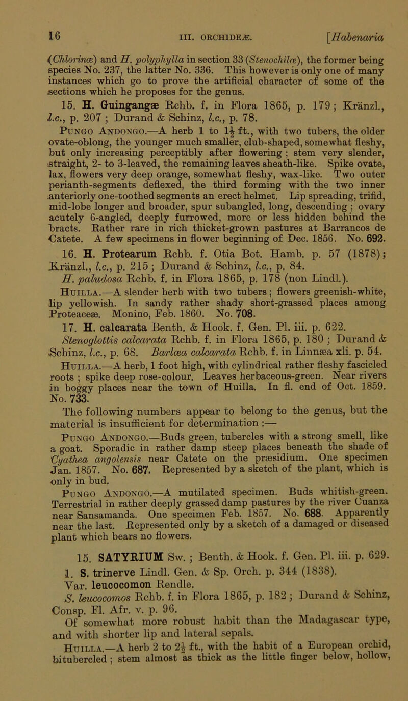 (Chlorirm) and H. polyphylla in section 33 (Stenochiln), the former being species No. 237, the latter No. 336. This however is only one of many instances which go to prove the artificial character of some of the sections which he proposes for the genus. 15. H. Guingangae Rchb. f, in Flora 1865, p. 179 ; Kranzl., l.c., p. 207 ; Durand & Schinz, l.c., p. 78. Pungo Andongo.—A herb 1 to 1^ ft., with two tubers, the older ovate-oblong, the younger much smaller, club-shaped, somewhat fleshy, but only increasing perceptibly after flowering ; stem very slender, straight, 2- to 3-leaved, the remaining leaves sheath-like. Spike ovate, lax, flowers very deep orange, somewhat fleshy, wax-like. Two outer perianth-segments deflexed, the third forming with the two inner anteriorly one-toothed segments an erect helmet. Lip spreading, trifid, mid-lobe longer and broader, spur subangled, long, descending ; ovary acutely 6-angled, deeply furrowed, more or less hidden behind the bracts. Rather rare in rich thicket-grown pastures at Barrancos de •Catete. A few specimens in flower beginning of Dec. 1856. No. 692. 16. H. Protearum Rchb. f. Otia Bot. Hainb. p. 57 (1878); ILranzl., l.c., p. 215; Durand & Schinz, l.c., p. 84. H. paludosa Rchb. f. in Flora 1865, p. 178 (non Lindl.). Huilla.—A slender herb with two tubers ; flowers greenish-white, lip yellowish. In sandy rather shady short-grassed places among Proteaceae. Monino, Feb. 1860. No. 708. 17. H. calcarata Benth. & Hook. f. Gen. PL iii. p. 622. Stenoglottis calcarata Rchb. f. in Flora 1865, p. 180 ; Durand ifc .Schinz, l.c., p. 68. Barlcea calcarata Rchb. f. in Linnsea xli. p. 54. Huilla.—A herb, 1 foot high, with cylindrical rather fleshy fascicled roots ; spike deep rose-colour. Leaves herbaceous-green. Near rivers in boggy places near the town of Huilla. In fl. end of Oct. 1859. No. 733. The following numbers appear to belong to the genus, but the material is insufficient for determination :— Pungo Andongo.—Buds green, tubercles with a strong smell, like a goat. Sporadic in rather damp steep places beneath the shade of Cyathea angolensis near Catete on the presidium. One specimen Jan. 1857. No. 687. Represented by a sketch of the plant, which is only in bud. Pungo Andongo.—A mutilated specimen. Buds whitish-green. Terrestrial in rather deeply grassed damp pastures by the river Cuanza near Sansamanda. One specimen Feb. 1857. No. 688. Apparently near the last. Represented only by a sketch of a damaged or diseased plant which bears no flowers. 15. SATYRIUM Sw.; Benth. & Hook. f. Gen. PI. iii. p. 629. I. S. trinerve Lindl. Gen. & Sp. Orch. p. 344 (1838). Yar. leucocomon Rendle. S. leucocomos Rchb. f. in Flora 1865, p. 182; Durand & Schinz, Consp. Fl. Afr. v. p. 96. Of somewhat more robust habit than the Madagascar type, and with shorter lip and lateral sepals. Huilla.—A herb 2 to ft., with the habit of a European orchid, bitubercled ; stem almost as thick as the little finger below, hollow,