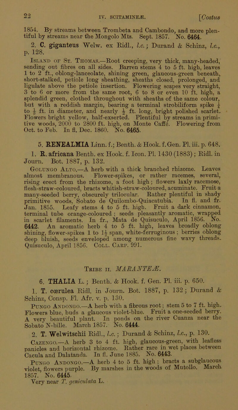 1854. By streams between Trombeta and Cambondo, and more plen- tiful by streams near the Mongolo Mts. Sept. 1857. No. 6464. 2. C. giganteus Welw. ex Ridl., l.c.; Durand & Schinz, l.c., p. 128. Island of St. Thomas.—Root creeping, very thick, many-headed, sending out fibres on all sides. Barren stems 4 to 5 ft. high, leaves 1 to 2 ft., oblong-lanceolate, shining green, glaucous-green beneath, short-stalked, petiole long sheathing, sheaths closed, prolonged, and ligulate above the petiole insertion. Flowering scapes very straight, 3 to 6 or more from the same root, 6 to 8 or even 10 ft. high, a splendid green, clothed throughout with sheaths of the same colour, but with a reddish margin, bearing a terminal strobiliform spike | to 4 ft. in diameter, and nearly 4 ft. long, bright polished scarlet. Flowers bright yellow, half-exserted. Plentiful by streams in primi- tive woods, 2000 to 2800 ft. high, on Monte Caffe. Flowering from Oct. to Feb. In fl. Dec. 1860. No. 6465. 5. RENEALMIA Linn, f.; Benth. & Hook. f. Gen. PI. iii. p. 648. 1. R. africana Benth. ex Hook. f. Icon. PI. 1430 (1883); Ridl. in Journ. Bot. 1887, p. 132. Golungo Alto.—A herb with a thick branched rhizome. Leaves almost membranous. Flower-spikes, or rather racemes, several, rising erect from the rhizome, a foot high; flowers laxly racemose, flesh-straw-coloured, bracts whitish-straw-coloured, acuminate. Fruit a many-seeded berry, obscurely trilocular. Rather plentiful in shady primitive woods, Sobato de Quilombo-Quiacatubia. In fl. and fr. Jan. 1855. Leafy stems 4 to 5 ft. high. Fruit a dark cinnamon, terminal tube orange-coloured ; seeds pleasantly aromatic, wrapped in scarlet filaments. In fr., Mata de Quisuculo, April 1856. No. 6442. An aromatic herb 4 to 5 ft. high, leaves broadly oblong shining, flower-spikes 1 to 14 span, white-ferruginous ; berries oblong deep bluish, seeds enveloped among numerous fine wavy threads. Quisuculo, April 1856. Coll. Carp. 991. Tribe ii. MA RA NTE/E. 6. THALIA L.; Benth. & Hook. f. Gen. PI. iii. p. 650. 1. T. coerulea Ridl. in Journ. Bot. 1887, p. 132 ; Durand & Schinz, Consp. Fl. Afr. v. p. 130. Pungo Andongo.—A herb with a fibrous root; stem 5 to 7 ft. high. Flowers blue, buds a glaucous violet-blue. Fruit a one-seeded berry. A very beautiful plant. In ponds on the river Cuanza near the Sobato N-bille. March 1857. No. 6444. 2. T. Welwitschii Ridl., l.c.; Durand & Schinz, l.c., p. 130. Cazengo.—A herb 3 to 4 ft. high, glaucous-green, with leafless panicles and horizontal rhizome. Rather rare in wet places between Cacula and Dalatanda. In fl. June 1885. No. 6443. Pungo Andongo.—A herb 4 to 5 ft. high ; bracts a subglaucous violet, flowers purple. By marshes in the woods of Mutollo. March 1857. No. 6445. Very near T. gcniculata L.