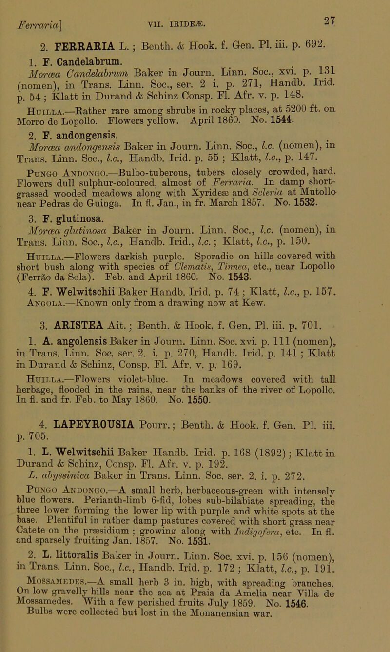 2. FERRARIA L. ; Benfch. & Hook. f. Gen. PI. iii. p. 692. 1. F. Candelabrum. Morcea Candelabrum Baker in Journ. Linn. Soc., xvi. p. 131 (nomen), in Trans. Linn. Soc., ser. 2 i. p. 271, Handb. Irid. p. 54; Klatt in Durand & Schinz Consp. FI. Afr. v. p. 148. Huii.la.—Rather rare among shrubs in rocky places, at 5200 ft. on Morro de Lopollo. Flowers yellow. April 1860. No. 1544. 2. F. andongensis. Morcea andongensis Baker in Journ. Linn. Soc., l.c. (nomen), in Trans. Linn. Soc., l.c., Handb. Irid. p. 55 ; Klatt, l.c., p. 147. Pungo Andongo.—Bulbo-tuberous, tubers closely crowded, hard. Flowers dull sulphur-coloured, almost of Ferraria. In damp short- grassed wooded meadows along with Xyrideas and Scleria at Mutollo near Pedras de Guinga. In fl. Jan., in fr. March 1857. No. 1532. 3. F. glutinosa. Morcea glutinosa Baker in Journ. Linn. Soc., l.c. (nomen), in Trans. Linn. Soc., l.c., Handb. Irid., l.c.; Klatt, l.c., p. 150. Huii.la.—Flowers darkish purple. Sporadic on hills covered with short bush along with species of Clematis, Tinnea, etc., near Lopollo (Ferrao da Sola). Feb. and April I860. No. 1543. 4. F. Welwitschii Baker Handb. Irid. p. 74 ; Klatt, l.c., p. 157. Angola.—Known only from a drawing now at Kew. 3. ARISTEA Ait.; Benth. & Hook. f. Gen. PI. iii. p. 701. 1. A. angolensis Baker in Journ. Linn. Soc. xvi. p. Ill (nomen), in Trans. Linn. Soc. ser. 2. i. p. 270, Handb. Irid. p. 141 ; Klatt in Durand & Schinz, Consp. Fl. Afr. v. p. 169. Huilla.—Flowers violet-blue. In meadows covered with tall herbage, flooded in the rains, near the banks of the river of Lopollo. In fl. and fr. Feb. to May 1860. No. 1550. 4. LAPEYR0USIA Pourr.; Benth. & Hook. f. Gen. PI. iii. p. 705. 1. L. Welwitschii Baker Handb. Irid. p. 168 (1892); Klatt in Durand & Schinz, Consp. Fl. Afr. v. p. 192. L. abyssinica Baker in Trans. Linn. Soc. ser. 2. i. p. 272. Pungo Andongo.—A small herb, herbaceous-green with intensely blue flowers. Perianth-limb 6-fid, lobes sub-bilabiate spreading, the three lower forming the lower lip with purple and white spots at the base. Plentiful in rather damp pastures covered with short grass near C'atete on the prasidium ; growing along with Indigofera, etc. In fl. and sparsely fruiting Jan. 1857. No. 1531. 2. L. littoralis Baker in Journ. Linn. Soc. xvi. p. 156 (nomen), in Trans. Linn. Soc., l.c., Handb. Irid. p. 172 ; Klatt, l.c., p. 191. Mossamedes.—A small herb 3 in. high, with spreading branches. On low gravelly hills near the sea at Praia da Amelia near Villa de Mossamedes. With a few perished fruits July 1859. No. 1546. Bulbs were collected but lost in the Monanensian war.