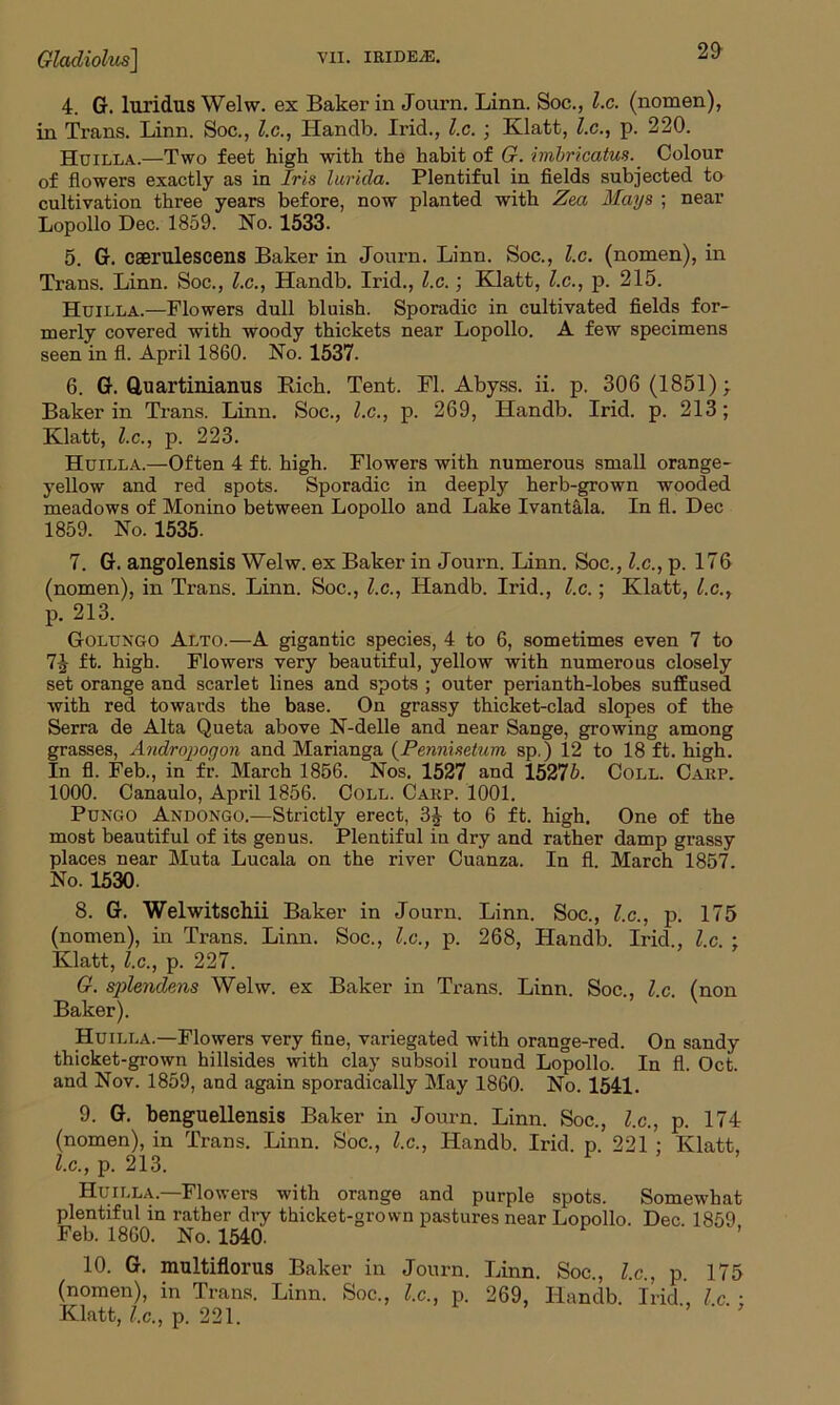 4. G. luridus Welw. ex Baker in Journ. Linn. Soc., l.c. (nomen), in Trans. Linn. Soc., l.c., Handb. Irid., l.c. ; Klatt, l.c., p. 220. Huilla.—Two feet high with the habit of G. imbricatus. Colour of flowers exactly as in Iris lurida. Plentiful in fields subjected to cultivation three years before, now planted with Zea Mays ; near Lopollo Dec. 1859. No. 1533- 5. G. caerulescens Baker in Journ. Linn. Soc., l.c. (nomen), in Trans. Linn. Soc., l.c., Handb. Irid., l.c.; Klatt, l.c., p. 215. Huilla.—Flowers dull bluish. Sporadic in cultivated fields for- merly covered with woody thickets near Lopollo. A few specimens seen in fl. April 1860. No. 1537. 6. G. Q,uartinianus Rich. Tent. Fl. Abyss, ii. p. 306 (1851); Baker in Trans. Linn. Soc., l.c., p. 269, Handb. Irid. p. 213; Klatt, l.c., p. 223. Huilla.—Often 4 ft. high. Flowers with numerous small orange- yellow and red spots. Sporadic in deeply herb-grown wooded meadows of Monino between Lopollo and Lake Ivantala. In fl. Dec 1859. No. 1535. 7. G. angolensis Welw. ex Baker in Journ. Linn. Soc., l.c., p. 176 (nomen), in Trans. Linn. Soc., l.c., Handb. Irid., l.c.; Klatt, l.c., p. 213. Golungo Alto.—A gigantic species, 4 to 6, sometimes even 7 to lb ft. high. Flowers very beautiful, yellow with numerous closely set orange and scarlet lines and spots ; outer perianth-lobes suffused with red towards the base. On grassy thicket-clad slopes of the Serra de Alta Queta above N-delle and near Sange, growing among grasses, Andropogon and Marianga (Pennisetum sp.) 12 to 18 ft. high. In fl. Feb., in fr. March 1856. Nos. 1527 and 15275. Coll. Carp. 1000. Canaulo, April 1856. Coll. Carp. 1001. Pungo Andongo.—Strictly erect, 3£ to 6 ft. high. One of the most beautiful of its genus. Plentiful in dry and rather damp grassy places near Muta Lucala on the river Cuanza. In fl. March 1857. No. 1530. 8. G. Welwitschii Baker in Journ. Linn. Soc., l.c., p. 175 (nomen), in Trans. Linn. Soc., l.c., p. 268, Handb. Irid., l.c. ; Klatt, l.c., p. 227. G. splendcns Welw. ex Baker in Trans. Linn. Soc., Ic (non Baker). Huilla.—Flowers very fine, variegated with orange-red. On sandy thicket-grown hillsides with clay subsoil round Lopollo. In fl. Oct. and Nov. 1859, and again sporadically May 1860. No. 1541. 9. G. benguellensis Baker in Journ. Linn. Soc., l.c., p. 174 (nomen), in Trans. Linn. Soc., l.c., Handb. Irid. p. 221 ; Klatt, l.c., p. 213. Huilla.—Flowers with orange and purple spots. Somewhat plentiful in rather dry thicket-grown pastures near Lopollo. Dec 1859 Feb. 1860. No. 1540. ’ 10. G. multiflorus Baker in Journ. Linn. Soc., l.c., p. 175 (nomen), in Trans. Linn. Soc., l.c., p. 269, Handb. Irid, l c. ; Klatt, l.c., p. 221.