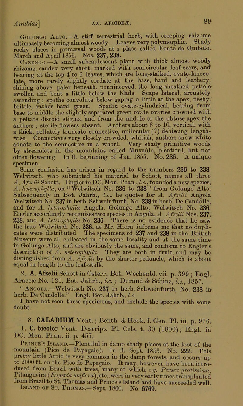 Anubias) xx. aroide^e. Golungo Alto—A stiff terrestrial herb, with creeping rhizome ultimately becoming almost woody. Leaves very polymorphic. Shady rocky places in primaeval woods at a place called Fonte de Quibolo- March and April 1856. Nos. 237, 238. Cazengo.—A small subcaulescent plant with thick almost woody rhizome, caudex very short, marked with semicircular leaf-scars, and1 bearing at the top 4 to 6 leaves, which are long-stalked, ovate-lanceo- late, more rarely slightly cordate at the base, hard and leathery, shining above, paler beneath, penninerved, the long-sheathed petiole swollen and bent a little below the blade. Scape lateral, arcuately ascending ; spathe convolute below gaping a little at the apex, fleshy,, brittle, rather hard, green. Spadix ovate-cylindrical, bearing from base to middle the slightly separated green ovate ovaries crowned with a peltate discoid stigma, and from the middle to the obtuse apex the anthers ; sterile flowers absent. Anthers about 8 to 10, vertical, with a thick, peltately truncate connective, unilocular (?) dehiscing length- wise. Connectives very closely crowded, whitish, anthers snow-white adnate to the connective in a whorl. Yery shady primitive woods by streamlets in the mountains called Muxaulo, plentiful, but not often flowering. In fl. beginning of Jan. 1855. No. 236. A unique specimen. Some confusion has arisen in regard to the numbers 236 to 238- Welwitscb, who submitted his material to Schott, names all three A.Afselii Schott. Engler in DC. Mon. Phan., l.c., founded a new species, A. heterophylla, on “ Welwitsch No. 236 to 238 ” from Golungo Alto.. Subsequently in Bot. Jahrb., l.c., he quotes for A. Afzelii Angola Welwitsch No. 237 in herb. Schweinfurth, No. 238 in herb. De Candolle, and for A. heterophylla Angola, Golungo Alto, Welwitsch No. 236. Engler accordingly recognises two species in Angola, A. Afzelii Nos. 237r 238, and A. heterophylla No. 236. There is no evidence that he saw the true Welwitsch No. 236, as Mr. Hiern informs me that no dupli- cates were distributed. The specimens of 237 and 238 in the British Museum were all collected in the same locality and at the same time in Golungo Alto, and are obviously the same, and conform to Engler’s description of A. heterophylla. They are both in fruit, and may be distinguished from A. Afzelii by the shorter peduncle, which is about equal in length to the leaf-stalk. 2. A. Afzelii Schott in Osterr. Bot. Wochenbl. vii. p. 399 ; EngL Aracese No. 121, Bot. Jahrb., l.c.; Durand & Schinz, l.c., 1857. “ Angola.—Welwitsch No. 237 in herb. Schweinfurth, No. 238 in herb. De Candolle.” Engl. Bot. Jahrb., l.c. I have not seen these specimens, and include the species with some doubt. 8. CALADIUM Vent.; Benth. &Hook. f. Gen. PI. iii. p. 976. 1. C. bicolor Vent. Descript. PL Cels. t. 30 (1800); Engl, in DC. Mon. Phan. ii. p. 457. Prince’s Island.—Plentiful in damp shady places at the foot of the mountain (Pico de Papagaio). In fl. Sept. 1853. No. 222. This pretty little Aroid is very common in the damp forests, and occurs up to 2000 ft. on the Pico de Papagaio. It may, however, have been intro- duced from Brazil with trees, many of which, e.g. Persea gratissima, Pitangueira (Eugenia uniflora), etc., were in very early times transplanted from Brazil to St. Thomas and Prince’s Island and have succeeded well Island of St. Thomas.—Sept. 1860. No. 6769.