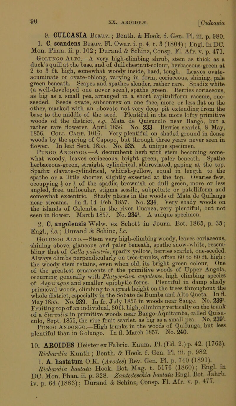 ■90 9. CULCASIA Beauv.; Benth. & Hook. f. Gen. PI. iii. p. 980. 1. C. scandens Beauv. FI. Owar. i. p. 4. t. 3 (1804); Engl, in DO. Mon. Phan. ii. p. 102 ; Durand & Schinz, Oonsp. FI. Afr. v. p. 471. Golungo Alto.—A very high-climbing shrub, stem as thick as a duck’s quill at the base, and of dull chestnut-colour, herbaceous-green at 2 to 3 ft. high, somewhat woody inside, hard, tough. Leaves ovate- acuminate or ovate-oblong, varying in form, coriaceous, shining, pale green beneath. Scapes and spathes slender, rather rare. Spadix white (a well-developed one never seen), spathe green. Berries coriaceous, as big as a small pea, arranged in a short capituliform raceme, one- seeded. Seeds ovate, subconvex on one face, more or less flat on the other, marked with an obovate not very deep pit extending from the base to the middle of the seed. Plentiful in the more lofty primitive woods of the district, e.g. Mata de Quisuculo near Bango, but a rather rare flowerer, April 1856. No. 233. Berries scarlet, 8 May, 1856. Coll. Carp. 1016. Very plentiful on shaded ground in dense woods by the spring of Capopo, but through three years never seen in flower. In leaf Sept. 1855. No. 235. A unique specimen. Pungo Andongo.—A decumbent herb with stem becoming some- what woody, leaves coriaceous, bright green, paler beneath. Spathe herbaceous-green, straight, cylindrical, abbreviated, gaping at the top. Spadix clavate-cylindrical, whitish-yellow, equal in length to the spathe or a little shorter, slightly exserted at the top. Ovaries few, occupying | or } of the spadix, brownish or dull green, more or less angled, free, unilocular, stigma sessile, subpeltate or patelliform and somewhat excentric. Shady places in the woods of Mata de Quilanga near streams. In fl. 14 Feb. 1857. No. 234. Yery shady woods on the islands of Calemba in the river Cuanza, very plentiful, but not seen in flower. March 1857. No. 2342. A unique specimen. 2. C. angolensis Welw. ex Schott in Journ. Bot. 1865, p. 35; Engl., l.c.; Durand & Schinz, l.c. Golungo Alto.—Stem very high-climbing woody, leaves coriaceous, shining above, glaucous and paler beneath, spathe snow-white, resem- bling that of Calla palustris, spadix yellow, berries scarlet, one-seeded. Always climbs perpendicularly on tree-trunks, often 60 to 80 ft. high ; the woody stem retains, even when old, its bright green colour. One of the greatest ornaments of the primitive woods of Upper Angola, occurring generally with Plcitycerium angolense, high climbing species of Asparagus and smaller epiphytic ferns. Plentiful in damp shady primaeval woods, climbing to a great height on the trees throughout the whole district, especially in the Sobato de Bumba and Alto Queta. In fl. May 1855. No. 239. In fr. July 1856 in woods near Sange. No. 239'-'. Fruiting top of an individual, 30ft. high, climbing vertically on the trunk of a Sterculia in primitive woods near Bango-Aquitamba, called Quisu- culo, Sept. 1855, the ripe fruit scarlet, as big as a small pea. No. 2393. Pungo Andongo.—High trunks in the woods of Quiiunga, but less plentiful than in Golungo. In fl. March 1857. No. 240- 10. AR0IDES Heister ex Fabric. Enum. PI. (Ed. 2.)p. 42. (1763). Richardia Kunth ; Benth. & Hook. f. Gen. PI. iii. p. 982. 1. A. hastatum O.K. (Arodes) Rev. Gen. PI. p. 740 (1891). Richardia hastata Hook. Bot. Mag. t. 5176 (i860); Engl, in DC. Mon. Phan. ii. p. 328. Zantedeschia hastata Engl. Bot, Jahrb. iv. p. 64 (1883); Durand & Schinz, Consp. Fl. Afr. v. p. 477.