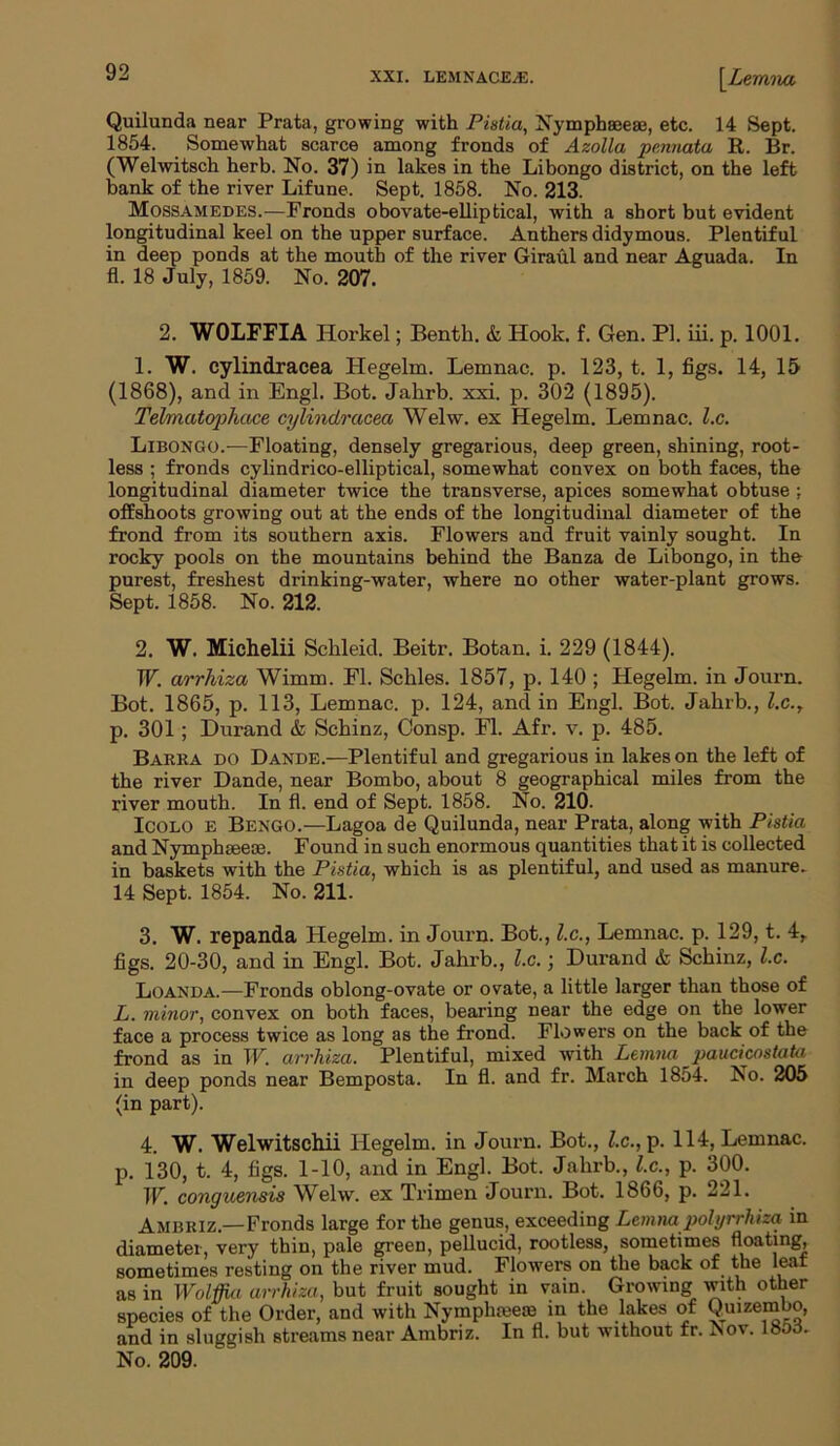 XXI. LEMNACE^E. [L ernna Quilunda near Prata, growing with Pistia, Nymphseese, etc. 14 Sept. 1854. Somewhat scarce among fronds of Azolla pennata R. Br. (Welwitsch herb. No. 37) in lakes in the Libongo district, on the left bank of the river Lifune. Sept. 1858. No. 213. Mossamedes.—Fronds obovate-elliptical, with a short but evident longitudinal keel on the upper surface. Anthers didymous. Plentiful in deep ponds at the mouth of the river Giraul and near Aguada. In fl. 18 July, 1859. No. 207. 2. WOLFEIA Iiorkel; Benth. & Hook. f. Gen. PI. iii. p. 1001. 1. W. cylindracea Hegelm. Lemnac. p. 123, t. 1, figs. 14, 15 (1868), and in Engl. Bot. Jahrb. xxi. p. 302 (1895). Tel/matophace cylindracea Welw. ex Hegelm. Lemnac. l.c. Libongo.-—Floating, densely gregarious, deep green, shining, root- less ; fronds cylindrico-elliptical, somewhat convex on both faces, the longitudinal diameter twice the transverse, apices somewhat obtuse ; offshoots growing out at the ends of the longitudinal diameter of the frond from its southern axis. Flowers and fruit vainly sought. In rocky pools on the mountains behind the Banza de Libongo, in the purest, freshest drinking-water, where no other water-plant grows. Sept. 1858. No. 212. 2. W. Michelii Schleid. Beitr. Botan. i. 229 (1844). W. arrhiza Wimm. Fl. Schles. 1857, p. 140 ; Hegelm. in Journ. Bot. 1865, p. 113, Lemnac. p. 124, and in Engl. Bot. Jahrb., l.c., p. 301; Durand & Schinz, Consp. Fl. Afr. v. p. 485. Barra do Dande.—Plentiful and gregarious in lakes on the left of the river Dande, near Bombo, about 8 geographical miles from the river mouth. In fl. end of Sept. 1858. No. 210. Icolo E Bengo.—Lagoa de Quilunda, near Prata, along with Pistia and Nymphseese. Found in such enormous quantities that it is collected in baskets with the Pistia, which is as plentiful, and used as manure. 14 Sept. 1854. No. 211. 3. W. repanda Hegelm. in Journ. Bot., l.c., Lemnac. p. 129, t. 4, figs. 20-30, and in Engl. Bot. Jahrb., l.c.; Durand & Schinz, l.c. Loanda.—Fronds oblong-ovate or ovate, a little larger than those of L. minor, convex on both faces, bearing near the edge on the lower face a process twice as long as the frond. Flowers on the back of the frond as in W. arrhiza. Plentiful, mixed with Lenina paucicostata in deep ponds near Bemposta. In fl. and fr. March 1854. !No. 205 (in part). 4. W. Welwitschii Hegelm. in Journ. Bot., l.c., p. 114, Lemnac. p. 130, t. 4, figs. 1-10, and in Engl. Bot. Jahrb., l.c., p. 300. W. conguensis Welw. ex Trimen Journ. Bot. 1866, p. 221. Ambriz.—Fronds large for the genus, exceeding Lemnapolyrrhiza in diameter, very thin, pale green, pellucid, rootless, sometimes floating, sometimes resting on the river mud. Flowers on the back of the leaf as in Wolffia arrhiza, but fruit sought in vain. Growing with other species of the Order, and with Nymphmeaj in the lakes of Quizembo, and in sluggish streams near Ambriz. In fl. but without fr. Aov. 18oo- No. 209.