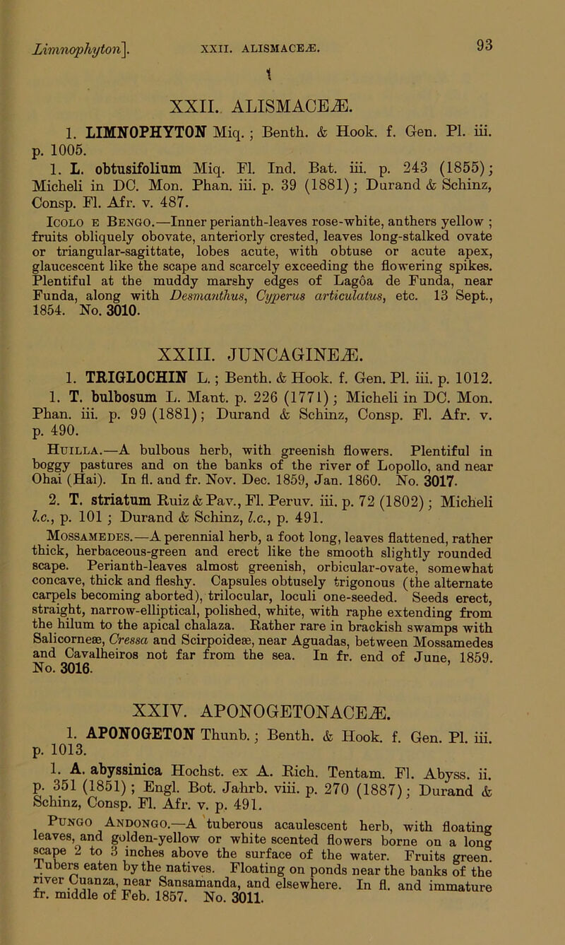 I/imnophyton\. XXII. ALISMACE.E. t XXII. ALISMACEiE. 1. LIMNOPHYTON Miq.; Benth. & Hook. f. Gen. PL iii. p. 1005. 1. L. obtusifolium Miq. FI. Ind. Bat. iii. p. 243 (1855); Micheli in DO. Mon. Phan. iii. p. 39 (1881); Durand & Schinz, Consp. FI. Afr. v. 487. Icolo e Bengo.—Inner perianth-leaves rose-white, anthers yellow ; fruits obliquely obovate, anteriorly crested, leaves long-stalked ovate or triangular-sagittate, lobes acute, with obtuse or acute apex, glaucescent like the scape and scarcely exceeding the flowering spikes. Plentiful at the muddy marshy edges of Lagoa de Funda, near Funda, along with Desmanthus, Cyperus articulatus, etc. 13 Sept., 1854. No. 3010. XXIII. JUXC AGINEiE. 1. TRIGLOCHIN L.; Benth. & Hook. f. Gen. PI. iii. p. 1012. 1. T. bulbosum L. Mant. p. 226 (1771); Micheli in DC. Mon. Phan. iii. p. 99 (1881); Durand & Schinz, Consp. FI. Afr. v. p. 490. Huilla.—A bulbous herb, with greenish flowers. Plentiful in boggy pastures and on the banks of the river of Lopollo, and near Ohai (Hai). In fl. and fr. Nov. Dec. 1859, Jan. 1860. No. 3017- 2. T. striatum Ruiz & Pav., Fl. Peruv. iii. p. 72 (1802); Micheli l.c., p. 101 ; Durand & Schinz, l.c., p. 491. Mossamedes.—A perennial herb, a foot long, leaves flattened, rather thick, herbaceous-green and erect like the smooth slightly rounded scape. Perianth-leaves almost greenish, orbicular-ovate, somewhat concave, thick and fleshy. Capsules obtusely trigonous (the alternate carpels becoming aborted), trilocular, loculi one-seeded. Seeds erect, straight, narrow-elliptical, polished, white, with raphe extending from the hilum to the apical chalaza. Rather rare in brackish swamps with Salicorneae, Cressa and Scirpoideas, near Aguadas, between Mossamedes and Cavalheiros not far from the sea. In fr. end of June 1859 No. 3016. ’ XXIV. APONOGETONACEiE. 1. AP0N0GET0N Thunb.; Benth. & Hook f Gen PI iii p. 1013. 1. A. abyssinica Hochst. ex A. Rich. Tentam. Fl. Abyss, ii. p. 351 (1851) ; Engl. Bot. Jahrb. viii. p. 270 (1887); Durand & Schinz, Consp. Fl. Afr. v. p. 491. Pungo Andongo.—A tuberous acaulescent herb, with floating leaves, and golden-yellow or white scented flowers borne on a long swape 2 to 3 inches above the surface of the water. Fruits green 1 ubers eaten by the natives. Floating on ponds near the banks of the river Ouanza, near Sansamanda, and elsewhere. In fl. and immature fr. middle of Feb. 1857. No. 3011.