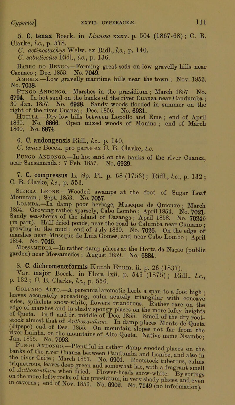 5. C. tenax Boeck. in Linncea xxxv. p. 504 (1867-68); 0. B. Clarke, l.c., p. 578. C. actinostacliys Welw. ex Ridl., l.c., p. 140. C. sabulicolus Ridl., l.c., p. 136. Barro do Bengo.—Forming great sods on low gravelly hills near Cacuaco ; Dec. 1853. No. 7049. Ambriz.—Low gravelly maritime hills near the town ; Nov. 1853. No. 7038. Pungo Andongo.—Marshes in the presidium; March 1857. No. 6794. In hot sand on the banks of the river Cuanza near Candumba ; 30 Jan. 1857. No. 6928. Sandy woods flooded in summer on the right of the river Cuanza ; Dec. 1856. No. 6931. Huilla.—Dry low hills between Lopollo and Erne ; end of April 1860. No. 6866. Open mixed woods of Monino : end of March 1860. No. 6874. 6. C. andongensis Ridl., l.c., p. 140. C. tenax Boeck. pro parte ex C. B. Clarke, l.c. Pungo Andongo.-—In hot sand on the banks of the river Cuanza, near Sansamanda ; 7 Feb. 1857. No. 6929. 7. C. compressus L. Sp. PI. p. 68 (1753); Ridl., l.c., p. 132; C. B. Clarke, l.c., p. 553. Sierra Leone.—Wooded swamps at the foot of Su»ar Loaf Mountain ; Sept. 1853. No. 7057. Loanda.—In damp poor herbage, Museque de Quicuxe ; March 1854. Growing rather sparsely, Cabo Lombo ; April 1854. No. 7021. Sandy sea-shores of the island of Cazanga; April 1858. No. 70245 (in part). Half dried ponds, near the road to Calumba near Cumano • growing in the mud ; end of July 1860. No. 7026. On the edge of marshes near Museque de Luiz Gomes, and near Cabo Lombo • April 18o4. No. 7045. ’ Mossamedes—In rather damp places at the Horta da Nacao (public garden) near Mossamedes ; August 1859. No. 6884. 8. C. dichromenaeformis Kunth Enum. ii. p. 26 (1837). Var. major Boeck. in Flora lxii. p. 549 (1875); Ridl. lc p. 132 ; C. B. Clarke, l.c., p. 556. ’ ’ Golungo Alto.—A perennial aromatic herb, a span to a foot high • leaves accurately spreading, culm acutely triangular with concave sides, spikelets snow-white, flowers triandrous. Rather rare on the edge of marshes and in shady spongy places on the more lofty heights of Queta. In fl. and fr. middle of Dec. 1855. Smell of the dry root- Anthoxanthum. In damp places Monte de Queta (Jipepe) end of Dec. 1855. On mountain slopes not far from the JAn.rlsS^Nm ^g3mountains of Alto Queta- Native name Nsambe; lnnk«NTnf0ftNIJ0NGn“Plen1tiful in rather damP wooded places on the banks of the river Cuanza between Candumba and Lombe, and also in the river Cuije ; March 1857. No. 6901. Rootstock tuberous, culms triquetrous, leaves deep green and somewhat lax, with a fragrant smell of Anthoxanthum when dried. Flower-heads snow-white. By springs on the more lofty rocks of the presidium, in very shady places and even m caverns, end of Nov. 1856. No. 6902. No. 7149 (LinfoSon)