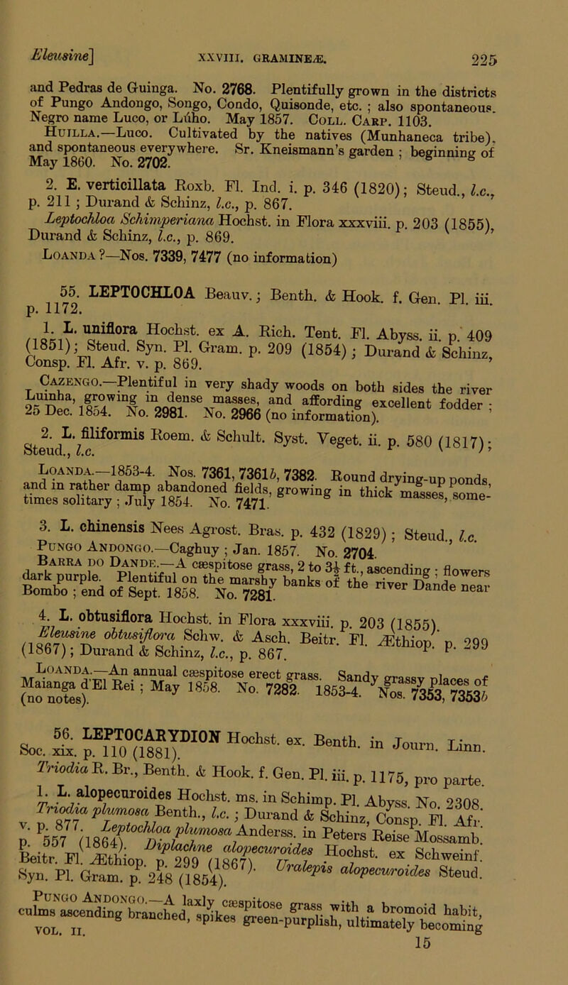 and Pedras de Guinga. No. 2768. Plentifully grown in the districts of Pungo Andongo, Songo, Condo, Quisonde, etc. ; also spontaneous Negro name Luco, or Luho. May 1857. Coll. Carp. 1103. Hujlla. Luco. Cultivated by the natives (Munhaneca tribe) and spontaneous everywhere. Sr. Kneismann’s garden • beginning 0f May 1860. No. 2702. 66 2. E. verticillata Roxb. FI. Ind. i. p. 346 (1820); Steud., lx., p. 211 ; Durand & Scliinz, l.c,, p. 867. Leptochloa Schimperiana Hochst. in Flora xxxviii. p. 203 11855) Durand & Schinz, lx., p. 869. V ' Loanda?—Nos. 7339, 7477 (no information) 55. LEPTOCHLOA Beauv.; Benth. & Hook. f. Gen PI iii p. 1172. 1. L. uniflora Hochst. ex A. Rich. Tent. FI. Abyss ii n 409 (1851); Steud. Syn. PI. Gram. p. 209 (1854); Durand & Schinz, Consp. FI. Afr. v. p. 869. Cazengo.—Plentiful in very shady woods on both sides the river Lumha, growing m dense masses, and affording excellent fodder - “° Dec. 1854. No. 2981. No. 2966 (no information). ’ Steud^'z^^°rm^S ^°em' Syst. Veget. ii. p. 580 (1817); Loanda. 1853-4. Nos. 7361, 73615, 7382. Round drying-up ponds and in rathei damp abandoned fields, growing in thick masses some' times solitary ; July 1854. No. 7471 masses, some- 3. L. Chinensis Nees Agrost. Bras. p. 432 (1829); Steud. lx. Pungo Andongo.—Caghuy ; Jan. 1857. No. 2704 Barra do Dandk.—A csespitose grass, 2 to 34 ft., ascending • flowers dark purple. Plentiful on the marshy banks of the river D^nde non Bombo ; end of Sept. 1858. No. 7281 d °ear 4. L. obtusiflora Hochst. in Flora xxxviii p 203 (1855) Beitr- k 399 See. S. ™“TDI0N H0ChSt' « *“• * Ii-- T,-iodia E. Br„ Benth. i Hook. f. Gen. PI. iii. p. 1 i 75> pi.0 parte 1. L. alopecnroides Hochst. ms. in Schimp. P] Abvss No osnft > Benth., l.c.; Durand & Sohin't, cLp pilfr p' *567(iml)tod***: in Peters EeiseMossamE Ltrrt ithiop (i ■Ho?“t e* Schweinf- %n. PI. Gram. p 248 (1854) ' Di^pu alvp*™roules Steud. 15