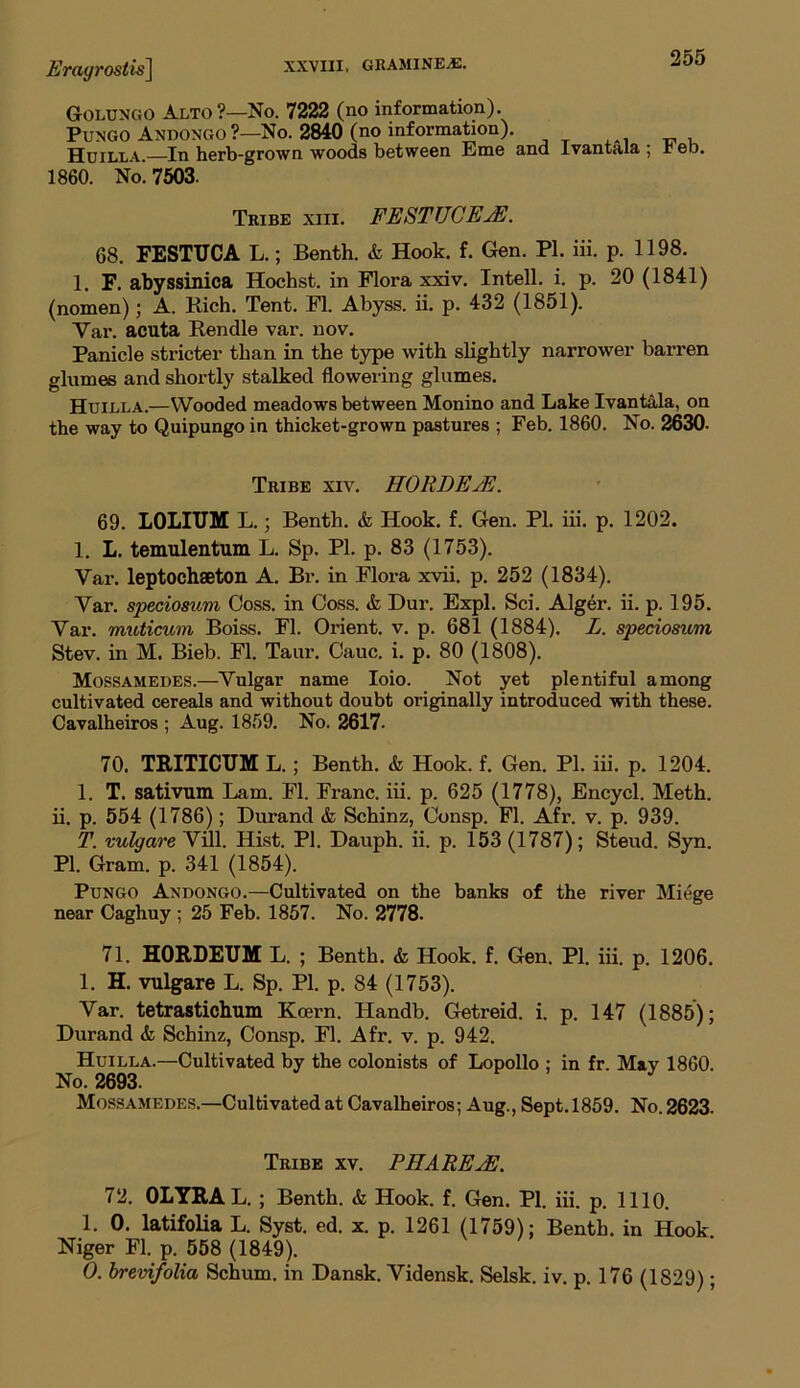 GolungO Alto?—No. 7222 (no information). Pungo Andongo ?—No. 2840 (no information). Huilla.—In herb-grown woods between Eme and Ivantala; reb, 1860. No. 7503. Tribe xiii. FESTUCEyE. 68. FESTTJCA L.; Benth. & Hook. f. Gen. PI. iii. p. 1198. 1. F. abyssinica Hochst. in Flora xxiv. Intell. i. p. 20 (1841) (nomen); A. Rich. Tent. FI. Abyss, ii. p. 432 (1851). Var. acuta Rendle var. nov. Panicle stricter than in the type with slightly narrower barren glumes and shortly stalked flowering glumes. Huilla.—Wooded meadows between Monino and Lake Ivantala, on the way to Quipungoin thicket-grown pastures ; Feb. 1860. No. 2630- Tribe xiv. HORDE/E. 69. LOLITJM L.; Benth. & Hook. f. Gen. PL iii. p. 1202. 1. L. temulentum L. Sp. PI. p. 83 (1753). Var. leptochseton A. Br. in Flora xvii. p. 252 (1834). Var. speciosum Goss, in Coss. A Dur. Expl. Sci. Alger, ii. p. 195. Var. muticurn Boiss. FI. Orient, v. p. 681 (1884). L. speciosum Stev. in M. Bieb. FI. Taur. Cauc. i. p. 80 (1808). Mossamedes.—Vulgar name Ioio. Not yet plentiful among cultivated cereals and without doubt originally introduced with these. Cavalheiros ; Aug. 1859. No. 2617- 70. TRITICUM L.; Benth. & Hook. f. Gen. PI. iii. p. 1204. 1. T. sativum Lam. FI. Franc, iii. p. 625 (1778), Encycl. Meth. ii. p. 554 (1786); Durand & Schinz, Consp. FI. Afr. v. p. 939. T. vulgare Vill. Hist. PI. Dauph. ii. p. 153 (1787); Steud. Syn. PI. Gram. p. 341 (1854). Pungo Andongo.—Cultivated on the banks of the river Miege near Caghuy ; 25 Feb. 1857. No. 2778. 71. HORDEUM L. ; Benth. & Hook. f. Gen. PI. iii. p. 1206. 1. H. vulgare L. Sp. PL p. 84 (1753). Var. tetrastichum Koern. Handb. Getreid. i. p. 147 (1885); Durand & Schinz, Consp. FI. Afr. v. p. 942. Huilla.—Cultivated by the colonists of Lopollo ; in fr. May 1860. No. 2693. Mossamedes.—Cultivated at Cavalheiros; Aug., Sept.1859. No. 2623. Tribe xv. PH ARE HI. 72. OLYRAL. ; Benth. & Hook. f. Gen. PI. iii. p. 1110. 1. 0. latifolia L. Syst. ed. x. p. 1261 (1759); Benth. in Hook. Niger FI. p. 558 (1849). O. brevifolia Schum. in Dansk. Vidensk. Selsk. iv. p. 176 (1829);