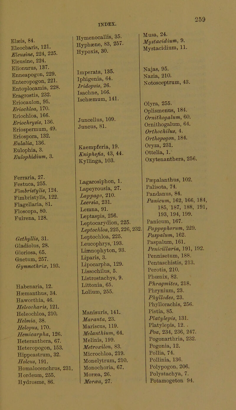 INDEX. Elaeis, 84. Eleocharis, 121. Eleusi/ne, 224, 225. Eleusine, 224. Elionurus, 137. Enneapogon, 229. Enteropogon, 221. Entoplocamia, 228. Eragrostis, 232. Eriocaulon, 95. Eriochloa, 170. Eriochloa, 166. Eriochrysis, 136. Eriospermum, 49. Eriospora, 132. Eulalia, 136. Eulophia, 3. Eulophidium, 3. Ferraria, 27. Festuca, 255. Fimbristylis, 124. Fimbristylis, 122. Flagellaria, 81. Floscopa, 80. Fuirena, 128. Gethyllis, 31. Gladiolus, 28. Gloriosa, 65. Gnetum, 257. Gymnothrix, 193. Habenaria, 12. Hsemanthus, 34. Haworthia, 46. Heleocliaris, 121. Heleochloa, 210. Helmia, 38. Helopus, 170. Hemicarplia, 126. Heterantbera, 67. Heteropogon, 153. Hippeastrum, 32. Holcus, 191. Homalocenchrus, 231. Hordeum, 255. Hydrosme, 86. Hymenocallis, 3o. Hypbsene, 83, 257. Hypoxis, 30. Imperata, 135. Iphigenia, 64. Iridopsis, 26. Isachne, 166. Ischaemum, 141. Juncellus, 109. Juncus, 81. Kaempferia, 19. Knipliofia, 43, 44. Kyllinga, 103. Lagarosiphon, 1. Lapeyrousia, 27. Lappago, 210. Leersia, 231. Lemna, 91. Leptaspis, 256. Leptocarydion, 225. Leptochloa, 225,226, 232. Leptoobloa, 225. Leucophrys, 193. Limnophyton, 93. Liparis, 3. Lipocarpha, 129. Lissochilus, 5. Listrostachys, 9. Littonia, 65. Lolium, 255. Manisuris, 141. Maranta, 23. Mariscus, 119. Melantliium, 64. Melinis, 199. Mctroxilon, 83. Microchloa, 219. Monelytrum, 210. Monochoria, 67. Moraea, 26. Morcea, 27. Musa, 24. Mystacidium, 9. Mystacidium, 11. Najas, 95. Nazia, 210. Notosceptrum, 43. Olyra, 255. Oplismenus, 184. Ornithogalum, 60. Ornithogalum, 64. Orthochilus, 4. Orthopogon, 184. Oryza, 231. Ottelia, 1. Oxyteuanthera, 256. Paepalanthus, 102. Palisota, 74. Pandanus, 84. Panicum, 162, 166, 184, 185, 187, 188, 191, 193, 194, 199. Panicum, 167. Pappophorum, 229. Paspalum, 162. Paspalum, 161. Penicillaria, 191, 192. Pennisetum, 188. Pentaschistis, 213. Perotis, 210. Phoenix, 82. Phragmites, 218. Phrynium, 23. Phyllodes, 23. Phyllorachis, 256. Pistia, 85. Platylepis, 131. Platylepis, 12. . Poa, 234, 236, 247. Pogonarthria, 232. Pogonia, 12. Pollia, 74. Pollinia, 136. Polypogon, 206. Polystachya, 7. Potamogeton 94.