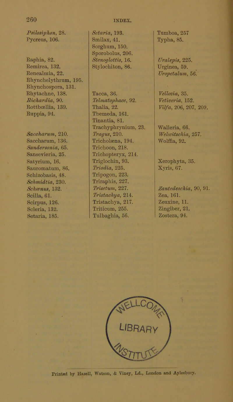 Psilosiphon, 28. Pycreus, 106. Eaphia, 82. Remirea, 132. Renealmia, 22. Rhyncbelythrum, 195. Rhyncliospora, 131. Rhytachne, 138. Bichardia, 90. Rottboellia, 139. Ruppia, 94. Saceharum, 210. Saccharum, 136. Sandersonia, 65. Sansevieria, 25. Satyrium, 16. Sauromatum, 86. Schizobasis, 48. Sclimidtia, 230. Sclicenus, 132. Scilla, 61. Scirpus, 126. Scleria, 132. Setaria, 185. Setaria, 193. Smilax, 41. Sorghum, 150. Sporobolus, 206. Stenoglottis, 16. Stylochiton, 86. Tacca, 36. Telmatophaee, 92. Thalia, 22. Themeda, 161. Tinantia, 81. Trachyphrynium, 23. Tragus, 210. Tricholaena, 194. Trichoon, 218. Trichopteryx, 214. Triglochin, 93. Triodia, 225. Tripogon, 223. Triraphis, 227. Trisetum, 227. Tristachya, 214. Tristachya, 217. Triticum, 255. Tulbaghia, 56. Tumboa, 257 Typha, 85. Uralepis, 225. Urginea, 59. Uropetalwn, 56. Vellozia, 35. Vetiveria, 152. Vilfa, 206, 207, 209. Walleria, 66. Welwitschia, 257. Wolffia, 92. Xerophyta, 35. Xyris, 67. Zantedeschia, 90, 91. Zea, 161. Zeuxine, 11. Zingiber, 21. Zostera, 94. Printed by Ilazell, Watson, & Viney, Ld., London and Aylesbury.