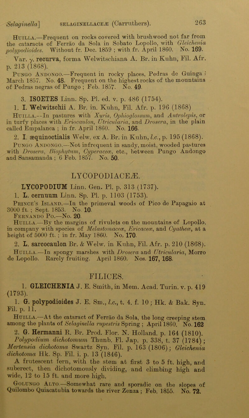 Huilla.—Frequent on rocks covered with brushwood not far from the cataracts of Ferrao da Sola in Sobato Lopollo, with Gleichenia polypodioides. Without fr. Dec. 1859 ; with fr. April 1860. No. 169. Var. y. recurva, forma Welwitschiana A. Br. in Kuhn, Fil. Air. p. 213 (1868). Pungo Andongo.—Frequent in rocky places, Pedras de Guinga ! March 1857. No. 48. Frequent on the highest rocks of the mountains of Pedras negras of Pungo ; Feb. 185V. No. 49 3. ISOETES Linn. Sp. PI. ed. v. p. 486 (1754). 1. I. Welwitschii A. Br. in. Kuhn, Fil. Afr. p. 196 (1868) Huilla.--In pastures with Xyris, Ophioglossum, and Antrolepis, or in turfy places with Eriocaulon, Utricularia, and I) reiser a, in the plain called Empalanca ; in fr. April 1860. No. 166- 2. I. sequinoctialis Welw. ex A. Br. in Kuhn, l.c., p. 195 (1868). Pungo Andongo.—Not infrequent in sandy, moist, wooded pastures with Drosera, Biophytnm, Cyperacece, etc., between Pungo Andongo and Sansamanda ; 6 Feb. 1857. No. 50. LYCOPODIACEiE. LYCOPODIUM Linn. Gen. PI. p. 313 (1737). 1. L. cernuum Linn. Sp. PI. p. 1103 (1753). Prince’s Island.—In the primeval woods of Pico de Papagaio at 3000 ft. ; Sept. 1853. No. 10 Fernando Po.—No. 20. Huilla.—-By the margins of rivulets on the mountains of Lopollo, in company with species of Melastomacece, Ericacece, and Cyathece, at a height of 5000 ft. ; in fr. May 1860. No, 170. 2. L. sarcocaulon Br. & Welw. in Kuhn, Fil. Afr. p. 210 (1868). Huilla.—In spongy marshes with Drosera and Utricularia, Morro de Lopollo. Rarely fruiting. April 1860. Nos. 167, 168. FILICES. 1. GLEICHENIA J. E. Smith, in Mem. Acad. Turin, v. p. 419 (1793). 1. G. polypodioides J. E. Sm., l.c., t. 4. f. 10; Hk. & Bak. Syn. Fil. p. 11. Huilla.—At the cataract of Ferrao da Sola, the long creeping stem among the plants of Selaginella rupestris Spring ; April 1860. No. 162 2. G. Hermanni R. Br. Prod. Flor. N. Holland, p. 164 (1810). Polypodium dichotomum Thunb. FI. Jap. p. 338, t. 37 (1784); Mertensia dichotoma Swartz Syn. Fil. p. 163 (1806); Gleichenia dichotoma Hk. Sp. Fil. i. p. 13 (1846). A frutescent fern, with the stem at first 3 to 5 ft. high, and suberect, then dichotomously dividing, and climbing high and wide, 12 to 15 ft. and more high. Golungo Alto—Somewhat rare and sporadic on the slopes of Quilombo Quiacatubia towards the river Zenza ; Feb. 1855. No. 72.